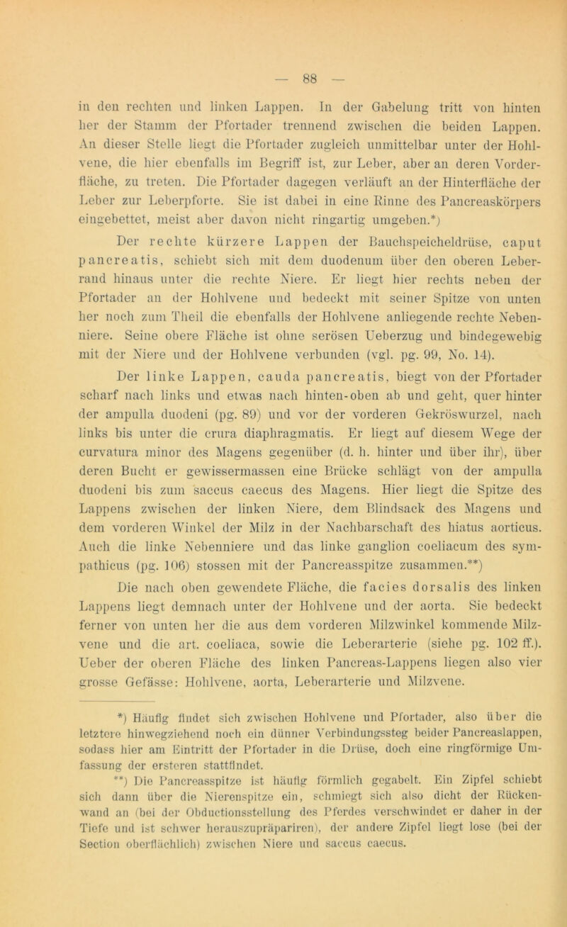 in den rechten und linken Lappen. In der Gabelung tritt von hinten her der Stamm der Pfortader trennend zwischen die beiden Lappen. An dieser Stelle liegt die Pfortader zugleich unmittelbar unter der Hohl- vene, die hier ebenfalls im Begriff ist, zur Leber, aber an deren Vorder- fläche, zu treten. Die Pfortader dagegen verläuft an der Hinterfläche der Leber zur Leberpforte. Sie ist dabei in eine Rinne des Pancreaskörpers eingebettet, meist aber davon nicht ringartig umgeben.*) Der rechte kürzere Lappen der Bauchspeicheldrüse, caput pancreatis, schiebt sich mit dem duodenum über den oberen Leber- rand hinaus unter die rechte Niere. Er liegt hier rechts neben der Pfortader an der Hohlvene und bedeckt mit seiner Spitze von unten her noch zum Theil die ebenfalls der Hohlvene anliegende rechte Neben- niere. Seine obere Fläche ist ohne serösen Ueberzug und bindegewebig mit der Niere und der Hohlvene verbunden (vgl. pg. 99, No. 14). Der linke Lappen, cauda pancreatis, biegt von der Pfortader scharf nach links und etwas nach hinten-oben ab und geht, quer hinter der ampulla duodeni (pg. 89) und vor der vorderen Gekröswurzel, nach links bis unter die crura diaphragmatis. Er liegt auf diesem Wege der curvatura minor des Magens gegenüber (d. h. hinter und über ihr), über deren Bucht er gewissermassen eine Brücke schlägt von der ampulla duodeni bis zum saccus caecus des Magens. Hier liegt die Spitze des Lappens zwischen der linken Niere, dem Blindsack des Magens und dem vorderen Winkel der Milz in der Nachbarschaft des hiatus aortieus. Auch die linke Nebenniere und das linke ganglion coeliacum des sym- pathicus (pg. 106) stossen mit der Pancreasspitze zusammen.**) Die nach oben gewendete Fläche, die facies dorsalis des linken Lappens liegt demnach unter der Hohlvene und der aorta. Sie bedeckt ferner von unten her die aus dem vorderen Milzwinkel kommende Milz- vene und die art. coeliaca, sowie die Leberarterie (siehe pg. 102 ff.). Ueber der oberen Fläche des linken Pancreas-Lappens liegen also vier grosse Gefässe: Hohlvene, aorta, Leberarterie und Milzvene. *) Häufig findet sich zwischen Hohlvene und Pfortader, also über die letztere hinwegziehend noch ein dünner Verbindungssteg beider Pancreaslappen, sodass hier am Eintritt der Pfortader in die Drüse, doch eine ringförmige Um- fassung der erstoren stattfindet. **) Die Pancreasspitze ist häufig förmlich gegabelt. Ein Zipfel schiebt sich dann über die Nierenspitze ein, schmiegt sich also dicht der Rücken- wand an (bei der Obductionsstellung des Pferdes verschwindet er daher in der Tiefe und ist schwer herauszupräpariren), der andere Zipfel liegt lose (bei der Section oberflächlich) zwischen Niere und saccus caecus.