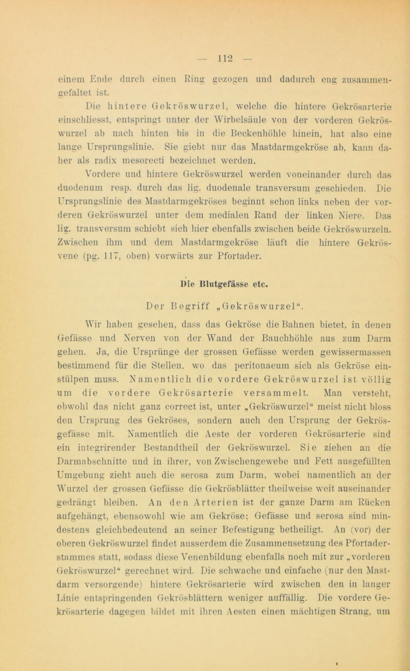 einem Ende durch einen Ring gezogen und dadurch eng zusammen- gefaltet ist. Die hintere Gekröswurzel, welche die hintere Gekrösarterie einschliesst, entspringt unter der Wirbelsäule von der vorderen Gekrös- wurzel ab nach hinten bis in die Beckenhöhle hinein, hat also eine lange Ursprungslinie. Sie giebt nur das Mastdarmgekröse ab, kann da- her als radix mesorecti bezeichnet werden. Vordere und hintere Gekröswurzel werden voneinander durch das duodenum resp. durch das lig. duodenale transversum geschieden. Die Ursprungslinie des Mastdarmgekröses beginnt schon links neben der vor- deren Gekröswurzel unter dem medialen Rand der linken Niere. Das lig. transversum schiebt sich hier ebenfalls zwischen beide Gekröswurzeln. Zwischen ihm und dem Mastdarmgekröse läuft die hintere Gekrös- vene (pg. 117, oben) vorwärts zur Pfortader. Die Blutgefässe etc. Der Begriff „Gekröswurzel“. Wir haben gesehen, dass das Gekröse die Bahnen bietet, in denen Gefässe und Nerven von der Wand der Bauchhöhle aus zum Darm gehen. Ja, die Ursprünge der grossen Gefässe werden gewissermassen bestimmend für die Stellen, wo das peritonaeum sich als Gekröse ein- stülpen muss. Namentlich die vordere Gekröswurzel ist völlig um die vordere Gekrösarterie versammelt. Man versteht, obwohl das nicht ganz correct ist, unter „Gekröswurzel“ meist nicht bloss den Ursprung des Gekröses, sondern auch den Ursprung der Gekrös- gefässe mit. Namentlich die Aeste der vorderen Gekrösarterie sind ein integrirender Bestandtheil der Gekröswurzel. Sie ziehen an die Darmabschuitte und in ihrer, von Zwischengewebe und Fett ausgefüllten Umgebung zieht auch die serosa zum Darm, wobei namentlich an der Wurzel der grossen Gefässe die Gekrösblätter theilweise weit auseinander gedrängt bleiben. An den Arterien ist der ganze Darm am Rücken aufgehängt, ebensowohl wie am Gekröse; Gefässe und serosa sind min- destens gleichbedeutend an seiner Befestigung betheiligt. An (vor) der oberen Gekröswurzel findet ausserdem die Zusammensetzung des Pfortader- stammes statt, sodass diese Venenbildung ebenfalls noch mit zur „vorderen Gekröswurzel“ gerechnet wird. Die schwache und einfache (nur den Mast- darm versorgende) hintere Gekrösarterie wird zwischen den in langer Linie entspringenden Gekrösblättern weniger auffällig. Die vordere Ge- krösarterie dagegen bildet mit ihren Aesten einen mächtigen Strang, um
