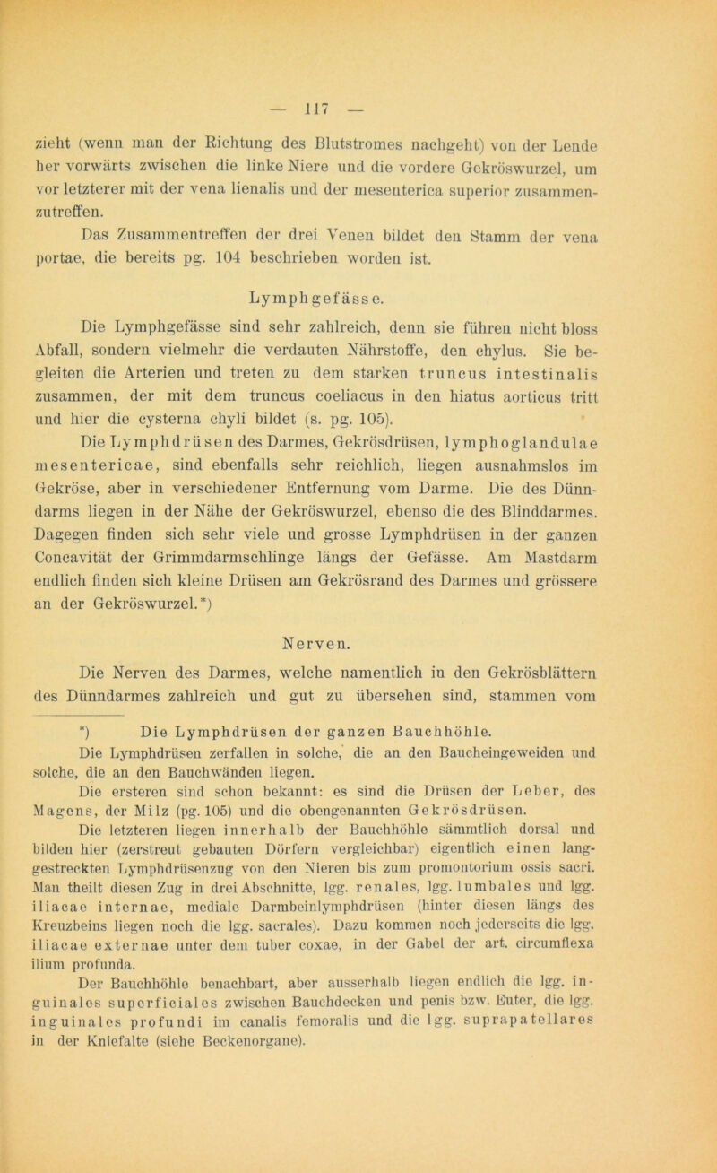 zieht (wenn man der Richtung des Blutstromes nachgeht) von der Lende her vorwärts zwischen die linke Niere und die vordere Gekröswurzel, um vor letzterer mit der vena lienalis und der mesenterica superior zusammen- zutreffen. Das Zusammentreffen der drei Venen bildet den Stamm der vena portae, die bereits pg. 104 beschrieben worden ist. Lymphgefässe. Die Lymphgefässe sind sehr zahlreich, denn sie führen nicht bloss Abfall, sondern vielmehr die verdauten Nährstoffe, den chylus. Sie be- gleiten die Arterien und treten zu dem starken truncus intestinalis zusammen, der mit dem truncus coeliacus in den hiatus aorticus tritt und hier die cysterna chyli bildet (s. pg. 105). Die Lymphdrüsen des Darmes, Gekrösdrüsen, lymphoglandulae mesentericae, sind ebenfalls sehr reichlich, liegen ausnahmslos im Gekröse, aber in verschiedener Entfernung vom Darme. Die des Dünn- darms liegen in der Nähe der Gekröswurzel, ebenso die des Blinddarmes. Dagegen finden sich sehr viele und grosse Lymphdrüsen in der ganzen Concavität der Grimmdarmschlinge längs der Gefässe. Am Mastdarm endlich finden sich kleine Drüsen am Gekrösrand des Darmes und grössere an der Gekröswurzel.*) Nerven. Die Nerven des Darmes, welche namentlich in den Gekrösblättern des Dünndarmes zahlreich und gut zu übersehen sind, stammen vom *) Die Lymphdrüsen der ganzen Bauchhöhle. Die Lymphdrüsen zerfallen in solche, die an den Baucheingeweiden und solche, die an den Bauchwänden liegen. Die ersteron sind schon bekannt: es sind die Drüsen der Leber, des Magens, der Milz (pg. 105) und die obengenannten Gekrösdrüsen. Die letzteren liegen innerhalb der Bauchhöhle sämmtlich dorsal und bilden hier (zerstreut gebauten Dörfern vergleichbar) eigentlich einen lang- gestreckten Lymphdrüsenzug von den Nieren bis zum promontorium ossis sacri. Man theilt diesen Zug in drei Abschnitte, lgg. renales, Igg. lumbales und lgg. iliacae internae, mediale Darmbeinlymphdrüsen (hinter diesen längs des Kreuzbeins liegen noch die lgg. sacralos). Dazu kommen noch jedersoits die Igg. iliacae externae unter dem tuber coxae, in der Gabel der art. circumflexa ilium profunda. Der Bauchhöhle benachbart, aber ausserhalb liegen endlich die lgg. in- guinales superficiales zwischen Bauchdecken und penis bzw. Euter, die lgg. inguinales profundi im canalis femoralis und die lgg. suprapatellares in der Kniefalte (siehe Beckenorgane).