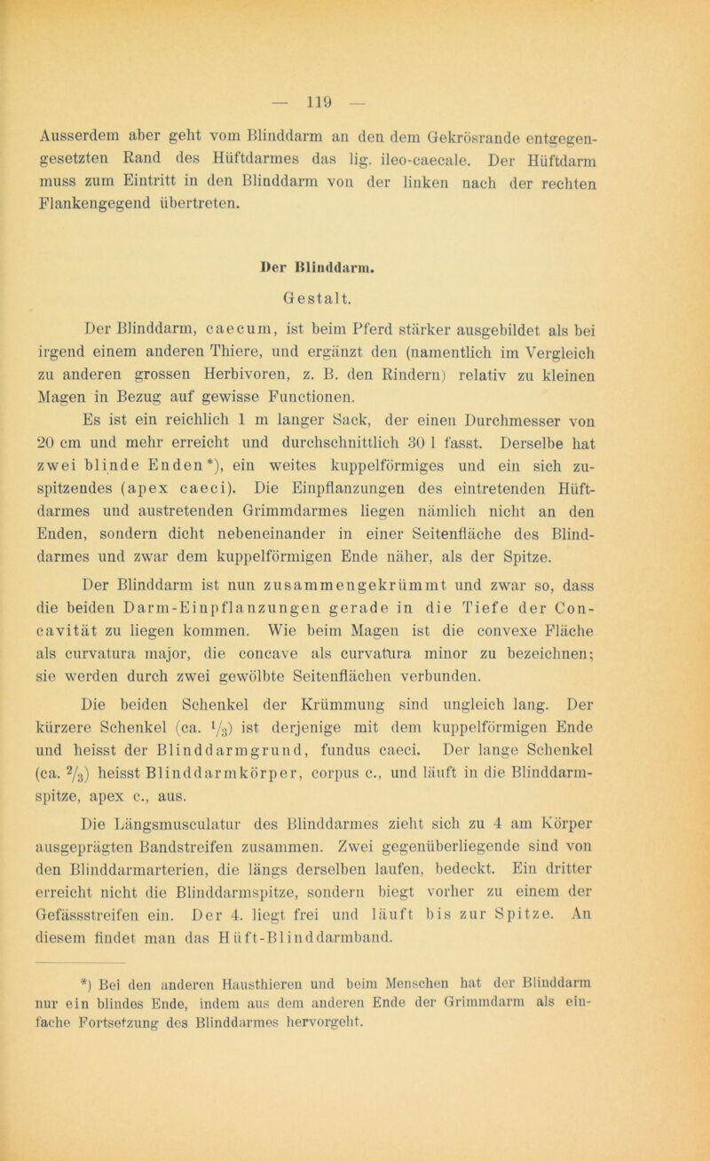 Ausserdem aber geht vom Blinddarm an den dem Gekrösrande entgegen- gesetzten Rand des Hüftdarmes das lig. ileo-caecale. Der Hüftdarm muss zum Eintritt in den Blinddarm von der linken nach der rechten Flankengegend übertreten. Der Blinddarm. Gestalt. Der Blinddarm, caecum, ist beim Pferd stärker ausgebildet als bei irgend einem anderen Thiere, und ergänzt den (namentlich im Vergleich zu anderen grossen Herbivoren, z. B. den Rindern) relativ zu kleinen Magen in Bezug auf gewisse Functionen. Es ist ein reichlich 1 m langer Sack, der einen Durchmesser von 20 cm und mehr erreicht und durchschnittlich 30 1 fasst. Derselbe hat zwei blinde Enden*), ein weites kuppelförmiges und ein sich zu- spitzendes (apex caeci). Die Einpflanzungen des eintretenden Hüft- darmes und austretenden Grimmdarmes liegen nämlich nicht an den Enden, sondern dicht nebeneinander in einer Seitenfläche des Blind- darmes und zwar dem kuppelförmigen Ende näher, als der Spitze. Der Blinddarm ist nun zusammengekrümmt und zwar so, dass die beiden Darm-Einpflanzungen gerade in die Tiefe der Con- cavität zu liegen kommen. Wie beim Magen ist die convexe Fläche als curvatura major, die concave als curvatura minor zu bezeichnen; sie werden durch zwei gewölbte Seitenflächen verbunden. Die beiden Schenkel der Krümmung sind ungleich lang. Der kürzere Schenkel (ca. l/s) ist derjenige mit dem kuppelförmigen Ende und heisst der Blind d arm grün d, fundus caeci. Der lange Schenkel (ca. 2/3) heisst Blinddarmkörper, corpus c., und läuft in die Blinddarm- spitze, apex c., aus. Die Längsmusculatur des Blinddarmes zieht sich zu 4 am Körper ausgeprägten Bandstreifen zusammen. Zwei gegenüberliegende sind von den Blinddarmarterien, die längs derselben laufen, bedeckt. Ein dritter erreicht nicht die Blinddarmspitze, sondern biegt vorher zu einem der Gefässstreifen ein. Der 4. liegt frei und läuft bis zur Spitze. An diesem findet man das H ü ft-Bl i nd darmband. *) Bei den anderen Hausthieren und beim Menschen hat der Blinddarm nur ein blindes Ende, indem aus dem anderen Ende der Grimmdarm als ein- fache Fortsetzung des Blinddarmes hervorgeht.