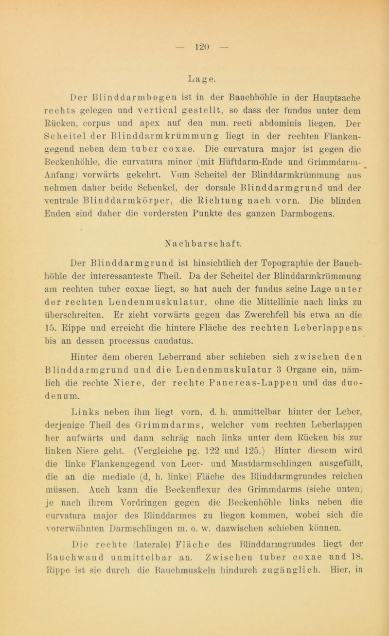 Lage. Der Blinddarm bog eu ist in der Bauchhöhle in der Hauptsache rechts gelegen und vertical gestellt, so dass der Hindus unter dem Rücken, corpus und apex auf den mm. recti abdominis liegen. Der Scheitel der Blinddarmkrümmung liegt in der rechten Flanken- gegend neben dem tuber coxae. Die curvatura major ist gegen die Beckenhöhle, die curvatura minor (mit Hüftdarm-Ende und Grimmdarm- Anfang) vorwärts gekehrt. Vom Scheitel der Blinddarmkrümmung aus nehmen daher beide Schenkel, der dorsale Blinddarmgrund und der ventrale Blinddarmkörper, die Richtung nach vorn. Die blinden Enden sind daher die vordersten Punkte des ganzen Darmbogens. Nachbarschaft. Der Blinddarmgrund ist hinsichtlich der Topographie der Bauch- höhle der interessanteste Theil. Da der Scheitel der Blinddarmkrümmung am rechten tuber coxae liegt, so hat auch der Hindus seine Lage unter der rechten Lendenmuskulatur, ohne die Mittellinie nach links zu überschreiten. Er zieht vorwärts gegen das Zwerchfell bis etwa an die 15. Rippe und erreicht die hintere Fläche des rechten Leberlappens bis an dessen processus caudatus. Hinter dem oberen Leberrand aber schieben sich zwischen den Blinddarmgrund und die Lendenmuskulatur 3 Organe ein, näm- lich die rechte Niere, der rechte Pancreas-Lappen und das duo- denum. Links neben ihm liegt vorn, d. h. unmittelbar hinter der Leber, derjenige Theil des Grimmdarms, welcher vom rechten Leberlappen her aufwärts und dann schräg nach links unter dem Rücken bis zur linken Niere geht. (Vergleiche pg. 122 und 125.) Hinter diesem wird die linke Flankengegend von Leer- und Mastdarmschlingen ausgefüllt, die an die mediale (d, h. linke) Fläche des Blinddarmgrundes reichen müssen. Auch kann die Beckenflexur des Grimmdarms (siehe unten) je nach ihrem Vordringen gegen die Beckenhöhle links neben die curvatura major des Blinddarmes zu liegen kommen, wobei sich die vorerwähnten Darmschlingen m. o. w. dazwischen schieben können. Die rechte (laterale) Fläche des Blinddarmgrundes liegt der Bauchwand unmittelbar an. Zwischen tuber coxae und 18. Rippe ist sie durch die Bauchmuskeln hindurch zugänglich. Hier, in