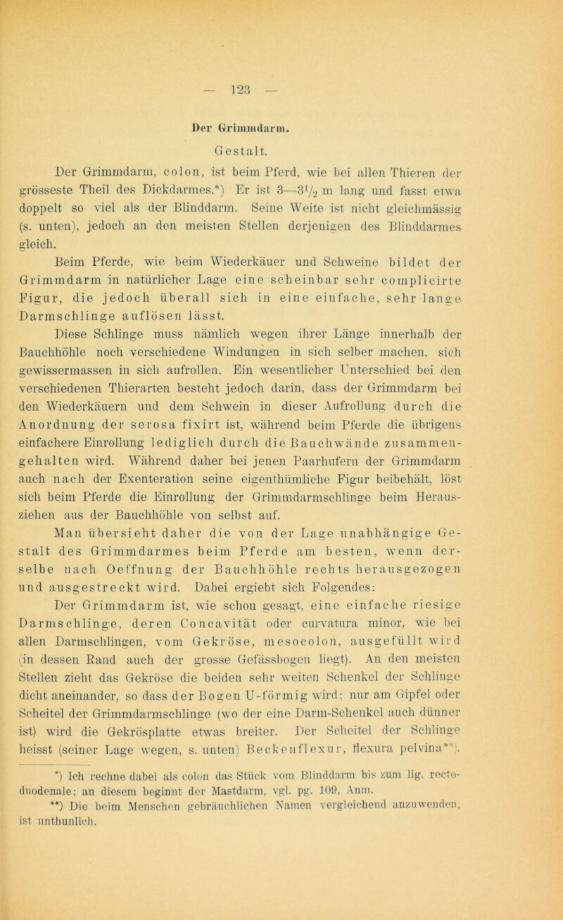 Der Grimmdarin. Gestalt. Der Grimmdarm, colon, ist beim Pferd, wie bei allen Thieren der grösseste Tlieil des Dickdarmes.* **)) Er ist 3—31/2 m lang und fasst etwa doppelt so viel als der Blinddarm. Seine Weite ist nicht gleiclimässig (s. unten), jedoch an den meisten Stellen derjenigen des Blinddarmes gleich. Beim Pferde, wie beim Wiederkäuer und Schweine bildet der Grimmdarin in natürlicher Lage eine scheinbar sehr complieirte Figur, die jedoch überall sich in eine einfache, sehr lange Darmschlinge auflösen lässt. Diese Schlinge muss nämlich wegen ihrer Länge innerhalb der Bauchhöhle noch verschiedene Windungen in sich selber machen, sich gewissermassen in sich aufrollen. Ein wesentlicher Unterschied bei den verschiedenen Thierarten besteht jedoch darin, dass der Grimmdarm bei den Wiederkäuern und dem Schwein in dieser Aufrollung durch die Anordnung der serosa fixirt ist, während beim Pferde die übrigens einfachere Einrollung lediglich durch die Bauch wände zusammen- gehalten wird. Während daher bei jenen Paarhufern der Grimmdarm auch nach der Exenteration seine eigenthümliche Figur beibehält, löst sich beim Pferde die Einrollung der Grimmdarmschlinge beim Heraus- ziehen aus der Bauchhöhle von selbst auf. Man übersieht daher die von der Lage unabhängige Ge- stalt des Grimmdarmes beim Pferde am besten, wenn der- selbe nach Oeffnung der Bauchhöhle rechts herausgezogen und ausgestreckt wird. Dabei ergiebt sich Folgendes: Der Grimmdarm ist, wie schon gesagt, eine einfache riesige Darm schlinge, deren Concavität oder curvatura minor, wie bei allen Darmschlingen, vom Gekröse, m eso colon, ausgefüllt wird (in dessen Rand auch der grosse Gefässbogen liegt). An den meisten Stellen zieht das Gekröse die beiden sehr weiten Schenkel der Schlinge dicht aneinander, so dass der Bogen U-förmig wird: nur am Gipfel oder Scheitel der Grimmdarmschlinge (wo der eine Darm-Schenkel auch dünner ist) wird die Gekrösplatte etwas breiter. Der Scheitel der Schlinge heisst (seiner Lage wegen, s. unten) Beckenflexur, flexura pelvina* . *) Ich rechne dabei als colon das Stück vom Blinddarm bis zum lig. recto- duodenale; an diesem beginnt der Mastdarm, vgl. pg. 109, Anm. **) Die beim Menschen gebräuchlichen Namen vergleichend anzuwenden, ist unthunlieh.