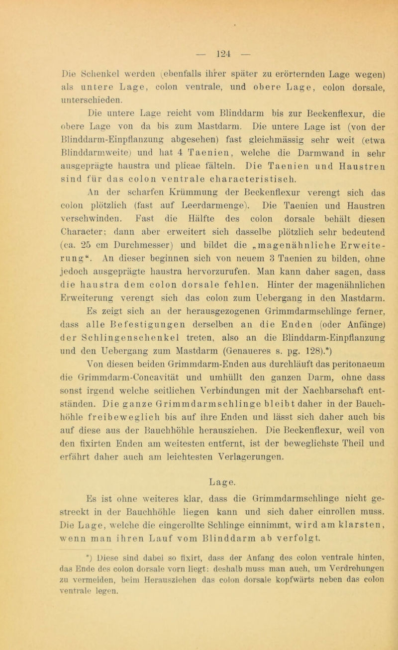 Die Schenkel werden ^ebenfalls ihrer später zu erörternden Lage wegen) als untere Lage, colon ventrale, und obere Lage, colon dorsale, unterschieden. Die untere Lage reicht vom Blinddarm bis zur Beckenfiexur, die obere Lage von da bis zum Mastdarm. Die untere Lage ist (von der Blinddarm-Einpflanzung abgesehen) fast gleichmässig sehr weit (etwa Blinddarmweite) und hat 4 Taenien, welche die Darmwand in sehr ausgeprägte haustra und plicae fälteln. Die Taenien und Haustren sind für das colon ventrale characteristisch. An der scharfen Krümmung der Beckenfiexur verengt sich das colon plötzlich (fast auf Leerdarmenge). Die Taenien und Haustren verschwinden. Fast die Hälfte des colon dorsale behält diesen Character; dann aber erweitert sich dasselbe plötzlich sehr bedeutend (ca. 25 cm Durchmesser) und bildet die „magenähnliche Erweite- rung“. An dieser beginnen sich von neuem 3 Taenien zu bilden, ohne jedoch ausgeprägte haustra hervorzurufen. Man kann daher sagen, dass die haustra dem colon dorsale fehlen. Hinter der magenähnlichen Erweiterung verengt sich das colon zum Uebergang in den Mastdarm. Es zeigt sich an der herausgezogenen Grimmdarmschlinge ferner, dass alle Befestigungen derselben an die Enden (oder Anfänge) der Schlingenschenkel treten, also an die Blinddarm-Einpflanzung und den Uebergang zum Mastdarm (Genaueres s. pg. 128).*) Von diesen beiden Grimmdarm-Enden aus durchläuft das peritonaeum die Grimmdarm-Concavität und umhüllt den ganzen Darm, ohne dass sonst irgend welche seitlichen Verbindungen mit der Nachbarschaft ent- ständen. Die ganze Grimmdarmschlinge bleibt daher in der Bauch- höhle freibeweglich bis auf ihre Enden und lässt sich daher auch bis auf diese aus der Bauchhöhle herausziehen. Die Beckenfiexur, weil von den flxirten Enden am weitesten entfernt, ist der beweglichste Theil und erführt daher auch am leichtesten Verlagerungen. Lage. Es ist ohne weiteres klar, dass die Grimmdarmschlinge nicht ge- streckt in der Bauchhöhle liegen kann und sich daher einrollen muss. Die Lage, welche die eingerollte Schlinge einnimmt, wird am klarsten, wenn man ihren Lauf vom Blinddarm ab verfolgt. *) Diese sind dabei so fixirt, dass der Anfang des colon ventrale hinten, das Ende des colon dorsale vorn liegt: deshalb muss man auch, um Verdrehungen zu vermeiden, beim Herausziehen das colon dorsale kopfwärts neben das colon ventrale legen.