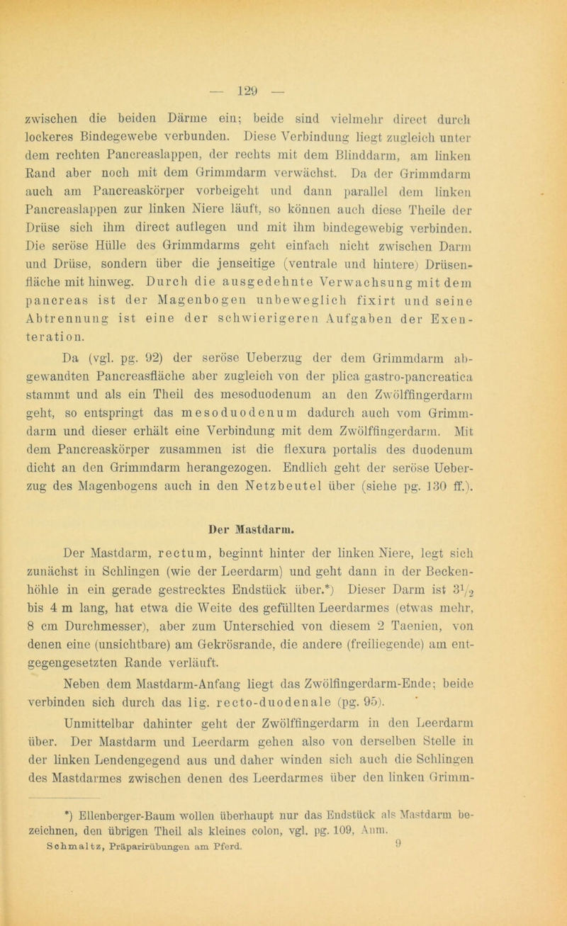 zwischen die beiden Därme ein; beide sind vielmehr direct durch lockeres Bindegewebe verbunden. Diese Verbindung liegt zugleich unter dem rechten Pancreaslappen, der rechts mit dem Blinddarm, am linken Rand aber noch mit dem Grimmdarm verwächst. Da der Grimmdarm auch am Paucreaskörper vorbeigeht und dann parallel dem linken Pancreaslappen zur linken Niere läuft, so können auch diese Tlieile der Drüse sich ihm direct autlegen und mit ihm bindegewebig verbinden. Die seröse Hülle des Grimmdarms geht einfach nicht zwischen Darm und Drüse, sondern über die jenseitige (ventrale und hintere) Drüsen- fläche mit hinweg. Durch die ausgedehnte Verwachsung mit dem pancreas ist der Magenbogen unbeweglich fixirt und seine Abtrennung ist eine der schwierigeren Aufgaben der Exeu- ter ation. Da (vgl. pg. 92) der seröse Ueberzug der dem Grimmdarm ab- gewandten Pancreasfläche aber zugleich von der plica gastro-pancreatica stammt und als ein Theil des mesoduodenum an den Zwölffingerdarm geht, so entspringt das mesoduodenum dadurch auch vom Grimm- darm und dieser erhält eine Verbindung mit dem Zwölffingerdarm. Mit dem Pancreaskörper zusammen ist die flexura portalis des duodenum dicht an den Grimmdarm herangezogen. Endlich geht der seröse Ueber- zug des Magenbogens auch in den Netzbeutel über (siehe pg. 130 ff.). Der Mastdarm. Der Mastdarm, rectum, beginnt hinter der linken Niere, legt sich zunächst in Schlingen (wie der Leerdarm) und geht dann in der Becken- höhle in ein gerade gestrecktes Endstück über.*) Dieser Darm ist Zlj2 bis 4 m lang, hat etwa die Weite des gefüllten Leerdarmes (etwas mehr, 8 cm Durchmesser), aber zum Unterschied von diesem 2 Taenien, von denen eine (unsichtbare) am Gekrösrande, die andere (freiliegende) am ent- gegengesetzten Rande verläuft. Neben dem Mastdarm-Anfang liegt das Zwölfingerdarin-Ende; beide verbinden sich durch das lig. recto-duodenale (pg. 95). Unmittelbar dahinter geht der Zwölffingerdarm in den Leerdarm über. Der Mastdarm und Leerdarm gehen also von derselben Stelle in der linken Lendengegend aus und daher winden sich auch die Schlingen des Mastdarmes zwischen denen des Leerdarmes über den linken Grimm- *) Ellenberger-Baum wollen überhaupt nur das Endstück als Mastdarm be- zeichnen, den übrigen Theil als kleines colon, vgl. pg. 109, Anm. Schmaltz, Priiparirubungen am Pferd. 9