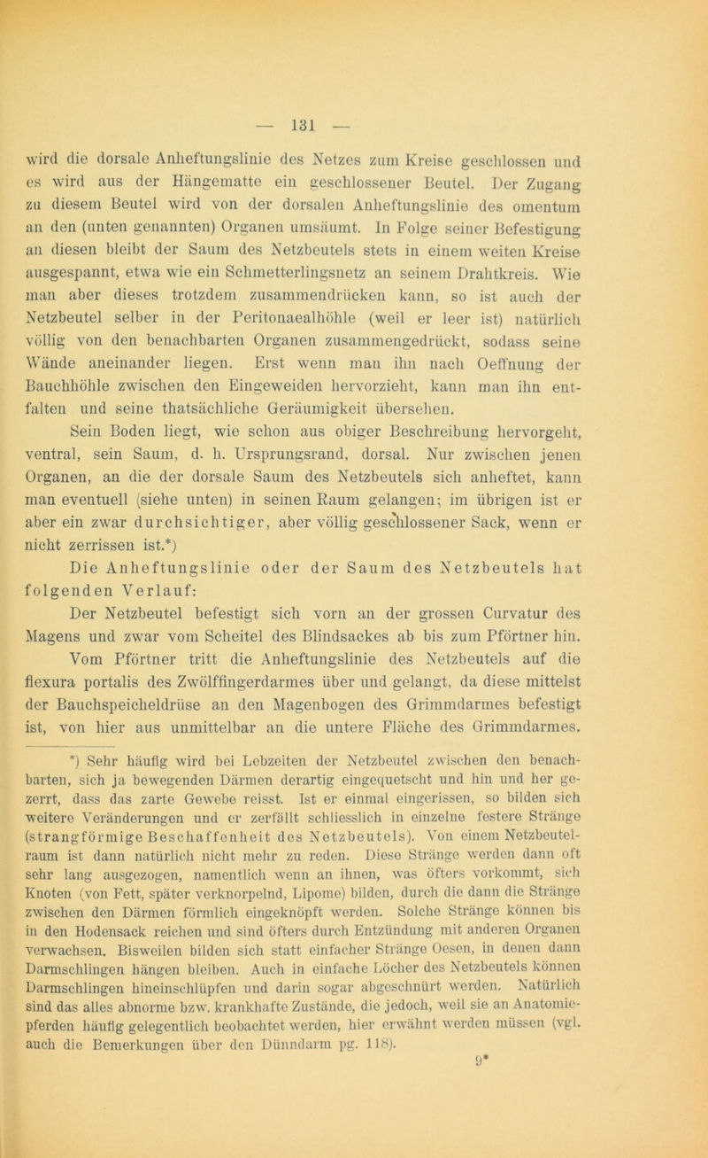 wird die dorsale Anheftungslinie des Netzes zum Kreise geschlossen und es wird aus der Hängematte ein geschlossener Beutel. Der Zugang zu diesem Beutel wird von der dorsalen Anheftungslinie des omentum an den (unten genannten) Organen umsäumt. In Folge seiner Befestigung an diesen bleibt der Saum des Netzbeutels stets in einem weiten Kreise ausgespannt, etwa wie eiii Schmetterlingsnetz an seinem Drahtkreis. Wie man aber dieses trotzdem zusammendrücken kann, so ist auch der Netzbeutel selber in der Peritonaealhöhle (weil er leer ist) natürlich völlig von den benachbarten Organen zusammengedrückt, sodass seine Wände aneinander liegen. Erst wenn man ihn nach Oeffnung der Bauchhöhle zwischen den Eingeweiden hervorzieht, kann man ihn ent- falten und seine thatsächliche Geräumigkeit übersehen. Sein Boden liegt, wie schon aus obiger Beschreibung hervorgeht, ventral, sein Saum, d. h. Ursprungsrand, dorsal. Nur zwischen jenen Organen, an die der dorsale Saum des Netzbeutels sich anheftet, kann man eventuell (siehe unten) in seinen Raum gelangen; im übrigen ist er aber ein zwar durchsichtiger, aber völlig geschlossener Sack, wenn er nicht zerrissen ist.*) Die Anheftungslinie oder der Saum des Netzbeutels hat folgenden Verlauf: Der Netzbeutel befestigt sich vorn an der grossen Curvatur des Magens und zwar vom Scheitel des Blindsackes ab bis zum Pförtner hin. Vom Pförtner tritt die Anheftungslinie des Netzbeutels auf die flexura portalis des Zwölffingerdarmes über und gelangt, da diese mittelst der Bauchspeicheldrüse an den Magenbogen des Grimmdarmes befestigt ist, von hier aus unmittelbar an die untere Fläche des Grimmdarmes. *) Sehr häufig wird bei Lebzeiten der Netzbcutel zwischen den benach- barten, sich ja bewegenden Därmen derartig eingequetscht und hin und her ge- zerrt, dass das zarte Gewebe reisst. Ist er einmal eingerissen, so bilden sich weitere Veränderungen und er zerfällt schliesslich in einzelne festere Stränge (strangförmige Beschaffenheit des Netzbeutels). Von einem Netzbeutel- raum ist dann natürlich nicht mehr zu reden. Diese Stränge werden dann oft sehr lang ausgezogen, namentlich wenn an ihnen, was öfters vorkommt, sich Knoten (von Fett, später verknorpelnd, Lipome) bilden, durch die dann die Stränge zwischen den Därmen förmlich eingeknöpft werden. Solche Stränge können bis in den Hodensack reichen und sind öfters durch Entzündung mit anderen Organen verwachsen. Bisweilen bilden sich statt einfacher Stränge Oesen, in denen dann Darmschlingen hängen bleiben. Auch in einfache Löcher des Netzbeutels können Darmschlingen hineinschlüpfen und darin sogar abgeschnürt werden. Natürlich sind das alles abnorme bzw. krankhafte Zustände, die jedoch, weil sie an Anatomie- pferden häufig gelegentlich beobachtet werden, hier erwähnt werden müssen (vgl. auch die Bemerkungen über den Dünndarm pg. 118). 9*