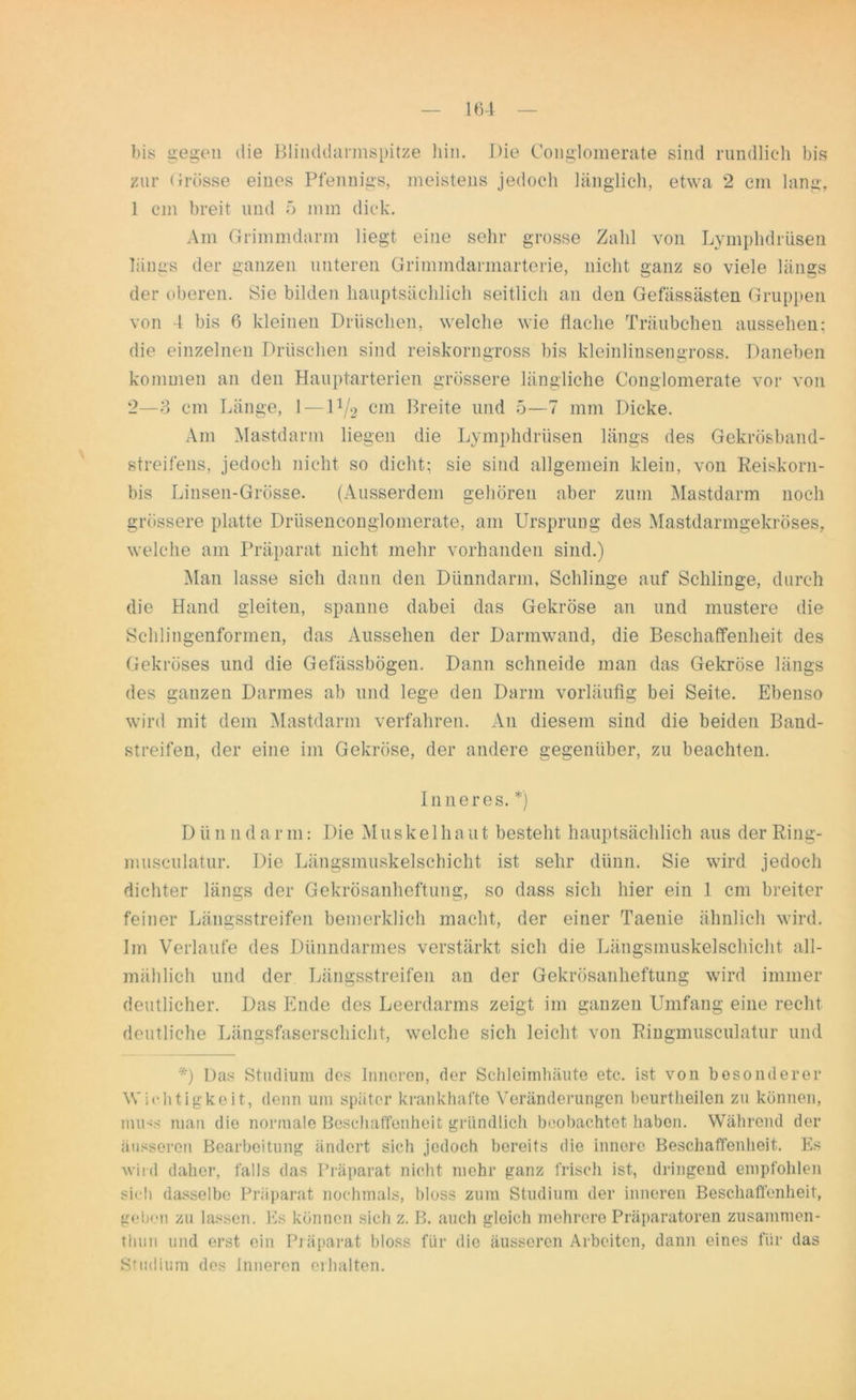 bis gegen die Blinddarmspitze hin. Die Conglomerate sind rundlich bis zur Grösse eines Pfennigs, meistens jedoch länglich, etwa 2 cm lang, 1 cm breit und 5 mm dick. Am Grimmdarm liegt eine sehr grosse Zahl von Lymphdrüsen längs der ganzen unteren Grimmdarmarterie, nicht ganz so viele längs der oberen. Sie bilden hauptsächlich seitlich an den Gefässästen Gruppen von 4 bis 6 kleinen Dräschen, welche wie flache Träubchen aussehen: die einzelnen Dräschen sind reiskorngross bis kleinlinsengross. Daneben kommen an den Hauptarterien grössere längliche Conglomerate vor von 2—3 cm Länge, 1 — \1/2 cm Breite und 5—7 mm Dicke. Am Mastdarm liegen die Lymphdrüsen längs des Gekrösband- ßtreifens, jedoch nicht so dicht; sie sind allgemein klein, von Reiskorn- bis Linsen-Grösse. (Ausserdem gehören aber zum Mastdarm noch grössere platte Dräsenconglomerate, am Ursprung des Mastdarmgekröses, welche am Präparat nicht mehr vorhanden sind.) Man lasse sich dann den Dünndarm, Schlinge auf Schlinge, durch die Hand gleiten, spanne dabei das Gekröse an und mustere die Schlingenformen, das Aussehen der Darmwand, die Beschaffenheit des Gekröses und die Gefässbögen. Dann schneide man das Gekröse längs des ganzen Darmes ab und lege den Darm vorläufig bei Seite. Ebenso wird mit dem Mastdarm verfahren. An diesem sind die beiden Band- streifen, der eine im Gekröse, der andere gegenüber, zu beachten. Inneres. *) Dünndarm: Die Muskel haut besteht hauptsächlich aus derRing- musculatur. Die Längsmuskelschicht ist sehr dünn. Sie wird jedoch dichter längs der Gekrösanheftung, so dass sich hier ein 1 cm breiter feiner Längsstreifen bemerklich macht, der einer Taenie ähnlich wird. Im Verlaufe des Dünndarmes verstärkt sich die Längsmuskelschicht all- mählich und der Längsstreifen an der Gekrösanheftung wird immer deutlicher. Das Ende des Leerdarms zeigt im ganzen Umfang eine recht deutliche Längsfaserschicht, welche sich leicht von Ringmusculatur und *) Das Studium des Inneren, der Schleimhäute etc. ist von besonderer Wichtigkeit, denn um später krankhafte Veränderungen beurtheilen zu können, mu-is man die normale Beschaffenheit gründlich beobachtet haben. Während der äusseren Bearbeitung ändert sich jedoch bereits die innere Beschaffenheit. Es wird daher, falls das Präparat nicht mehr ganz frisch ist, dringend empfohlen sich dasselbe Präparat nochmals, bloss zum Studium der inneren Beschaffenheit, geben zu lassen. Es können sich z. B. auch gleich mehrere Präparatoren zusammen- thun und erst ein Präparat bloss für die äusseren Arbeiten, dann eines für das Studium des inneren erhalten.