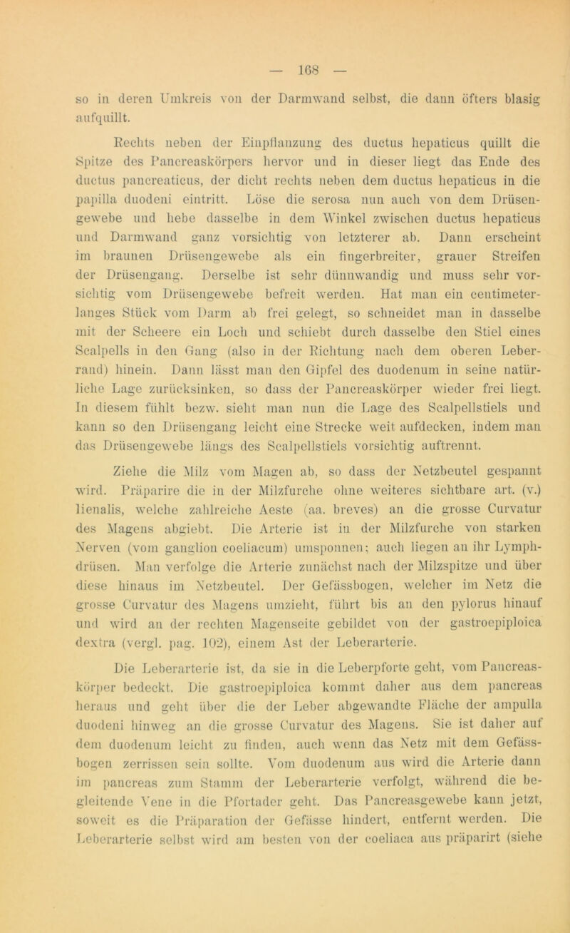 so in deren Umkreis von der Darmwand selbst, die dann öfters blasig aufquillt. Rechts neben der Einpflanzung des ductus hepaticus quillt die Spitze des Pancreaskörpers hervor und in dieser liegt das Ende des ductus pancreaticus, der dicht rechts neben dem ductus hepaticus in die papilla duodeni eintritt. Löse die serosa nun auch von dem Drüseu- gewebe und hebe dasselbe in dem Winkel zwischen ductus hepaticus und Darmwand ganz vorsichtig von letzterer ab. Dann erscheint im braunen Drüsengewebe als ein fingerbreiter, grauer Streifen der Drüsengang. Derselbe ist sehr dünnwandig und muss sehr vor- sichtig vom Drüsengewebe befreit werden. Hat man ein centimeter- langes Stück vom Darm ab frei gelegt, so schneidet man in dasselbe mit der Scheere ein Loch und schiebt durch dasselbe den Stiel eines Scalpells in den Gang (also in der Richtung nach dem oberen Leber- rand) hinein. Dann lässt man den Gipfel des duodenum in seine natür- liche Lage zurücksinken, so dass der Pancreaskörper wieder frei liegt. In diesem fühlt bezw. sieht man nun die Lage des Scalpellstiels und kann so den Drüsengang leicht eine Strecke weit aufdecken, indem man das Drüsengewebe längs des Scalpellstiels vorsichtig auftrennt. Ziehe die Milz vom Magen ab, so dass der Netzbeutel gespannt wird. Präparire die in der Milzfurche ohne weiteres sichtbare art. (v.) 1 ienalis, welche zahlreiche Aeste (aa. breves) an die grosse Curvatur des Magens abgiebt. Die Arterie ist in der Milzfurche von starken Nerven (vom ganglion coeliacum) umsponnen; auch liegen an ihr Lymph- drüsen. Man verfolge die Arterie zunächst nach der Milzspitze und über diese hinaus im Netzbeutel. Der Gefässbogen, welcher im Netz die grosse Curvatur des Magens umzieht, führt bis an den pylorus hinauf und wird an der rechten Magenseite gebildet von der gastroepiploica dextra (vergl. pag. 102), einem Ast der Leberarterie. Die Leberarterie ist, da sie in die Leberpforte geht, vom Pancreas- körper bedeckt. Die gastroepiploica kommt daher aus dem pancreas heraus und geht über die der Leber abgewandte Fläche der ampulla duodeni hinweg an die grosse Curvatur des Magens. Sie ist daher aut dem duodenum leicht zu finden, auch wenn das Netz mit dem Gefäss- bogen zerrissen sein sollte. Vom duodenum aus wird die Arterie dann im pancreas zum Stamm der Leberarterie verfolgt, während die be- gleitende Vene in die Pfortader geht. Das Pancreasgewebe kann jetzt, soweit es die Präparation der Gefässe hindert, entfernt werden. Die Leberarterie selbst wird am besten von der coeliaca aus präparirt (siehe