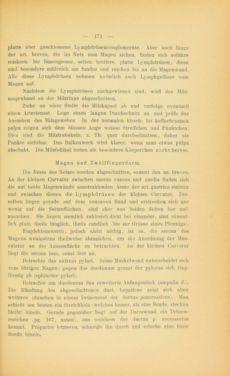 platte aber geschlossene Lymphdrüsenconglomerate. Aber auch längs der art. breves, die im Netz zum Magen ziehen, finden sich solitäre reiskorn- bis linsengrosse, selten breitere, platte Lymphdrüsen; diese sind besonders zahlreich am fundus und reichen bis an die Magenwand. Alle diese Lymphdrüsen nehmen natürlich auch Lymphgefässe vom Magen auf. Nachdem die Lymphdrüsen nachgewiesen sind, wird das Milz- magenband an der Milzrinne abgeschnitten. Ziehe an einer Stelle die Milzkapsel ab und verfolge eventuell einen Arterienast. Lege einen langen Durchschnitt an und prüfe das Aussehen des Milzgewebes. In der normalen kirsch- bis kaffeebraunen pulpa zeigen sich dem blossen Auge weisse Streifchen und Pünktchen. Dies sind die Milztrabekeln, z. Th. quer durchschnitten, daher als Punkte sichtbar. Das Balkenwerk wird klarer, wenn man etwas pulpa abschabt. Die Milzfollikel treten als besondere Körperchen nicht hervor. Magen und Zwölffingerdarm. Die Reste des Netzes werden abgeschnitten, sammt den aa. breves. An der kleinen Curvatur zwischen saccus caecus und cardia finden sich die auf beide Magenwände ausstrahlenden Aeste der art. gastrica sinistra und zwischen diesen die Lymphdrüsen der kleinen Curvatur. Die- selben liegen gerade auf dem concaven Rand und erstrecken sich nur wenig auf die Seitenflächen, sind aber von beiden Seiten her auf- zusuchen. Sie liegen ziemlich zahlreich dicht bei einander, sind sämmt- lich platt, theils länglich, theils rundlich (bis zur Grösse eines Pfennigs). Empfehlenswert!},, jedoch nicht uöthig, ist es, die serosa des Magens wenigstens theilweise abzuziehen, um die Anordnung der Mus- culatur an der Aussenfläche zu betrachten. An der kleinen Curvatur liegt die serosa lose, sonst fest an. Betrachte das antrum pylori. Seine Muskel wand unterscheidet sich vom übrigen Magen; gegen das duodenum grenzt der pylorus sich ring- förmig ab (sphincter pylori). Betrachte am duodenum das erweiterte Anfangsstück (ampulla d. . Die Mündung des abgeschnittenen duct. hepaticus zeigt sich ohne weiteres (daneben in einem Drüsenrest der ductus pancreaticus). Man schiebt am besten ein Streichholz (welches besser, als eine Sonde, stecken bleibt) hinein. Gerade gegenüber liegt auf der Darmwand ein Drüsen- restclien (pg. 167, unten), aus welchem der ductus p. accessorius kommt. Präparire letzteren, schneide ihn durch und schiebe eine feine Sonde hinein.