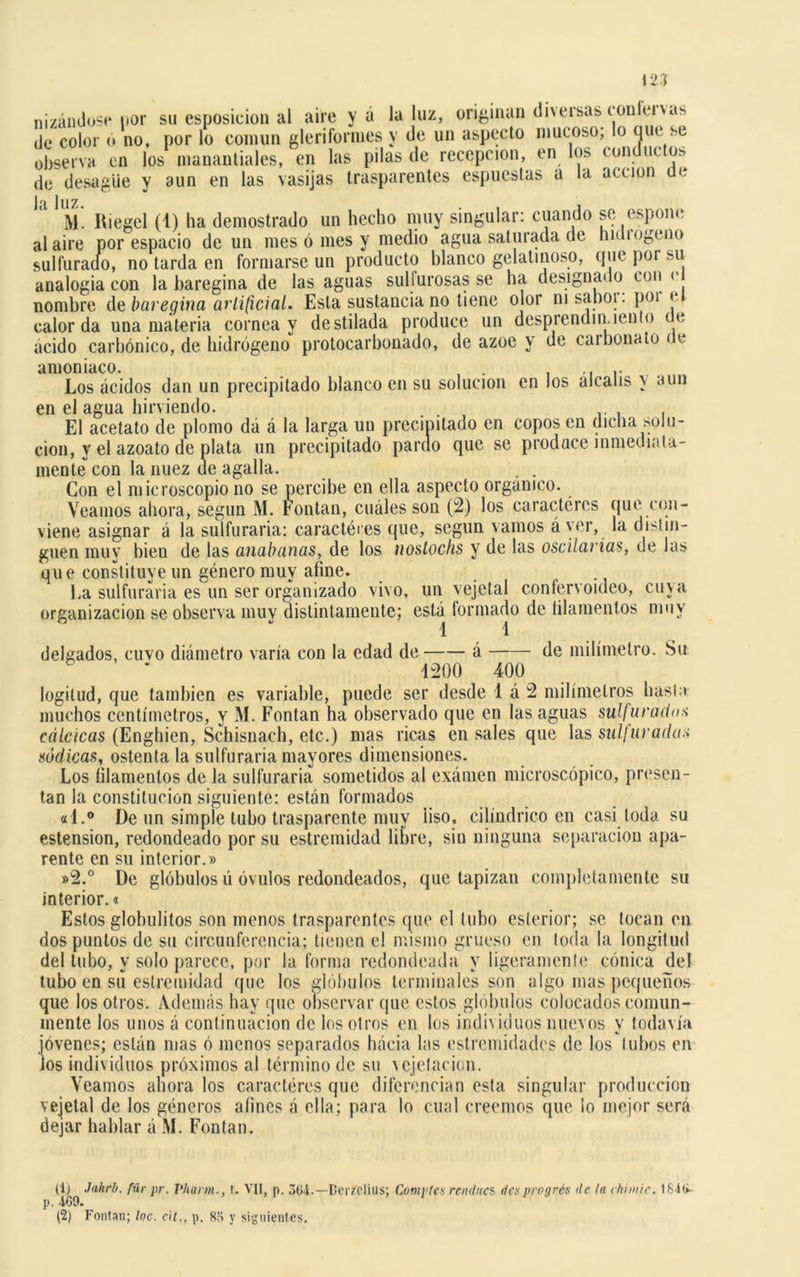 123 «izándose por su esposicion al aire y á la luz, originan diversas con enas de color ó no, por lo común gleriformes y de un aspecto mucoso; lo que se observa en los manantiales, en las pilas de recepción, en los conductos de desagüe y aun en las vasijas trasparentes espuestas a la acción de l<i luz M. Riegel (t) ha demostrado un hecho muy singular: cuando se espone al aire por espacio de un mes ó mes y medio agua saturada de Indi ogeno sulfurado, no tarda en formarse un producto blanco gelatinoso, que por su analogía con la baregina de las aguas sullurosas se ha designado con e nombre de baregina artificial. Esta sustancia no tiene olor ni saboi. poi » calor da una materia cornea y destilada produce un desprendimiento e ácido carbónico, de hidrógeno protocarbonado, de ázoe y de carbonato < e amoniaco. . .. Los ácidos dan un precipitado blanco en su solución en los álcalis y aun en el agua hirviendo. El acetato de plomo dá á la larga uu precipitado en copos en dicha solu- ción, y el azoato de plata un precipitado pardo que se produce inmediata- mente con la nuez de agalla. , . Con el microscopio no se percibe en ella aspecto orgánico. Veamos ahora, según M. tontan, cuáles son (2) los caracteres que con- viene asignar á la sulfuraría: caracteres que, según vamos á ver, la disi Di- gnen muy bien de las anabiinas, de los noslochs y de las oscilarías, de las que constituye un género muy afine. ha sulfuraría es un ser organizado vivo, un vejetal confervoideo, cuja organización se observa muv distintamente; está formado de filamentos muy 1 1 delgados, cuvo diámetro varía con la edad de á de milímetro. Su 1200 400 logilud, que también es variable, puede ser desde 1 á 2 milímetros hasta muchos centímetros, y M. Fontan ha observado que en las aguas sulfuradas cálcicas (Enghien, Schisnach, etc.) mas ricas en sales que las sulfuradas sódicas, ostenta la sulfuraría mayores dimensiones. Los filamentos de la sulfuraría sometidos al examen microscópico, presen- tan la constitución siguiente: están formados «l.° De un simple tubo trasparente muy liso, cilindrico en casi toda su estension, redondeado por su estremidad libre, sin ninguna separación apa- rente en su interior.» »2.° De glóbulos ú óvulos redondeados, que tapizan completamente su interior.« Estos globulitos son menos trasparentes que el tubo esterior; se tocan en dos puntos de su circunferencia; tienen el mismo grueso en toda la longitud del tubo, y solo parece, por la forma redondeada y ligeramente cónica del tubo en su estremidad que los glóbulos terminales son algo mas pequeños que los otros. Además hay que observar que estos glóbulos colocados comun- mente los unos á continuación de los otros en los individuos nuevos y todavía jóvenes; están mas ó menos separados hácia las estremidades de los tubos en Jos individuos próximos al término de su vcjetacion. Veamos ahora los caractéres que diferencian esta singular producción vejetal de los géneros afines á ella; para lo cual creemos que ¡o mejor será dejar hablar á M. Fontan. (1) .lahrb. für pr. Phann., t. VII, p. 3G4-—Dcrzclius; Comptex renducs desprogrés tic la chimie. 1 84<> p. -169.