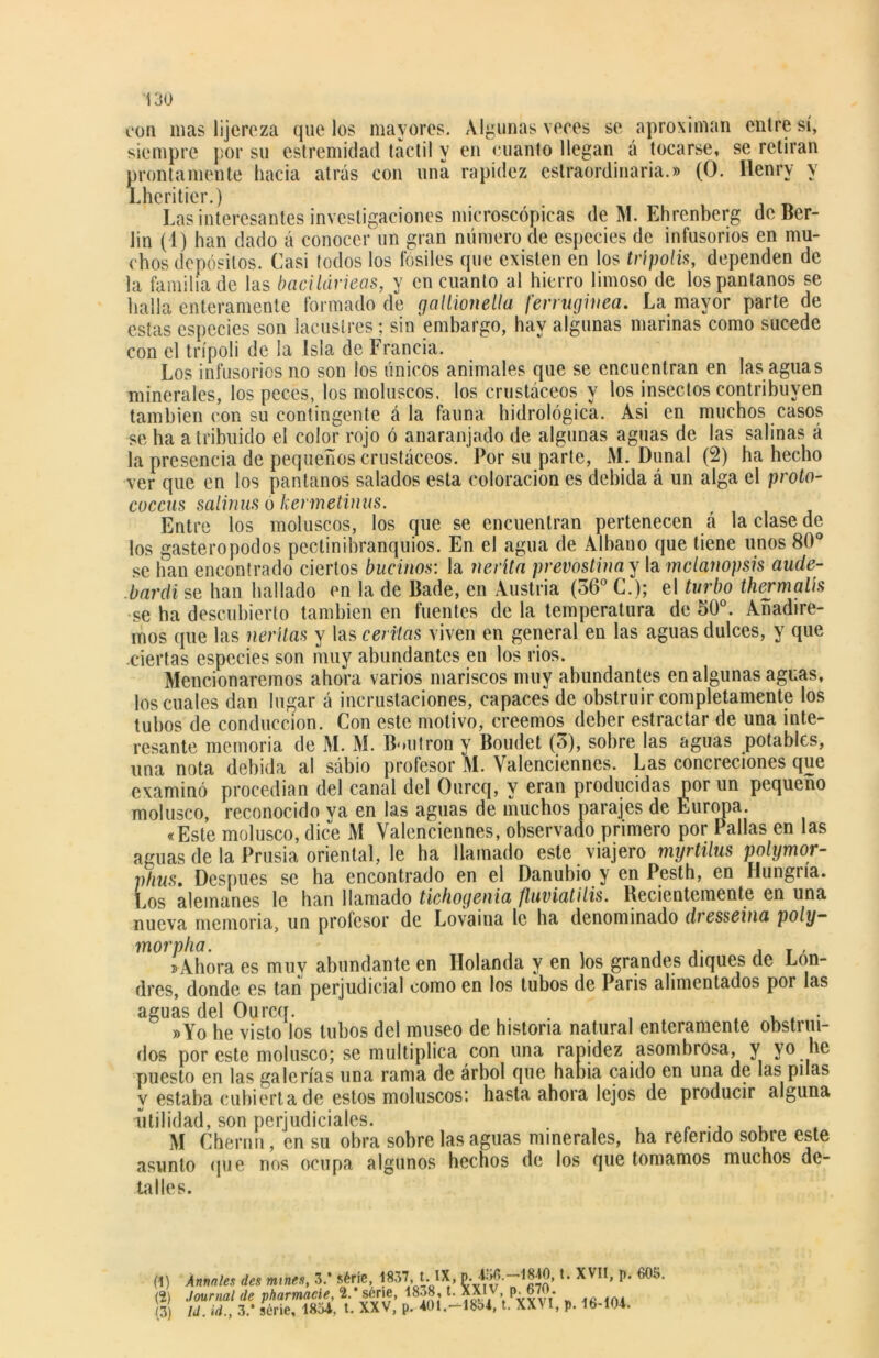 con mas lijereza que los mayores. Algunas veces se aproximan entre sí, siempre por su estremidad táctil y en cuanto llegan á tocarse, se retiran prontamente hacia atrás con una rapidez eslraordinaria.» (O. flenrv y Lheriticr.) Las interesantes investigaciones microscópicas de M. Ehrenberg de Bcr- lin (1) han dado á conocer un gran número de especies de infusorios en mu- chos depósitos. Casi todos los fósiles que existen en los trípolis, dependen de la familia de las bacilárieas, y en cuanto al hierro limoso de los pantanos se halla enteramente formado de gallioneUa ferruginea. La mayor parte de estas especies son lacustres ; sin embargo, hay algunas marinas como sucede con el trípoli de la Isla de Francia. Los infusorios no son los únicos animales que se encuentran en las aguas minerales, los peces, los moluscos, los crustáceos y los insectos contribuyen también con su contingente á la fauna hidrológica. Asi en muchos casos se ha atribuido el color rojo ó anaranjado de algunas aguas de las salinas á la presencia de pequeños crustáceos. Por su parte, M. Dunal (2) ha hecho ver que en los pantanos salados esta coloración es debida á un alga el proto- coccus salinus ó kermetinus. Entre los moluscos, los que se encuentran pertenecen á la clase de los gasterópodos pectinibranquios. En el agua de Albano que tiene unos 80° se han encontrado ciertos bucinos: la nerita prevostinay la mclanopsis aude- bardi se han hallado en la de Bade, en Austria (36° C.); el turbo thermalh se ha descubierto también en fuentes de la temperatura de 50°. Añadire- mos que las neritas y las ceritas viven en general en las aguas dulces, y que ciertas especies son muy abundantes en los rios. Mencionaremos ahora varios mariscos muy abundantes en algunas aguas, los cuales dan lugar á incrustaciones, capaces de obstruir completamente los tubos de conducción. Con este motivo, creemos deber estractar de una inte- resante memoria de M. M. Bmitron y Boudet (3), sobre las aguas potables, una nota debida al sábio profesor M. Valenciennes. Las concreciones que examinó procedían del canal del Ourcq, y eran producidas por un pequeño molusco, reconocido ya en las aguas de muchos parajes de Europa. «Este molusco, dice M Valenciennes, observado primero por Pallas en las aguas de la Prusia oriental, le ha llamado este viajero myrtilus polymor- pfius. Después se ha encontrado en el Danubio y en Pesth, en Hungría. Los alemanes le han llamado tichogenia fluviatitis. Recientemente en una nueva memoria, un profesor de Lovaiua le ha denominado dresseina poly— morpha. , , ... , T , sAhora es muy abundante en Holanda y en los grandes diques de Lon- dres, donde es tan perjudicial como en los tubos de Paris alimentados por las aguas del Ourcq. . , . , »Yo he visto los tubos del museo de historia natural enteramente obstrui- dos por este molusco; se multiplica con una rapidez asombrosa, y vo he puesto en las galerías una rama de árbol que había caído en una de las pilas v estaba cubierta de estos moluscos; hasta ahora lejos de producir alguna utilidad, son perjudiciales. M Chernn, en su obra sobre las aguas minerales, ha referido sobre este asunto que nos ocupa algunos hechos de los que tomamos muchos de- talles. (1) (2) (3) Ánnales des mines, 3.* série, 1837, t. IX, XVII> P- G05*- Journal de pharmacie, 2.‘ série, 1838, t. XXIV p. ,n. ¡d. id., 3.‘ serie, 1834. t. XXV, p. 401.-1854, t. XXVI, p. 16-104.