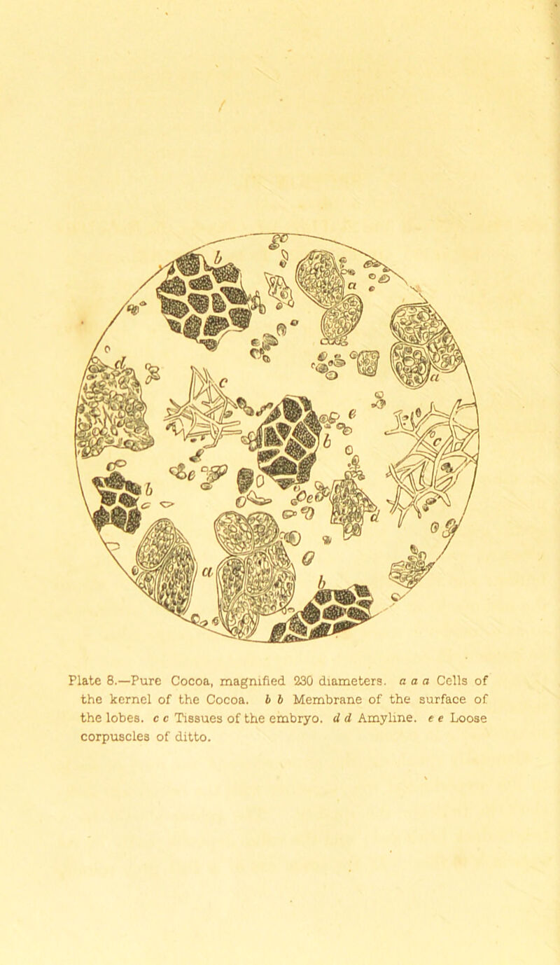 Plate 8.—Pure Cocoa, magnified 230 diameters, a a a Cells of the kernel of the Cocoa, b b Membrane of the surface of the lobes, c c Tissues of the embryo, d d Amylme. e e Loose corpuscles of ditto.