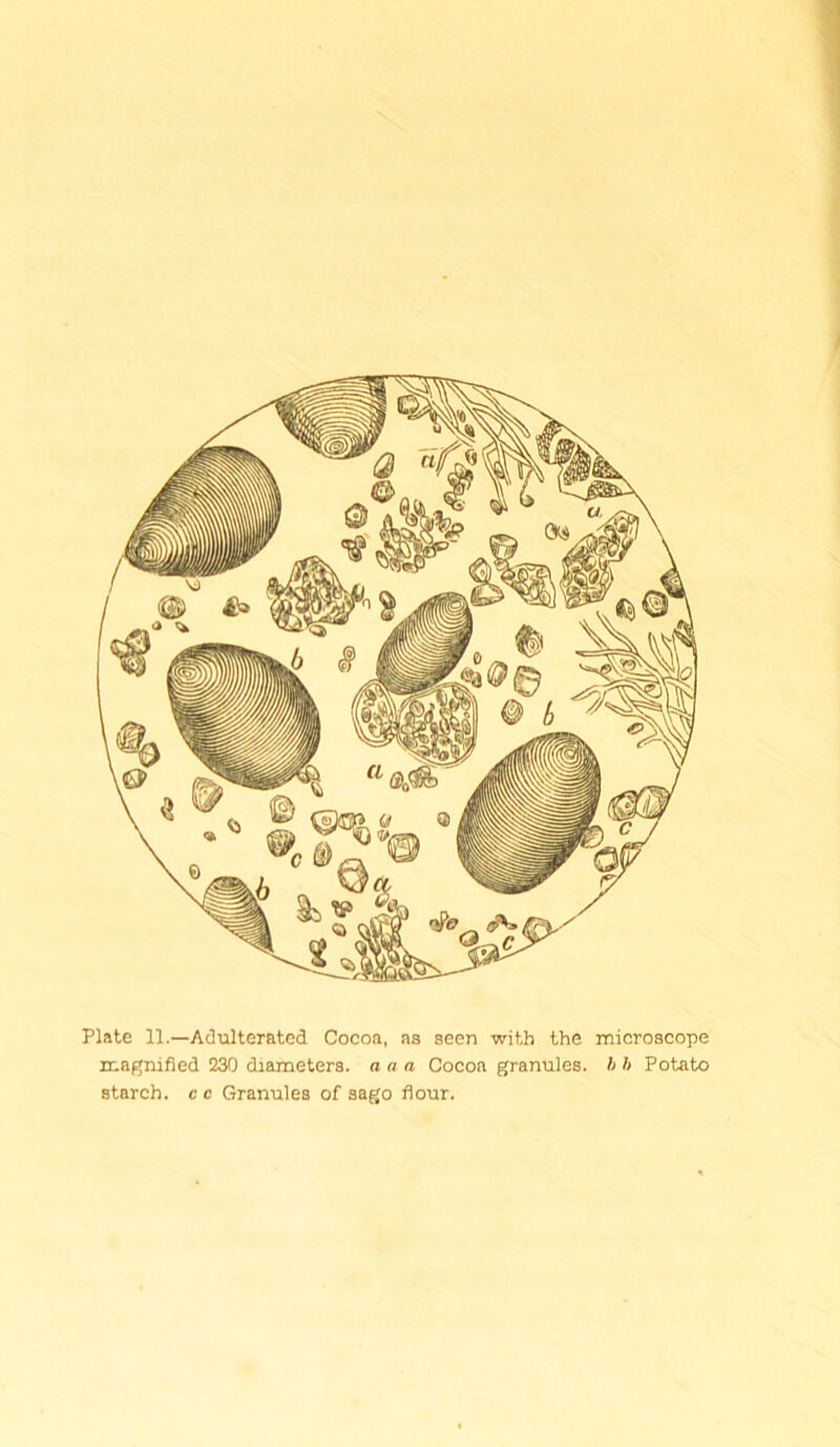 Plate 11.—Adulterated Cocoa, as seen with the microscope magnified 230 diameters, a a a Cocoa granules, h h Potato starch, cc Granules of sago flour.