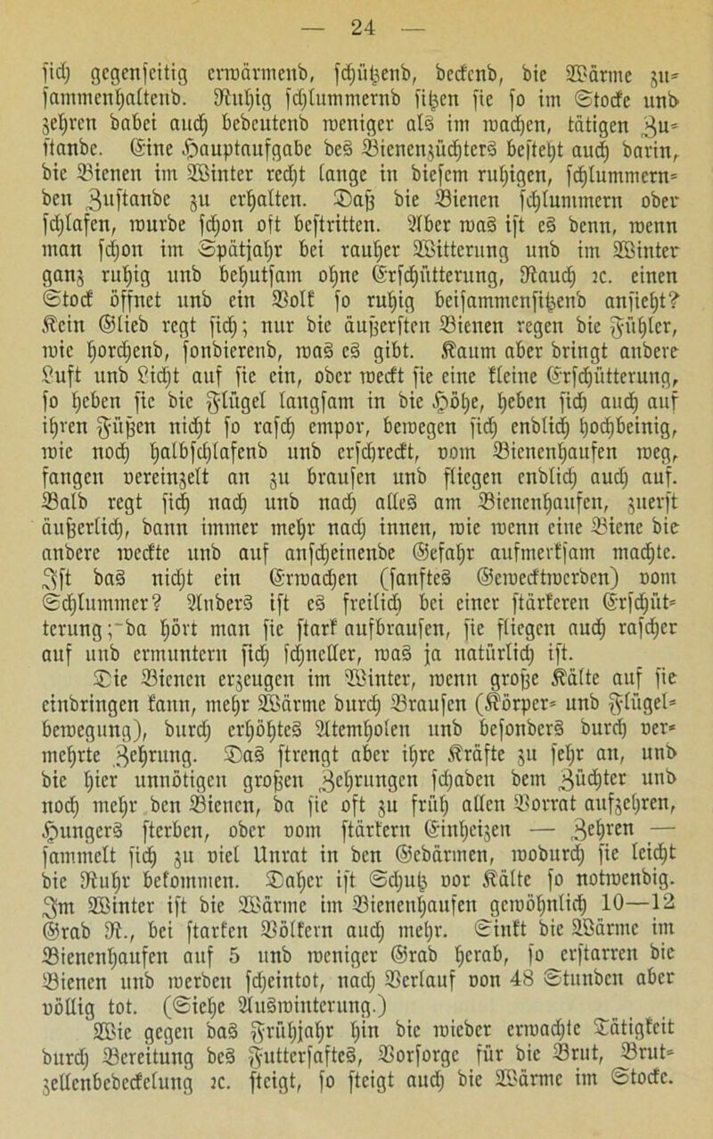 fid; gegenseitig crnmrmeub, fchütsenb, bedenb, bie 2?arme gu* fammenhattenb. SRuIjig fd;lummernb fitzen fie fo im ©tode und gehren habet aud; bebeutenb roeniger ald im roadjen, tätigen 3u= itanbe. ©ine Hauptaufgabe bed ©ienengüditetd beftet;t auch barin,, bie ffitenen im Söinter red;t tauge in biefem ruf;igcn, fdjlummetn* beit 3llftan^e Ju ermatten. ®af; bie ©ienen fd;tummern ober fd;lafcn, mürbe fd;on oft beftritten. idber raad ift ed benn, roenu man fdjon im Spätfatjr bei raul;er SBitterung unb im ©Unter- gang ruhig unb betjutfam ohne @rfd;ütterung, ©auch ic. einen ©tod öffnet unb ein ©olf fo rutjig beifammenfit^enb anfie^t? Jlcin ©lieb regt fid;; nur bie äuperfteit ©ienen regen bie $ü£)lcr, mie tjor^enb, fonbierenb, road ed gibt. $aum aber bringt anbere fiuft unb ßid)t auf fie ciu, ober toedt fie eine fteine ©rfdjütterung, fo heben fie bie gtügel langfain in bie Höt;e, heben ficb and; auf itjren $üfjen nid;t fo rafd) empor, beraegen fid; enbtid) bockbeinig, mie noch tjeitbfcfitfxfenb unb erfdjtedt, uom ©ienenbaufen meg, fangen uereingelt an gu braufen unb fliegen enblid; aud; auf. ©alb regt fidE) nad; unb nad; alled am ©ienenbaufen, guerft äufeerlid;, bann immer met)r nad; innen, mie raemt eine ©icne bie anbere raedte unb auf anfd;einenbe ©efabr aufmerffam machte. 3ft bad nid;t ein @rroad;en (fanfted ©eroedtroerben) nom ©djlumtner? Stnberd ift ed freilich bei einer ftärleren ©rfcjbüt* terungrba I;övt man fie ftarf auf braufen, fie fliegen auch rafd;er auf unb ermuntern fid) fd;netlcr, road ja natürlich ift. ©ie ©ienen erzeugen im ©Unter, roenn grojfe Mite auf fie einbringen bann, mehr SBärtnc burd; ©raufen (Körper* unb fylügel* beroegung), burd; erl;öhted Atemholen unb befonberd burd; oer* mehrte Gehrung, ©ad ftrengt aber il;rc Kräfte 51t fel;r an, unt> bie hier unnötigen großen Gehrungen fd;abett bem $üd)ter unt> nod; mehr beit ©ienen, ba fie oft gu früh allen Vorrat aufget;ren, Hungerd fterben, ober 00m ftärfern ©inheigen — 3ebren ;— fammelt fief) gu oiel Unrat in ben ©ebärincn, raoburd; fie leicht bie 9fuhr befommen. ©aber ift ©d;u|3 oor Äälte fo noimenbig. 3m ©Unter ift bie ©Bärme im ©ienenfaufen geroöbnticb 10—12 ©rab IR., bei ftarfen SBötfern aud; mehr, ©inft bie ©Bärme int ©ienenbaufen auf 5 unb raeniger ©rab hcrQb, fo erftarren bie ©ienen unb merben fd;eintot, nad; ©erlauf oon 48 ©tnnben aber oöltig tot. (©iebe ©udrointerung.) ©Ue gegen bad griihial;v lpn lieber erraad;fc ©ätigteit burd; ©crcitung bed gutterfafted, ©orforge für bie ©rut, ©rut* gellenbebedelung tc. fteigt, fo fteigt aud; bie ©3ärme im ©tode.