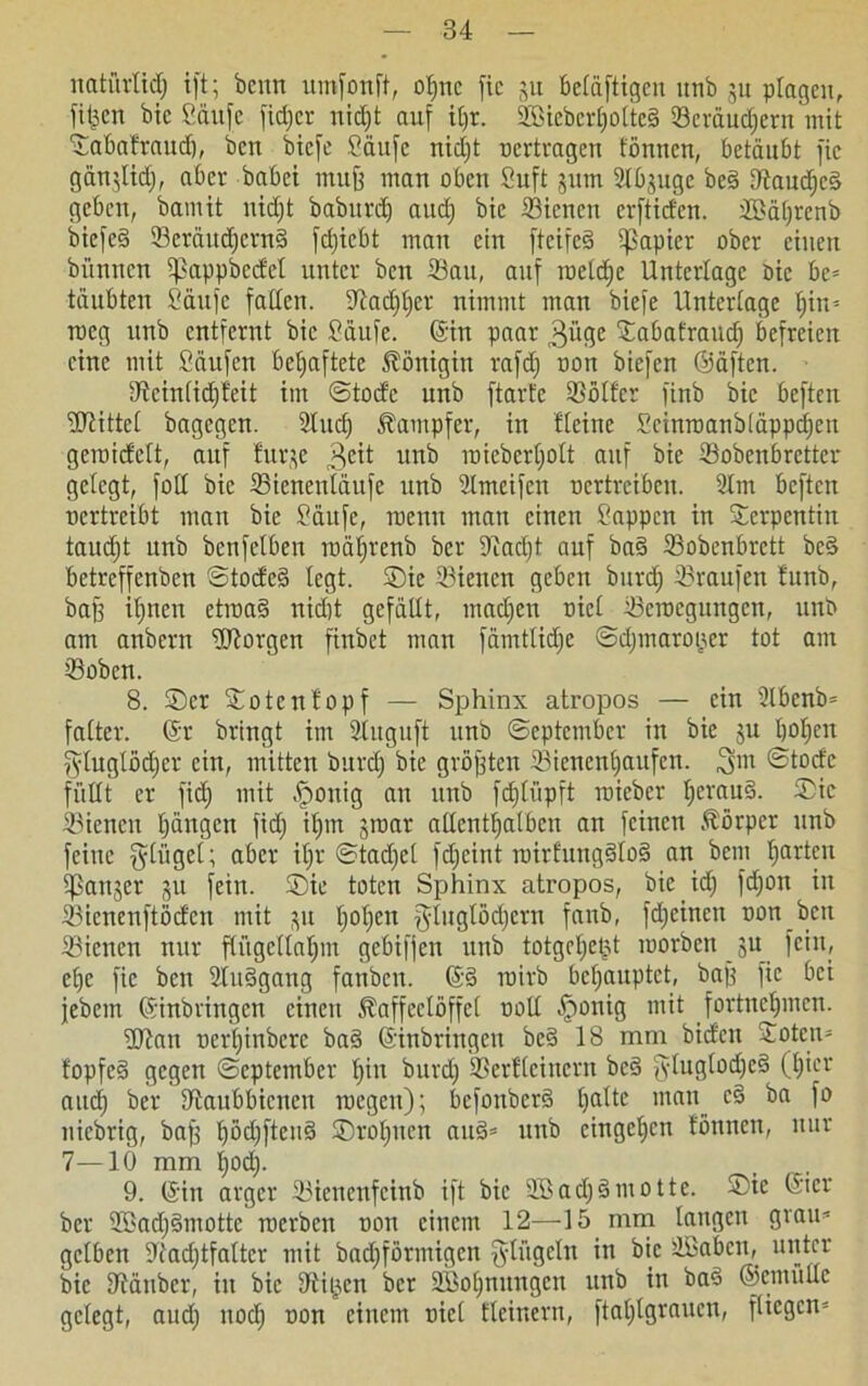 natörtid) ift; beim umfonft, offne fic ju beläftigen unb 311 plagen, fi&en bie Saufe fid) er nid;t auf il)t. 2Bieberl)olte§ Seräuäjern mit ©abaftaud), ben biefe Saufe nid)t uertvagcu tönnen, betäubt fic gänjltd), aber habet muff matt oben Suft gum SfOjuge be§ dtandicä geben, bamit nidft baburd) auef) bie Sicncn erftiefen. 2ßäl)renb btefc§ SeräudfernS fdjicbt man ein fteifed Rapier ober einen bümten fßappbedet unter ben Sau, auf roeld)c Unterlage nie bc= täubten Saufe faden. 9?ad)l)er nimmt man biefe Unterlage l)in-- roeg unb entfernt bie Saufe. (Sin paar 3üge ©abatraud) befreien eine mit Saufen behaftete Königin rafd) non biefen ©äften. Utcinlidjfeit im ©tode unb ftarfe Sölfcr finb bie beften bittet bagegen. 3tud) Kämpfer, in Heine Scinroanbläppd)en geroidett, auf furje 3e^t unb roicbertjott auf bie Sobenbrcttcr gefegt, fod bie Sienenläufe unb 3tmeifen oertreiben. 3tm beften vertreibt man bie Saufe, roenu man einen Sappen in Serpentin taudft unb benfelben roätjrenb ber diadft auf ba§ Sobcnbrctt be§ betreffenben ©toded legt, ©ie Siencn geben burd) Staufen funb, baff if»nen etma§ uid)t gefällt, machen oiel Scroegungen, unb am anbern borgen finbet mau fämtlidfe ©d)maroi;cr tot am Soben. 8. ©er ©otentopf — Sphinx atropos — ein 3lbenb= falter. (Sr bringt im 3luguft unb ©eptember in bie 31t l)Ol)en gluglödjer ein, mitten burd) bie gröfften Sienenffaufen. 3m ©toefe füllt er fid) mit -fponig an unb fcfjlüpft roicber l)cran§. ©ic Sicncn tjängen fid; if)m 3roar adentfjalbcn an feinen Körper unb feine fylügel; aber if;r ©tadfel fdjeint roirfung§lo§ an bem fjarten fßanjer 31t fein, ©ie toten Sphinx atropos, bie id) fdjon in Sienenftödcn mit 31t l)ol)ett fyluglödjern fanb, fdjeinen oon bcit Sicncn nur flügellahm gebiffen unb totgeljet;t roorben 31t fein, et)e fic ben 3lu§gang fanbeu. @§ roirb behauptet, baff fic bei jebem ©inbringen einen Kaffeelöffel ooU §onig mit fortnefpnen. fdian nerljinbcrc basi ©inbringen bc§ 18 mm bideit Soten- fopfe§ gegen ©eptember l;iu burd) Serfleinern bed fyluglod)c§ (t)icr aud; ber diaubbienen raegen); befottber§ halte man c§ ba fo niebrig, baff fjödfftcnä ©rotjiien aud= ititb cingcf)cn tönnen, nur 7—10 mm t)od). 9. ©in arger Sienenfcinb ift bie 3ßad)dmotte, ©ie ©ter ber 9®ad)§mottc roerben oon einem 12—15 mm langen grau* gelben Sadjtfaltcr mit badjförmigcn Ringeln in bie SBabert, unter bie diäuber, in bie Sitten ber 2Bol)nungcn unb in bad ©einüde gelegt, aud) tiod) oon einem oiel Heinern, ftal)tgraucn, fliegen^