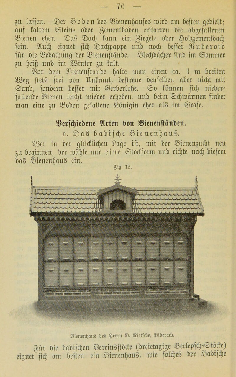 ju faffcn. ©er 93oben bc§ 93icncnf)aufe§ rnirb am beften gebielt; auf faltcm ©tcin= ober ^ementboben erftarren bie abgcfallenen 93ienen eljer. ©ad ©ad) t'ann ein 3icget= ober ßol^ementbad) fein. 9lud) eignet iid) ©adjpappe unb nod) beffer Jfuberoib für bie 93ebad)itng ber 93icueuftänbe. 93(ed)bäd)cr finb im ©ommer ju f)cif) unb im SBintcr ,51t fatt. 93or bem 93ienenftanbe tjatte man einen ca. 1 m breiten 2ßeg ftetd frei 001t llnfraut, beftreue benfelbeu aber nid)t mit ©artb, fonbern beffer mit ©erberlolje. ©0 tonnen fid) nieber* fatlenbe 93icnen leidjt raieber ergeben, unb beim ©djraarmen finbet man eine 51t 93obcn gefallene Königin cfjer ald im ©rafc. Serfdji ebene Wirten boit 23ienenftanbcn. a. © a § b a b i f d; e 93 i c n e n l) a u §. 9Bcr in ber glücflidjcn 9age ift, mit ber 93icncn$ud)t neu ju beginnen, ber rnaljle nur eine ©todform unb rid)tc nad) biefem ba§ 93ienenfiau§ ein. Sin- 12. SicncnI)oit§ bcS $ettn 23. Jmctfrfjc, Si&crad). g-ilr bie babifdjen 93crcin§ftötfc (brcictagige 33crfepfd;-©torfc) eignet fid) am beften ein 93icncnl)au§, mit fold)c§ ber 93abifd)e