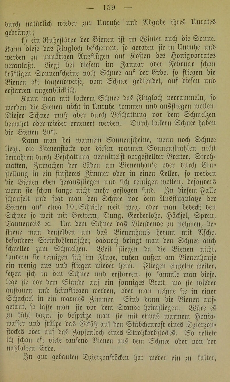 burd) natiirlid) wieber jur Unruhe unb Abgabe il>re§ Unrated gebrangt; f) ein 9htljeftörer ber Bienen ift im SBintcr and) bic (Bonne, ftann biefc bad g-luglod) beweinen, fo geraten fie in Unruhe unb werben 51t unnötigen 2ludf(ügen auf foften bed £onigoorratcd oeranlafft. Siegt bei biefem im Januar ober ftebntar fd)on Mftigeu Bonnenfdjeinc nod) Bd)ncc auf ber (Srbe, fo fliegen bie «Bienen oft taufenbweife, oom Bd)uce geblenbet, auf biefen unb erftarren augenblidlid). tann man mit loderm Bdjnce bad ftluglod) oerrammeln, fo werben bie Bienen nidjt in Uurut)e fommeu unb audfliegen wollen. SDiefer Sd)ncc mug aber burd) Befdjattung oor bem ©dfmeljen bewahrt ober wieber erneuert werben. Burd) lodern Bd)nce haben bic Bienen Suft. Staun mau bei warmem Bonncufd)cinc, wenn itod) ©djnee liegt, bic Bicncnftöde oor biefen warmen Bonnenftral)len nid)t bewahren burd) Bcfdjattung oermittelft oorgeftclltcr Bretter, Btrof)* matten, ^umadjen ber Sähen am Bicneutjaufc ober burd) ©in* ftclluug in ein finftered giinmer ober in einen Steller, fo werben bic Bienen eben Ijeraudfliegen unb fid) reinigen wollen, befonberd wenn fie fd)on lange nid)t mel)r geflogen fiub. ^n biefem fyatle fdjaufelt unb fegt mau ben Bdjnee oor beut Sludflugpla^e ber Bienen auf etwa 10.Beritte weit weg, ober man bebedt ben Bdjnee fo weit mit Brettern, Bung, ©crberloljc, -Ipädjel, Bpreu, Bannenrcid :c. Um bem Bd)nee bad Blenbeube ju nehmen, bc* ftreue man benfetben um bad Bienenljaud herum mit 2tfd)c, befonberd Btciu!ol)lenafd)e; baburd) bringt man beit ©cfjnec and) fd)neUer jum Bdjmeljen. SScit fliegen ba bie Bienen nid)t, fonbern fie reinigen fid) im fyluge, ruljen aupen am Bienent)aufc ein wenig aud unb fliegen wieber l)cim. fliegen einzelne weiter, fetten fid) in ben Bdjnce unb erftarren, fo famntle man biefc, lege fie oor bem Btaubc auf ein fonniged Brett, wo fie wieber auftauen unb heimfliegen werben, ober mau nehme fie in einer Bdjadjtel in ein warmed gimmer. Binb bann bie Bienen auf* getaut, fo (affe man fie oor bem Btanoc hcimfliegeu. SSBäre cd 5U fühl baju, fo befpritje man fie mit etwad warmem £wnig* waffer unb ftülpe bad ®efäfj auf ben Btäbd)enroft eiued Bjierjon* ftodcd ober auf bad ^apfenlod) eiued Btrohforbftoded. Bo rettete id) fd)oit oft oiele taitfcnb Bienen and bem Bdjnee ober oon ber najjfalteu ©rbc. 3n gut gebauten Bjierjonftödeu hat weber ein ju falter,