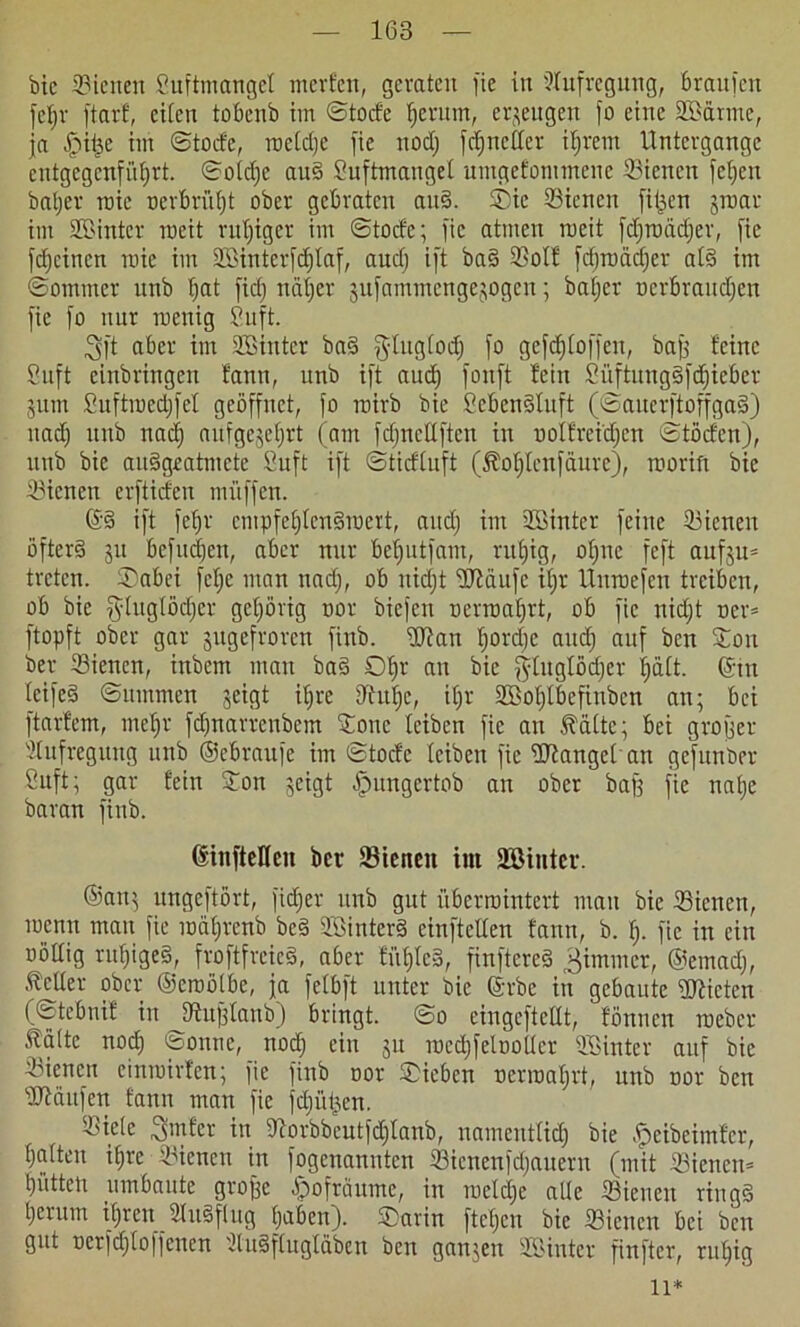 bie 33icnen Suftmanget merfen, geraten fie in Stufregung, braufett fetjv ftarf, eiten tobenb im ©toefe gerinn, erzeugen fo eine SBürme, ja fpitjc im ©toefe, roetdje fie nodj fdjncder ihrem Untergange cntgegcnfiif)rt. ©otdjc and Suftmauget umgefommeue Bienen fetjen baljer roic nerbrütjt ober gebraten and. ©ie Bienen filmen groar im ©Sinter roeit ruhiger im ©toefe; fie atmen rocit fdjroädjer, fie fdjeinen roie im Söintcrfdjtaf, auct) ift bad 95otf fdjroädjer atd im ©ommer unb bat ficfj näher gufammengegogen; batjer nerbrandjen fie fo nur menig Suft. Sft aber im ©Sinter bad $tugtoch fo gcfcf)loffen, bafj feine Suft einbriugeit fann, unb ift auch fonft fein Süftungdfdjieber gum Suftroedjfet geöffnet, fo rairb bie Sebendfuft (©auerftoffgad) itadj unb nach aufgcgetjrt (am fdjncüften in uotfretdjcn ©töcfen), unb bie audgeatmete Suft ift ©tieftuft ($of)tcnfäure), roorift bie dienen erftiefen muffen. @d ift fehl' empfebtendmert, and) im ©Sinter feine dienen öfterd 31t befugen, aber nur bebutfam, rut)ig, otjne feft aufgu* treten, ©abei fetje man nadj, ob nidjt SJiäufc ifjr Unroefen treiben, ob bie fytugtödjcr gehörig oor biefeu oerroatjrt, ob fie nidjt ncr= ftopft ober gar gttgefroren finb. dftan tjordje audj auf ben ©on ber Bienen, inbem man bad ©br nu bie fytugtödjer hätt. (Sin teifed ©uinmen geigt itjre diutje, itjr ©Sotjtbcfinbcn an; bei ftarfem, metjr fdjnarrenbcm ©ottc leiben fie an Ifättc; bei grofjer Stufregung unb ©ebraufe im ©toefe leiben fie SJtanget an gefunber Suft; gar fein ©on geigt fpungertob an ober bafj fie nabe baran finb. (SiufteKcu ber Bienen int ©Sinter. ©ang ungeftört, fidjer unb gut überrointert man bie Bienen, lucnn man fie mäbrenb bed Söinterd einftetten fann, b. tj. fie in ein oöttig rufjiged, froftfreied, aber fi'tf)Ie§, finftcred 3intmcr, ©emad), tcUer ober ©erootbe, ja fetbft unter bie ©rbc in gebaute Mieten (©tebnif in JÄufjtattb) bringt. ©0 eingeftedt, fönnen roeber 5fättc noch ©onnc, noch ein gu mecbfeloottcr ©Sinter auf bie Bienen cinmirfen; fie finb oor ©ieben nerroatjrt, unb oor ben kaufen fann man fie fdjiitgen. Biete ^mfer in Borbbeutfdjtanb, namentlich bie fpeibeimfer, batten ihre Bienen in fogenannten Bicnenfdjauern (mit Bienen* tjütten umbaute grofjc ©ofräume, in metdje ade Bienen ringd herum itjren Studflug haben), ©arin ftetjen bie Bienen bei ben gut Derfdjto|fcncn Studftugläben ben gangen ©Sinter finftcr, ruhig 11*
