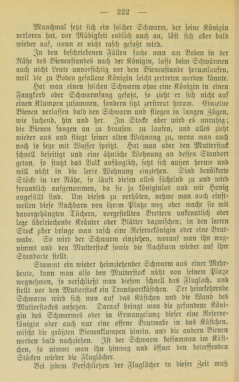 •iUlattdjmal feljt fiel; ein [otefjer ©djroarm, bet- feine Königin ncrloren f)at, nor ©iübigfeit enblidj aud) an, töft fiel) aber baib roieber auf, roenn er nidjt rafdj gefaxt roirb. 3n ben befdjricbenen fällen fudje inan am ©oben in ber ©äffe bed ©ienenftanbed nad) ber Königin, (affe beim ©djroärmcn aud) nid)t Seitte unnorfidjtig nor bem Sieuenftanbe l)emmlaufen, ineii bie ju ©oben gefallene Königin leidjt gertreten inerben lönnte. ipat man einen foldjen ©dparnt olpe eine .Königin in einen ^angforb ober ©dfroarmfang gefaxt, fo jiefjt er fid) nicf)t auf einen klumpen jufammen, fonbern filjt jerftrent herum. ©in’,eine ©ienen neriaffen halb ben ©dparm uitb fliegen itt langen 3ügen, raie fudjenb, l)in uub ^er. $m ©tode aber mirb ed unruhig; bie ©ienen fangen an p branfen, p laufen, unb aüed jiefjt mieber aud unb fliegt feiner alten ©ßolpung p, roenn man aud) noch fo fetjr mit 2ßaffer fpritpt. .fpat man aber ben sDrhitterftocf fc^nell befeitigt unb eine ähnliche Söohnung an beffen ©tanbort getan, fo ftutd bad ©olf anfänglid), feljt fid) außen tferum unb inill nid)t in bie leere Söolfnung einjieljen. ©inb benölferte ©töde in ber ©äf)e, fo läuft biefen alled fädfelnb p unb mirb freundlich aufgenommen, ba fie ja föniginlod unb mit .fjjonig angefiillt finb. Um biefed p oerl)üten, neunte man aud) einfU roeilen bieje ©adjbarn non ihrem ipialje roeg ober mad)c fie mit banorgcfiängtcn ©iidjern, oorgeftellten ©rettern unlenntlid) ober lege übelriedjenbe trauter ober ©lättcr bapnfd)en; in ben leeren ©tod aber bringe man rafd) eine ©eferoefönigin ober eine ©rut* mabe. ©o roirb ber ©dparm eingiet;en, roorauf man il)n rceg® nimmt unb ben ©iutterftod foraie bie ©ad)bavn roieber auf ilp ©tanbovte ftellt. ©tammt ein mieber ^eimgietjenber ©dparm and einer üftelp beute, fann man alfo ben ©hitterftod nid)t oon feinem ißlalje megnel)men, fo üerfdjlicjjt man biefem fd)trell bad Qduglod), unb ftellt nor ben 3©utterftod ein ©randportfäftd)cn. ©er l)eimfcl)renbe ©djpann roirb fid) nun auf bad föäftd)en unb bie ©Banb bed grRutterftoded anfeßen. ©arauf bringt man bie gefunbeue Köni- gin bed ©d)roarmcd ober in (Ermangelung biefer eine ©eferoe* tönigin ober and) nur eine offene ©rutroabc in bad Stäftdfcn, roifc£)t bie größten ©ienenflumpen hinein, unb bie anbern ©ienen roerben halb nadpeljcn. 3ft ber ©dparm _ beifammen int_ Ääft* d)en, fo nimmt man il)tt l)inroeg unb öffnet ben betreffenben ©tödeu roieber bie ffflugtödjer. _ , ©ei jebctu ©erfdjließen ber $luglöd)er in biefer 3£U mub