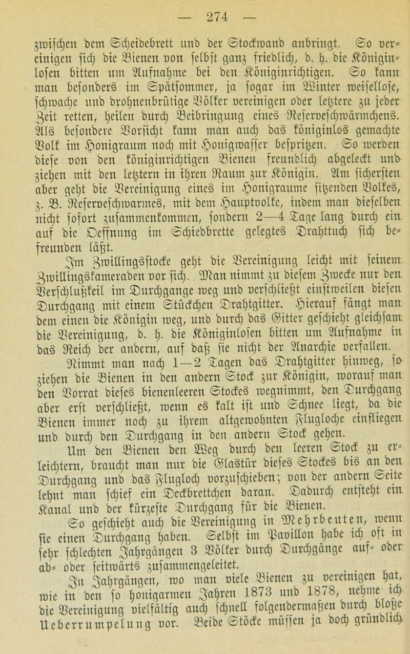 jroifdfen bcirt ©d;eibcbrctt unb ber ©tocfroanb anbringt. ©o oer* einigen fid; bic Bienen non felbft ganj frieblid;, b. t). bic Königin* lofen bitten tun 2tufnal;me bei ben fööniginridjtigen. ©o !ann man befonberä im ©pätfommer, ja fogar im SBinter rocifellofe, fd;road;e unb brotjnenbrütige Böller uereinigen ober letztere ju jeber 3cit retten, feiten burd; Beibringung eines Beferoefd;roärmd;en§. 2l(§ befonbere Borfid;t fann man aud; ba§ föuiginloä gemachte Bol! im £>onigraum nod; mit #onigroaffer befpti&en. ©o roerben biefe non ben !öniginrid;tigen Bienen freunblid; abgelecft unb jietjen mit ben letztem in il;ren Baum jur Königin. Bm fidjerften aber get)t bie Bereinigung eine§ im öoonigraume fi^enben Bolfe§, 3. B. Beferoefd;roarme§, mit beut ^auptootfc, inbetn man biefelberc nidjt fofort ^ufammenfommen, foubent 2—4 Bage lang burd) ein auf bic Oeffnung im ©cfjiebbrette gelegtes Brafjttud; fid) be* freunben läßt. 3m groillinggftocfe gef;t bie Bereinigung leidjt mit feinem 3tuiUing§fameraben oor fid;. Btan nimmt 311 biefem jroede nur ben. Berfd;lußfeil im ®urd;gange roeg unb ocrfdjließt einftraciten biefen Burdjgang mit einem ©tiitf'd)cn ©raf;tgitter. hierauf fängt man bem einen bie Königin roeg, unb burd; ba§ ©ittcr gefd;iet;t gleid;fam bic Bereinigung, b. I;. bie ftöniginlofen bitten um 2Iufnat;me in ba§ Bcid; ber anbern, auf baff fie nidft ber 2tnard)ic ocrfatlen. Bimmt man nad; 1—2 Bagen ba§ SDraljtgittev Ijinrocg, fo- jic^en bie Bienen in ben anbern ©toef jur Königin, roorauf man ben Borrat biefeS bieneuteeren ©tod'c§ roegnimmt, ben Burdjgang aber erft oerfdjticßt, roenn e§ falt ift unb ©d;ncc liegt, ba bic Bienen immer nod; ju it;rem altgeroobnten fytugtod;e ein fliegen unb burd; ben ®urd;gang in ben anbern ©toc! geljett. Um ben Bienen ben Bkg burd; ben leeren ©toc! ju er* leidjtern, braud;t man nur bie ©laStiir biefeS totod'e€ bis an ben Bmrebgang unb ba§ ftluglod; oorjufd&te&en; uou ber anbern Seite fcl;nt man fd;ief ein Bcrf'brettd;en baran. Baburd; entftel;t etn tanal unb ber türjefte £>urd;gang für bic Bienen. ©0 gcfd;icljt aud; bic Bereinigung in Bicl;rbeuteu, roentt fie einen B)urd;gang t;abcn. ©elbft im ipaoillon Ijabe id; oft in fct;r fd;led;ten Jahrgängen 3 Bölfer burd; Burdjgänge auf» ober ab* ober fcitroärtS gufammcngeleitet. , , Jn Jahrgängen, roo man oiele Bienen ju oeretntgen l;at, roic in ben fo l;ouigarmen Jal;rcn 1873 unb 1878, ncf;me td; bic Bereinigung oiclfdltig aud; fdjucll folgenbermajfcn bur$ bloße Ueberrumpelung oor. Beibc ©töde muffen ja bod; grunbltd>