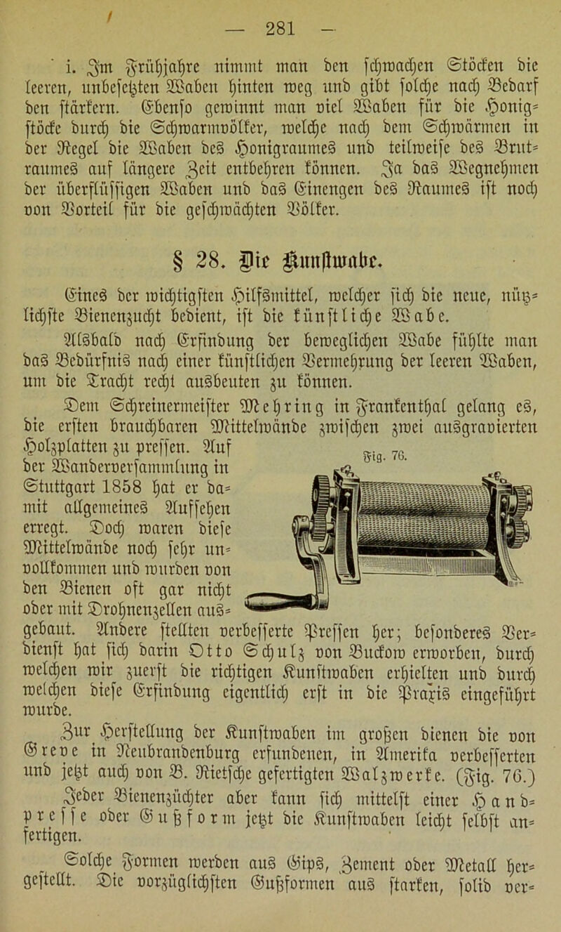 i. gm grühjahre nimmt man ben fcfjwadjen ©töcfen bie leeren, unbefctjten Sffiabcu fjtnten weg unb gibt fotcfje nad) ißebarf ben ftcirfern. ©benfo gewinnt man niel SSaBen für bie $ottig- [töcfe bnrcf) bie ©djwarmtwlfer, meldje nad) bem Schwärmen in ber Siegel bie SBaBen bed .^onigraumed unb teitroeife bed 33rut= raumed auf längere geit entbehren fönnen. ga bad 3Begnef)men ber überffüffigen Sßaben unb bad ©inengen bed fftaumed ift nod) non ffiorteit für bie ge[d)wäd)ten 93ötfer. § 28. Die gtunjtorabc. ©incd ber widftigften [Mtfdmittct, wcldjer fidj btc neue, nütj- lidjfte Siencnjudft bebient, ift bie fünftlidfe Söabe. 2lldbalb nad) ©rfinbung ber Beroegtidjen Söabe füllte man bad ffiebürfnid nad) einer fünftttdjen Vermehrung ber leeren 2ßaben, um bie £rad)t redjt audbeuten ju fönnen. SDetn ©djreinermeifter 'Sflerring in granfenthal gelang ed, bie erften Brauchbaren -UHttelwänbe jraifd)en jroei audgraoierten £>olsplaften 51t preffen. 2luf ber SBanberoerfatnmlung in Stuttgart 1858 hat er ba= mit allgemeines 2luffel)en erregt. ©od) waren biefc SRittelwänbe nod) fe£>r uu= oollfommen unb würben non ben Sienen oft gar nid)t ober mit ©rohnenjellen au§- gebaut. Slnbere [teilten oerbefferte ^reffen l)er; befonbered 33er= bienft Bat fid) barin Otto ©d)ttlj oon Vttcfow erworben, burd) weld)en wir juerft bie richtigen ÄunftwaBen erhielten unb burd) weid)en biefe ©rfinbung eigcntlid) erft in bie fßrapid eingeführt würbe. 3ur -fperftetlung ber ÄunftwaBen im grofjen bienen bie oon ©reue in Veubranbenburg erfunbenen, in Slmerifa oerbefferten unb jetjt aud) oon V. fftictfdje gefertigten Söaljwerfc. (gig. 76.) Sieber Vienenjüdfter aber fann [ich mittelft einer .£> a n b- p r e f f e ober ® u fj f 0 r m jefct bie ÄunftwaBen teidjt fclbft an- fertigen. ©old)e gönnen werben aud ©ipd, gement ober ÜÄetall her- gefteüt. Oie oorjiiglichften ©Urformen' aud ftarfen, folib oer-