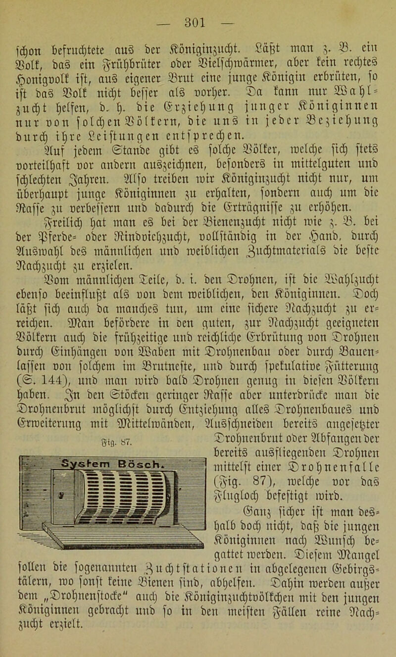 fdjon Befruchtete nu§ bcr Äöniginjucfjt. Saßt man 3. 33. ein 33olf, baS ein grft§6tüter ober SBieljcfjroärmer, aber fein redjteS £onigootf ift, au§ eigener Srnt eine junge Königin erbrüten, jo ift ba§ 23olf nid;t befjer a(§ uorljer. ©a fann nur SBatjl* jucht helfen, b. ß. bie (Srjiefjung junger Königinnen nur non joldjen Söffern, bie und in jeher Sejieljung burd} it;re Seiftungen cntjpredjcn. 21uf jebem ©taube gibt e§ foldjc SBöffer, roeldjc jid) ftetS norteithaft nor anbern audjeidinen, bejonberS in mittelguten unb fdjledjten ^iafjren. Stffo treiben mir Königinjudjt nicht nur, um überhaupt junge Königinnen ju erhalten, jonbern and} um bie Iftafje 31t uerbefjern unb baburdj bie ©rttägniffe 31t erhöhen. gretlid) Ijat man e§ bei ber Sienen3uct}t nidjt mie 3. 23. bei ber 5ßferbe= ober 9ünbuiel}3ud}t, uotljtänbig in ber .jpanb, burd} 2lu§raal}l bc§ mannlidjen unb roeiblidjen 3ucS)tmateriat§ bie bejtc sJtad)3ud}t 3U ersiclen. 23om mannlidjen ©eite, b. i. ben ©rönnen, ijt bie 2i>ahl§ud;t ebenjo beeinflußt als uon bem rociblidjen, ben Königinnen, ©od} läßt jid} auch manches tun, um eine jicfjerc 9iadj}ud}t 31t er= reidjen. iUtan beförbere in oen guten, jur Sftadjsüdjt geeigneten SSölfern aud) bie frühseitige unb reidjlictje (Srbrütung uon ©roljncu burd} ©inljangen uon Sßaben mit ©roljncnbau ober burd} 23aucn= lafjen uon joldjem im Srutnejte, unb burd) jpefutatiue Fütterung (©. 144), unb man mirb halb ©rotjneu genug in biejen 23ötfern f)aben. $n ben ©töden geringer Dtajje aber unterbri'tde man bie ©roljnenbrut möglidjjt burd} ©ntsieljuug alles ©rol}nenbaue§ unb ©rrueiterung mit DDüttelrocinbcn, StuSfdjneiben bereits angejetKer ©roljnenbrut ober SIbjangcnbcr bereits auSfliegenben ©roljncu mitteljt einer ©rofjnenfallc (fyig- 87), ruelche uor ba§ jytugtod) befcjtigt mirb. ©anj jidjer ijt man beS= halb bod} nicht, baß bie jungen Königinnen nadj SBuujd} be= gattet roerben. ©iefem Mangel jollett bie jogenaunten ^udjtftationcn in abgelegenen ©cbirgS-- talern, roo jonjt feine ffiicnen jinb, abtjelfeu. ©aljin roerben außer bem „©rofjnenftocfe and} bie Königinsudjtuölfdjen mit ben jungen Königinnen gebradjt unb jo in ben meiften galten reine Sind}* Sucht erjielt. S'8- «7.