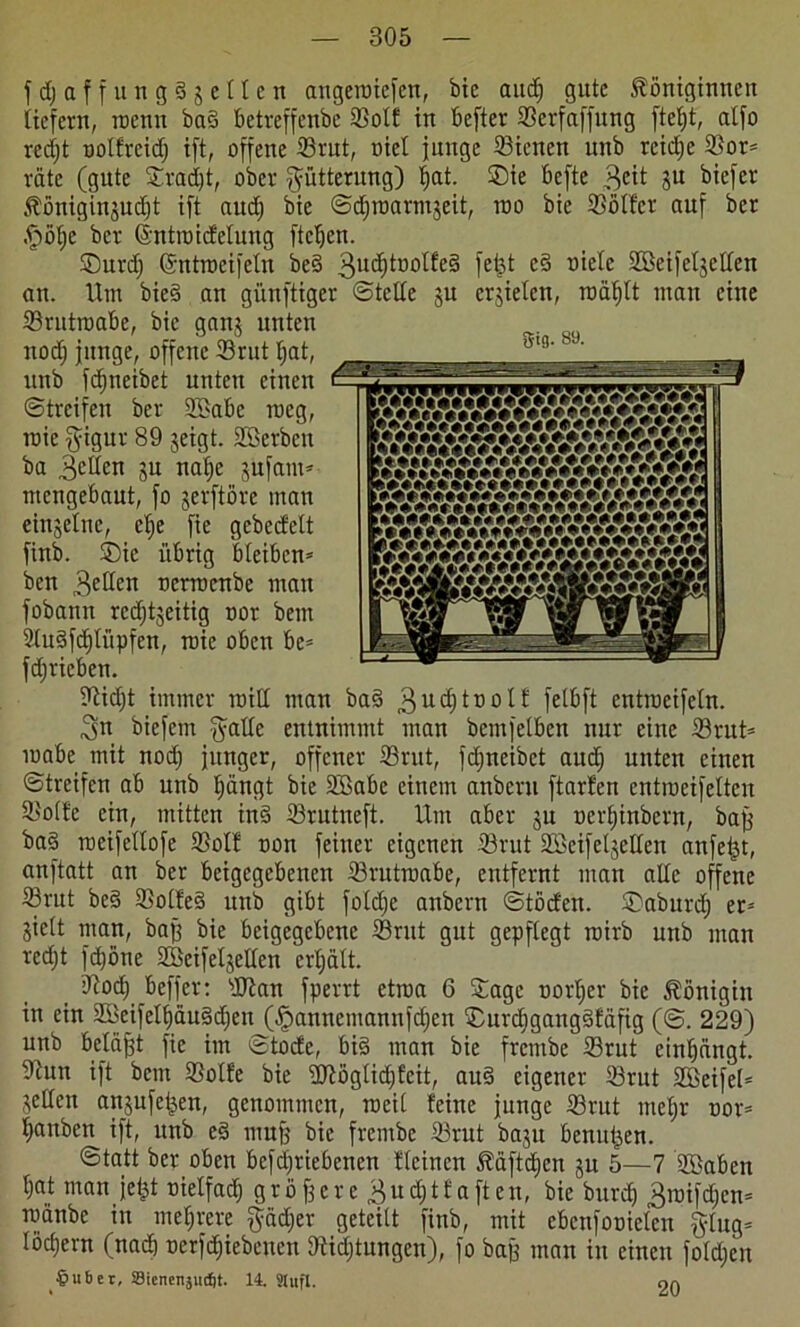 f d) aff ungäjellen angeroiefen, bic and) gute Königinnen liefern, roenn bad betreffenbe 23olf in befter SSerfaffung fteljt, atfo redjt oolfreid; ift, offene 33rut, nid junge 23ienen unb rcidje $or* rate (gute ©rad)t, ober Fütterung) fiat. ©ie befte 3eit ju biefer Königinjudjt ift aud) bie Sdjroarmjeit, roo bie 23ölter auf ber .fpölje ber (Jntroid'elung ftcljen. ©urd) ©ntrocifeln be§ 3Ul^*:öi;)^e^ fd3t D*e^e SBeifeXjetfen an. Um bie§ an günftiger StcUe ju erzielen, roäf)lt man eine 23rutroabe, bie ganj unten nodj junge, offene 23rut f>at, unb fdjneibet unten einen Streifen ber 2£abc roeg, roie §igur 89 jeigt. SSerbeit ba 3eHen ju natje jufant* mengebaut, fo jerftöre man einzelne, el)e fie gcbedelt finb. ©ic übrig bleiben* ben 3cll^n nerroenbe man fobann rcc^tjeitig oor bem 2lu3fcf)tüpfen, roie oben bc* fdjricben. 9tid)t immer roill man ba§ 3u$lD°ll fclbft entroeifeln. 3n biefem $ade entnimmt man bemfelben nur eine 23rut* roabe mit nod) junger, offener S3rut, fdjneibct audj unten einen Streifen ab unb l)ängt bie SBabe einem anbern ftarfen entroeifelten ©ölte ein, mitten ind 33rutneft. Um aber $u nerljinbern, baff ba§ roeifellofe SSolt oon feiner eigenen -®rut Söeifeljeden anfejjt, anftatt an ber beigegebenen 33nttroabe, entfernt man alle offene 23rut be§ ©olteS unb gibt foldje anbern Stöden. ©aburd) er* Sielt man, baff bie beigegebene Srut gut gepflegt roirb unb man redjt fdjöne 2Beifelgellen erljölt. Dcod) beffer: 'tOtan fperrt ctroa 6 ©agc uorljer bie Königin in ein 2öeifelf)äu§d)en (^annemannfdjen ©urdjgangdfäfig (S. 229) unb beläßt fie im fctode, bi§ man bie frentbe 23rut einljängt. 9iun ift bem ©olle bie dftöglidjfeit, aud eigener 33rut Sßeifel* jeden anjufeijen, genommen, roeil leine junge 33rut mef)r nor* Rauben ift, unb es> muff bic frembe 23rut baju benutzen. Statt ber oben bcfdjriebenen Keinen Käftdjen ju 5—7 fffiaben l)at man jeijt nielfadj g r ö fj c r e 3u d) t f a ft en, bie burc^ 3roifdjcn* roänbe in mehrere $ad)er geteilt finb, mit ebcnfotnelcn fylug* löcfjern (naä) nerfd)iebcnen dKdjtungcn), fo baff man in einen foldjen $uber, Sienensuftt. 14. Slufl. 20 gtg. 89. ■Sn