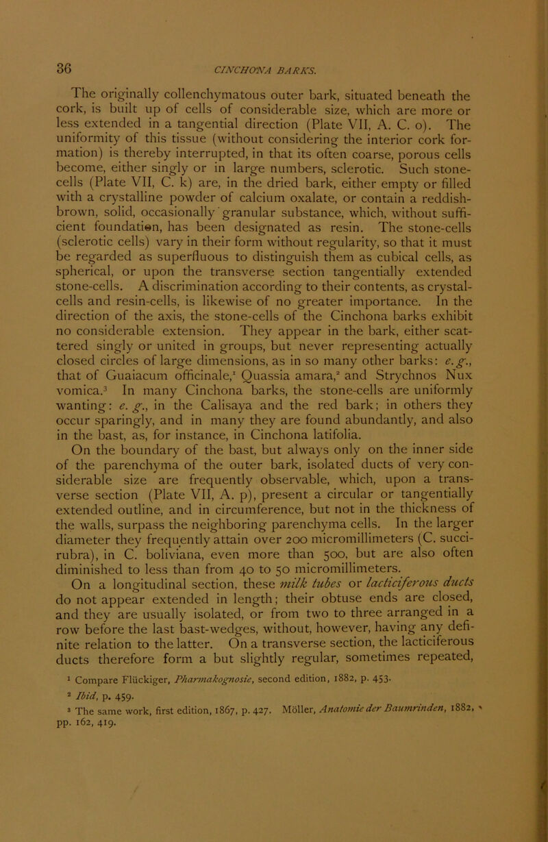 ihe originally collenchymatous outer bark, situated beneath the cork, is built up of cells of considerable size, which are more or less extended in a tangential direction (Plate VII, A. C. o). The uniformity of this tissue (without considering the interior cork for- mation) is thereby interrupted, in that its often coarse, porous cells become, either singly or in large numbers, sclerotic. Such stone- cells (Plate VII, C. k) are, in the dried bark, either empty or filled with a crystalline powder of calcium oxalate, or contain a reddish- brown, solid, occasionally granulär substance, which, without suffi- cient foundatien, has been designated as resin. The stone-cells (sclerotic cells) vary in their form without regularity, so that it must be regarded as superfluous to distinguish thern as cubical cells, as spherical, or upon the transverse section tangentially extended stone-cells. A discrimination according to their contents, as crystal- cells and resin-cells, is likewise of no greater importance. In the direction of the axis, the stone-cells of the Cinchona barks exhibit no considerable extension. Tliey appear in the bark, either scat- tered singly or united in groups, but never representing actually closed circles of large dimensions, as in so many other barks: e.g., that of Guaiacum officinale,1 Ouassia amara,2 and Strychnos Nux vomica.3 In many Cinchona barks, the stone-cells are uniformly wanting: e.g., in the Calisaya and the red bark; in others they occur sparingly, and in many they are found abundantly, and also in the bast, as, for instance, in Cinchona latifolia. On the boundary of the bast, but always only on the inner side of the parenchyma of the outer bark, isolated ducts of very con- siderable size are frequently observable, which, upon a trans- verse section (Plate VII, A. p), present a circular or tangentially extended outline, and in circumference, but not in the thickness of the walls, surpass the neighboring parenchyma cells. In the larger diameter they frequently attain over 200 micromillimeters (C. succi- rubra), in C. boliviana, even more than 500, but are also often diminished to less than from 40 to 50 micromillimeters. On a longitudinal section, these milk tubes or lacticiferous ducts do not appear extended in length; their obtuse ends are closed, and they are usually isolated, or from two to three arranged in a row before the last bast-wedges, without, however, having any defi- nite relation to the latter. Ön a transverse section, the lacticiferous ducts therefore form a but slightly regulär, sometimes repeated, 1 Compare Fliickiger, Pharmakognosie, second edition, 1882, p. 453. 2 Ibid, p. 459. 3 The same work, first edition, 1867, p. 427- Möller, Anatomie der Baumrinden, 1882, ' pp. 162, 419.