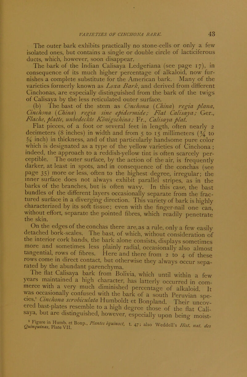 The outer bark exhibits practically no stone-cells or only a few isolated ones, but contains a single or double circle of lacticiferous ducts, which, however, soon disappear. The bark of the Indian Calisaya Ledgeriana (see page 17), in consequence of its much higher percentage of alkaloid, now fur- nishes a complete substitute for the American bark. Many of the varieties formerly known as Loxa Bark, and derived from different Cinchonas, are especially distinguished from the bark of the twigs of Calisaya by the less reticulated outer surface. (b) The bast of the stem as Cinchona (China) regia plana, Cinchona (China) regia sine epidermide; Flat Calisaya; Ger., Flache, platte, unbedeckte Königschina; Fr., Calisaya plat. Flat pieces, of a foot or several feet in length, often nearly 2 decimeters (8 inches) in width and from 5 to 15 millimeters to S4 inch) in thickness, and of that particularly handsome pure color which is designated as a type of the yellow varieties of Cinchona ; indeed, the approach to a reddish-yellow tint is often scarcely per- ceptible. The outer surface, by the action of the air, is frequently darker, at least in spots, and in consequence of the conchas (see Pa§e 35) more or less, often to the highest degree, irregulär; the inner surface does not always exhibit parallel stripes, as in the barks of the branches, but is often wavy. In this case, the bast bundles ot the different layers occasionally separate from the frac- tured surface in a diverging direction. This variety of bark is highly characterized by its soft tissue; even with the finger-nail one can, without efifort, separate the pointed fibres, which reaclily penetrate the skin. On the edges of the conchas there are.as a rule, only a few easily detached boi k-scales. The bast, of which, without consideration of the interior corlc bands, the bark alone consists, displays sometimes more and sometimes less plainly radial, occasionally also almost tangential, rows of fibres. Here and there from 2 to 4 of these lows come in direct contact, but otherwise they always occur seDa- rated by the abundant parenchyma. The flat Calisaya bark from Bolivia, which until within a few years maintained a high character, has latterly occurred in com- merce with a very much diminished percentage of alkaloid It was occasionally confused with the bark of a south Peruvian spe- cies 1 Cinchona scrobiculata Humboldt et Bonpland. Their uncov- ered bast-plates resemble to a high degree those of the flat Cali- saya, but are distinguished, however, especially upon being moist- 1 Figure in Humb. et Bonp., Plantes equinoct Quinquinas, Plate VII. t. 47; also Weddell's Hist. nat. des