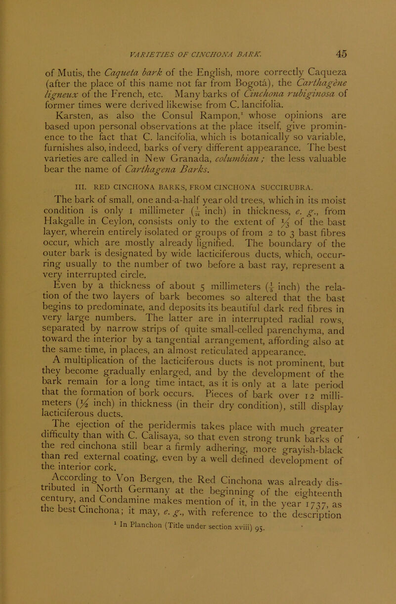 of Mutis, the Caqiteta bark of the English, more correctly Caqueza (after the place of this name not far from Bogota), the Carthagene ligneux of the French, etc. Manybarks of Cinchona rubiginosa of formen times were derivecl likewise from C. lancifolia. Karsten, as also the Consul Rampon,1 whose opinions are based upon personal observations at the place itself, give promin- ence to the fact that C. lancifolia, which is botanically so variable, furnishes also, indeed, barks of very different appearance. The best varieties are called in New Granada, columbian ; the less valuable bear the name of Carthagena Barks. III. RED CINCHONA BARKS, FROM CINCHONA SUCCIRUBRA. The bark of small, one and-a-half year old trees, which in its moist condition is only i millimeter inch) in thickness, e. g., from Hakgalle in Ceylon, consists only to the extent of ^3 of the bast layer, wherein entirely isolated or groups of from 2 to 3 bast fibres occur, which are mostly already lignified. The boundary of the outer bark is designated by wide lacticiferous ducts, which, occur- ring usually to the number of two before a bast ray, represent a very interrupted circle. Even by a thickness of about 5 millimeters (} inch) the rela- tion of the two layers of bark becomes so altered that the bast begins to predominate, and deposits its beautiful dark red fibres in very large numbers. The latter are in interrupted radial rows, separated by narrow Strips of quite small-celled parenchyma, and toward the interior by a tangential arrangement, affording also at the same time, in places, an almost reticulated appearance. A multiplication of the lacticiferous ducts is not prominent, but they become gradually enlarged, and by the development of the bark remain tor a long time mtact, as lt is only at a late period that the foimation of bork occurs. Pieces of bark over 12 milli- meters {y2 inch) in thickness (in their dry condition), still display lacticiferous ducts. rrl 16i e-Tctlon ,°f peridermis takes place with much greater clirficulty than with C. Calisaya, so that even strong trunk barks of the red cinchona still bear a firmly adhering, more grayish-black than red. external coating, even by a well defined development of the interior cork. According to Von Bergen, the Red Cinchona was already dis- tributed in North Germany at the beginning of the eighteenth Century, and Condamine makes mention of it, in the year 1737 as the best Cinchona; it may, e. g.t with reference to the description 1 In Planchon (Title under section xviii) 95.