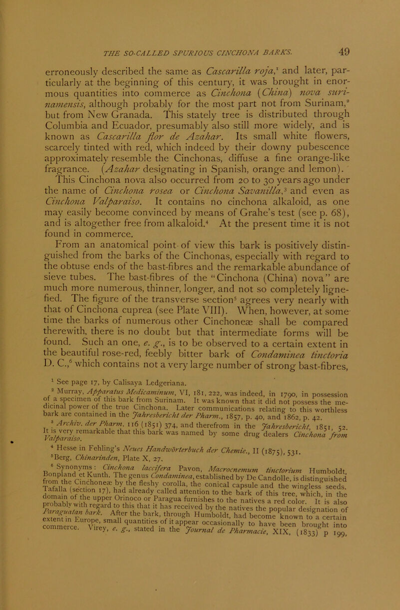 erroneously clescribed the same as Cascarilla roja,x and later, par- ticularly at the beginning of this Century, it was brought in enor- mous quantities into commerce as Cinchona (China) nova sun- namensis, although probably for the most part not from Surinam,2 but from New Granada. This stately tree is distributed through Columbia and Ecuador, presumably also still more widely, and is known as Cascarilla flor de Azahar. Its small white flowers, scarcely tinted with red, which indeecl by their downy pubescence approximately resemble the Cinchonas, diffuse a fine orange-like fragrance. (.Azahar designating in Spanish, orange and lemon). This Cinchona nova also occurred from 20 to 30 years ago under the name of Cinchona rosea or Cinchona Savanilla,3 and even as Cinchona Valparaiso. It contains no cinchona alkaloid, as one may easily become convinced by means of Grahe’s test (see p. 68), and is altogether free from alkaloid.4 At the present time it is not found in commerce. From an anatomical point of view this bark is positively distin- guished from the barks of the Cinchonas, especially with regarcl to the obtuse ends of the bast-fibres and the remarkable abundance of sieve tubes. The bast-fibres of the “Cinchona (China) nova” are much more numerous, thinner, longer, and not so completely ligne- fied. The figure of the transverse section5 agrees very nearly with that of Cinchona cuprea (see Plate VIII). When, however, at some time the barks of numerous other Cinchoneae shall be compared therewith, there is no doubt but that intermediate forms will be found. Such an one, e. g., is to be observed to a certain extent in the beautiful rose-red, feebly bitter bark of Condaminea tinctoida D. C.,6 which contains not a very large number of strong bast-fibres, 1 Sec page 17, by Calisaya Ledgeriana. 2 Muiray, Apparatus Medicaminum, VI, 181,222, was indeed, in 1790, in possession of a specimen of this bark from Surinam. It was known that it did not possess the me- dicinal power of the true Cinchona. Later Communications relating to this worthless bark are contained in the Jahresbericht der Pharm., 1857, p. 40, and 1862, p. 42. * Archiv, der Pharm 116(1851)374, and therefrom in the Jahresbericht, 1851 c2 Va/pZailo 1 S bai’k n‘imed by S°me druS dealers Cinchona from 4 Hesse in Fehling’s Neues Handwörterbuch der Chemie., II (1875) tu. 5Berg, Chinarinden, Plate X, 27. Cinchona laccifera Pavon, Macrocnemum tinctorium Humboldt, Bon plan d et Kunth. The genus Condaminea, establisned by De Candolle is distineuished Cinchoneae by the fleshy corolla, the conical capsule and the’wingless° seeds Tafalla (section 17), had already callcd attention to the bark of this tree which in the domain of the upper Orinoco or Paragua furnishes to the natives a red coior It’is also probably with1 regard to this that it has received by the natives the populär designation of «SfS oZeJVr. ,h',vrk' PrSh Humbo,dt’ h”d bocomPe Cw„ .7a «rtain ! 7 I aPP^ar occ7asionally to have been brought into commerce. \ irey, e. g., stated in the Journal de Pharmacie, XIX, (1833)% 199,