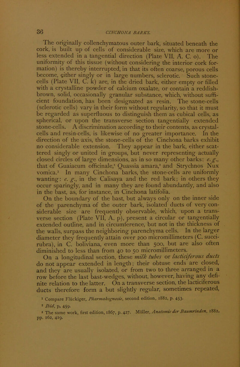 The originally collenchymatous outer bark, situated beneath the cork, is built up of cells of considerable size, which are more or less extended in a tangential direction (Plate VII, A. C. o). The uniformity of this tissue (without considering the interior cork for- mation) is thereby interrupted, in that its often coarse, porous cells become, either singly or in large numbers, sclerotic. Such stone- cells (Plate VII, C. k) are, in the dried bark, either empty or filled with a crystalline powcler of calcium oxalate, or contain a reddish- brown, solid, occasionally granulär substance, which, without suffi- cient foundation, has been designated as resin. The stone-cells (sclerotic cells) vary in their form without regularity, so that it must be regarded as superfluous to distinguish them as cubical cells, as spherical, or upon the transverse section tangentially extended stone-cells. A discrimination according to their contents, as crystal- cells and resin-cells, is likewise of no greater importance. In the direction of the axis, the stone-cells of the Cinchona barks exhibit no considerable extension. Tliey appear in the bark, either scat- tered singly or united in groups, but never representing actually closed circles of large dimensions, as in so many other barks: e.g., that of Guaiacum officinale,1 Quassia amara,2 and Strychnos Nux vomica.3 In many Cinchona barks, the stone-cells are uniformly wanting: e.g., in the Calisaya and the red bark; in others they occur sparingly, and in many they are found abundantly, and also in the bast, as, for instance, in Cinchona latifolia. On the boundary of the bast, but always only on the inner side of the parenchyma of the outer bark, isolated ducts of very con- siderable size are frequently observable, which, upon a trans- verse section (Plate VII, A. p), present a circular or tangentially extended outline, and in circumference, but not in the thickness of the walls, surpass the neighboring parenchyma cells. In the larger diameter they frequently attain over 200 micromillimeters (C. succi- rubra), in C. boliviana, even more than 500, but are also often diminished to less than from 40 to 50 micromillimeters. On a longitudinal section, these milk tubes or lactuiferous ducts do not appear extended in length; their obtuse ends are closed, and they are usually isolated, or from two to three arranged in a row before the last bast-wedges, without, however, having any defi- nite relation to the latter. On a transverse section, the lacticiferous ducts therefore form a but slightly regulär, sometimes repeated, 1 Compare Flückiger, Pharmakognosie, second edition, 1882, p. 453. 2 Ibid, p. 459. 3 The same work, first edition, 1867, p. 427- Möller, Anatomie der Baumrinden, 1882, pp. 162, 419.