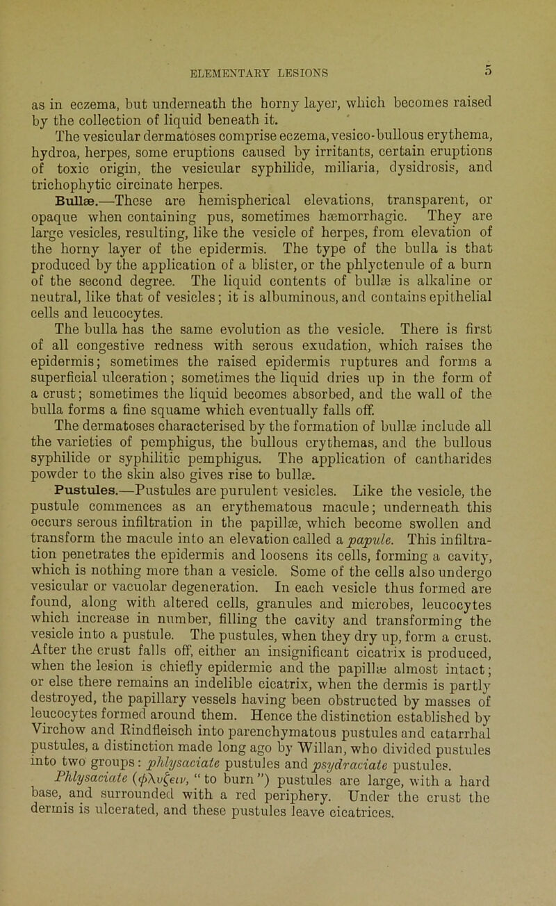 as in eczema, but underneath the horny layer, wliich becomes raised by the collection of liquid beneath it. The vesicular dermatoses comprise eczema, vesico-huilons erythema, hydroa, herpes, some éruptions caused by irritants, certain éruptions of toxic origin, the vesicular syphilide, miliaria, dysidrosis, and trichophytic circinate herpes. Bullæ.—These are hemispherical élévations, transparent, or opaque when containing pus, sometimes hæmorrhagic. They are large vesicles, resulting, like the vesicle of herpes, from élévation of the horny layer of the epidermis. The type of the bulla is that produced by the application of a blister, or the phlyctenule of a burn of the second degree. The liquid contents of bullæ is alkaline or neutral, like that of vesicles; it is albuminous,and containsépithélial cells and leucocytes. The bulla has the same évolution as the vesicle. There is first of ail congestive redness with serons exudation, which raises the epidermis; sometimes the raised epidermis ruptures and forms a superficial ulcération ; sometimes the liquid dries up in the form of a crust ; sometimes the liquid becomes absorbed, and the wall of the huila forms a fine squame which eventually falls off. The dermatoses eharacterised hy the formation of bullæ include ail the varieties of pemphigus, the bullous crythemas, and the bullous syphilide or syphilitic pemphigus. The application of cantharides powder to the skin also gives rise to hullæ. Pustules.—Pustules are purulent vesicles. Like the vesicle, the pustule commences as an erythematous macule; underneath this occurs serous infiltration in the papillæ, which become swollen and transform the macule into an élévation called b,papule. This infiltra- tion pénétrâtes the epidermis and loosens its cells, forming a cavity, which is nothing more than a vesicle. Some of the cells also undergo vesicular or vacuolar degeneration. In each vesicle thus formed are found, along with altered cells, granules and microbes, leucocytes which increase in nuraber, filling the cavity and transforming the vesicle into a pustule. The pustules, when they dry up, form a crust. After the crust falls off, either an insignificant cicatrix is produced, when the lésion is chiefly epidermic and the papillæ almost intact; or else there remains an indelihle cicatrix, when the dermis is partly destroyed, the papillary vessels having been obstructed by masses of leucocytes formed around them. Hence the distinction established by Virchow and Eindfleisch into parenchymatous pustules and catarrhal pustules, a distinction made long ago by Willan, who divided pustules into two groups : phlysaciate pustules and psydraciate pustules. Phlysaciate “ to burn”) pustules are large, with a hard base, and surrounded with a red periphery. Under the crust the dermis is ulcerated, and these pustules leave cicatrices.