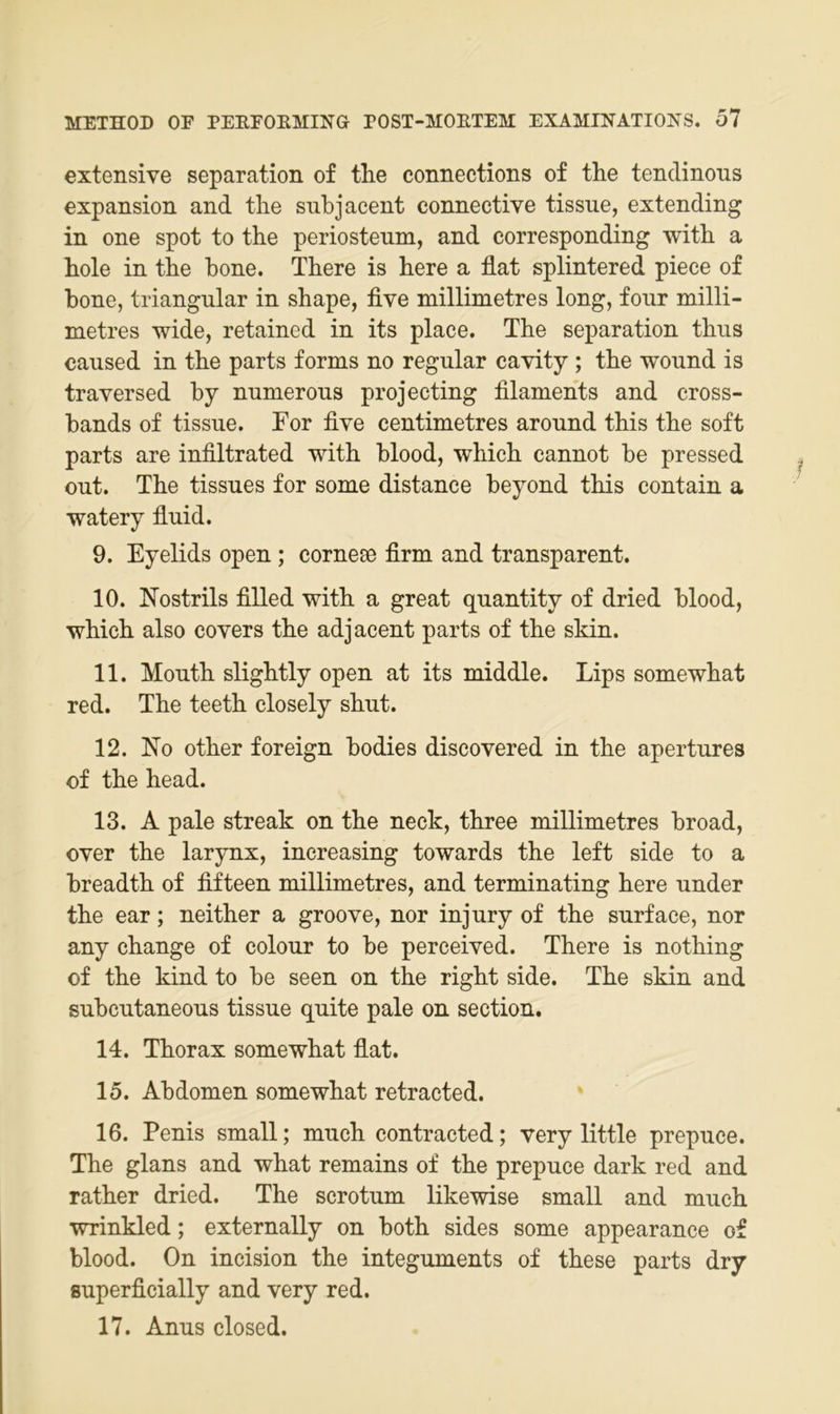 extensive Separation of the Connections of the tenciinous expansion and the snbjacent connective tissue, extending in one spot to the periosteum, and corresponding with a hole in the hone. There is here a flat splintered piece of hone, triangulär in shape, five millimetres long, fonr milli- metres wide, retained in its place. The Separation thus caused in the parts forms no regulär cavity ; the wound is traversed hy numerous projecting tilaniehts and cross- hands of tissue. For five centimetres around this the soft parts are infiltrated with hlood, which cannot he pressed out. The tissues for some distance heyond this contain a watery fiuid. 9. Eyelids open; cornese firm and transparent. 10. hTostrils filled with a great quantity of dried hlood, which also covers the adjacent parts of the skin. 11. Mouth slightly open at its middle. Lips somewhat red. The teeth closely shut. 12. No other foreign hodies discovered in the apertures of the head. 13. A pale streak on the neck, three millimetres hroad, over the larynx, increasing towards the left side to a hreadth of fifteen millimetres, and terminating here under the ear; neither a groove, nor injury of the surface, nor any change of colour to he perceived. There is nothing of the kind to he seen on the right side. The skin and suhcutaneous tissue quite pale on section. 14. Thorax somewhat fiat. 15. Abdomen somewhat retracted. 16. Penis small; much contracted; very little prepuce. The glans and what remains of the prepuce dark red and rather dried. The scrotum likewise small and much wrinkled; externally on hoth sides some appearance of hlood. On ineision the Integuments of these parts dry superficially and very red. 17. Anus closed.