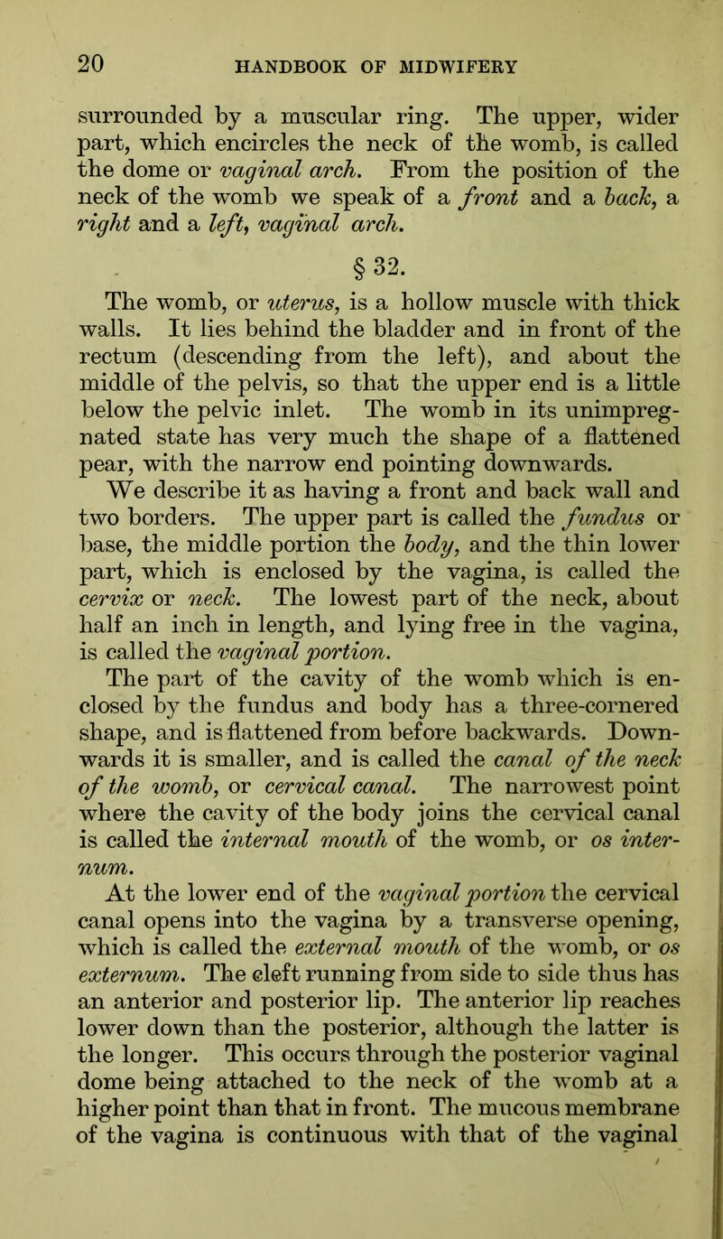 surrounded by a muscular ring. The upper, wider part, which encircles the neck of the womb, is called the dome or vaginal arch. From the position of the neck of the womb we speak of a front and a hack, a right and a left^ vaginal arch. §32. The womb, or uterus, is a hollow muscle with thick walls. It lies behind the bladder and in front of the rectum (descending from the left), and about the middle of the pelvis, so that the upper end is a little below the pelvic inlet. The womb in its unimpreg- nated state has very much the shape of a flattened pear, with the narrow end pointing downwards. We describe it as having a front and back wall and two borders. The upper part is called the fundus or base, the middle portion the hody, and the thin lower part, which is enclosed by the vagina, is called the cervix or neck. The lowest part of the neck, about half an inch in length, and lying free in the vagina, is called the vaginal portion. The part of the cavity of the womb which is en- closed by the fundus and body has a three-cornered shape, and is flattened from before backwards. Down- wards it is smaller, and is called the canal of the neck of the womb, or cervical canal. The narrowest point where the cavity of the body joins the cervical canal is called the internal mouth of the womb, or os inter- num. At the lower end of the vaginal portion the cervical canal opens into the vagina by a transverse opening, which is called the external mouth of the womb, or os externum. The cleft running from side to side thus has an anterior and posterior lip. The anterior lip reaches lower down than the posterior, although the latter is the longer. This occurs through the posterior vaginal dome being attached to the neck of the womb at a higher point than that in front. The mucous membrane of the vagina is continuous with that of the vaginal