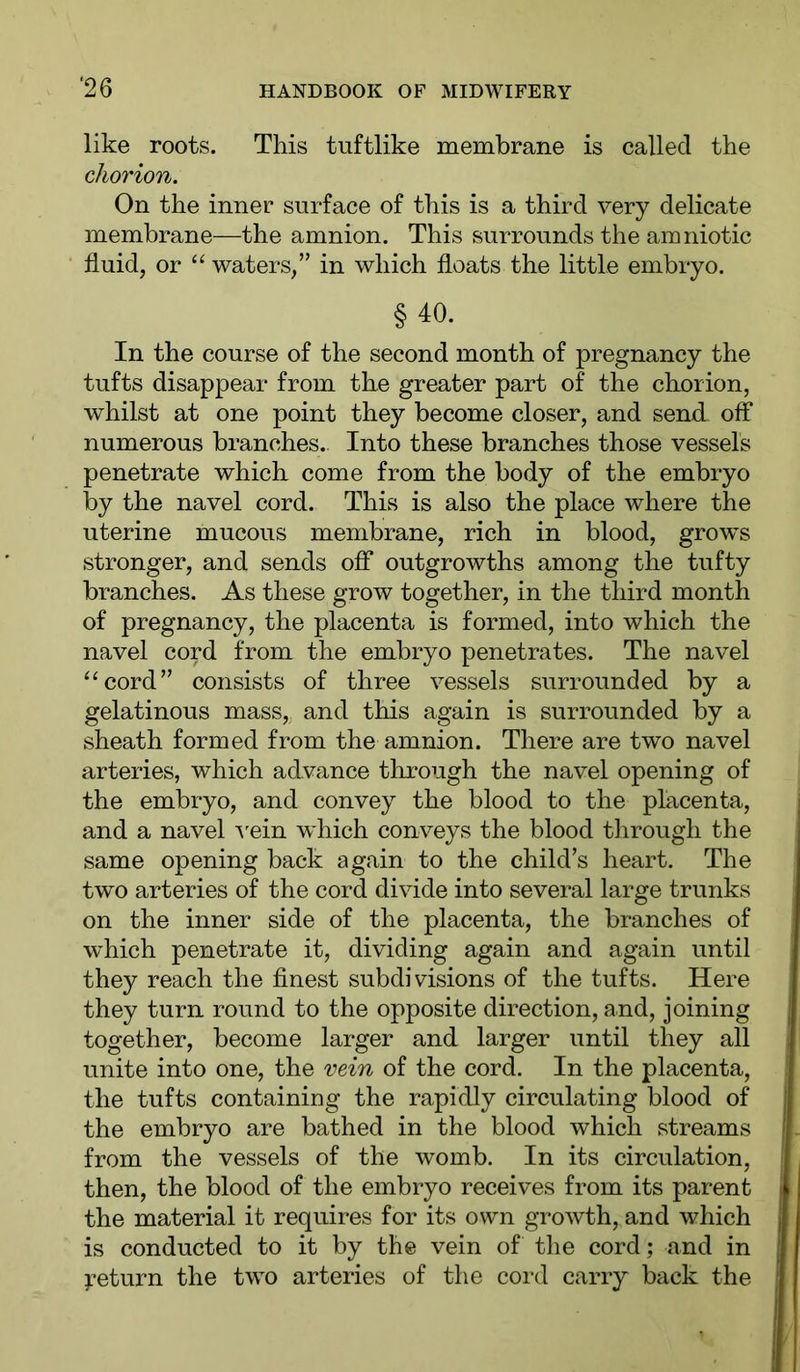 like roots. This tuftlike membrane is called the chorion. On the inner surface of this is a third very delicate membrane—the amnion. This surrounds the amniotic fluid, or “ waters/’ in which floats the little embryo. §40. In the course of the second month of pregnancy the tufts disappear from the greater part of the chorion, whilst at one point they become closer, and send off numerous branches. Into these branches those vessels penetrate which come from the body of the embryo by the navel cord. This is also the place where the uterine mucous membrane, rich in blood, grows stronger, and sends off outgrowths among the tufty branches. As these grow together, in the third month of pregnancy, the placenta is formed, into which the navel cord from the embryo penetrates. The navel ‘^cord” consists of three vessels surrounded by a gelatinous mass, and this again is surrounded by a sheath formed from the amnion. There are two navel arteries, which advance through the navel opening of the embryo, and convey the blood to the placenta, and a navel ’^'ein which conveys the blood tiirough the same opening back again to the child’s heart. The two arteries of the cord divide into several large trunks on the inner side of the placenta, the branches of which penetrate it, dividing again and again until they reach the finest subdivisions of the tufts. Here they turn round to the opposite direction, and, joining together, become larger and larger until they all unite into one, the vein of the cord. In the placenta, the tufts containing the rapidly circulating blood of the embryo are bathed in the blood which streams from the vessels of the womb. In its circulation, then, the blood of the embryo receives from its parent the material it requires for its own growth, and which is conducted to it by the vein of the cord; and in j^eturn the two arteries of the cord carry back the