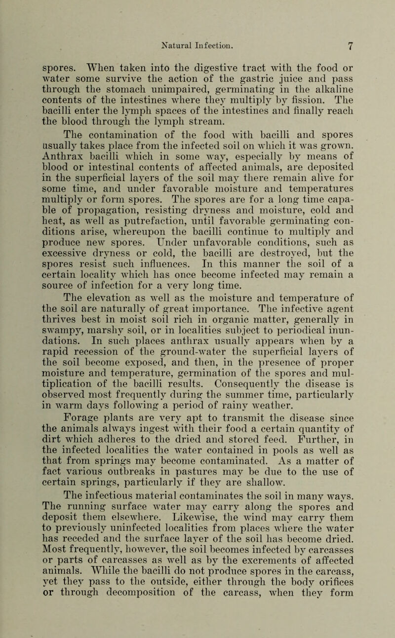 spores. When taken into the digestive tract with the food or water some survive the action of the gastric juice and pass through the stomach unimpaired, genninating in the alkaline contents of the intestines where they multiply by fission. The bacilli enter the lymph spaces of the intestines and finally reach the blood through the lymph stream. The contamination of the food with bacilli and spores usually takes place from the infected soil on which it was grown. Anthrax bacilli which in some way, especially by means of blood or intestinal contents of affected animals, are deposited in the superficial layers of the soil may there remain alive for some time, and under favorable moisture and temperatures multiply or form spores. The spores are for a long time capa- ble of propagation, resisting dryness and moisture, cold and heat, as well as putrefaction, until favorable germinating con- ditions arise, whereupon the bacilli continue to multiply and produce new spores. Under unfavorable conditions, such as excessive dryness or cold, the bacilli are destroyed, but the spores resist such influences. In this manner the soil of a certain locality which has once become infected may remain a source of infection for a very long time. The elevation as well as the moisture and temperature of the soil are naturally of great importance. The infective agent thrives best in moist soil rich in organic matter, generally in swampy, marshy soil, or in localities subject to periodical inun- dations. In such places anthrax usually appears when by a rapid recession of the ground-water the superficial layers of the soil become exposed, and then, in the presence of proper moisture and temperature, germination of the spores and mul- tiplication of the bacilli results. Consequently the disease is observed most frequently during the summer time, particularly in warm days following a period of rainy weather. Forage plants are very apt to transmit the disease since the animals always ingest with their food a certain quantity of dirt which adheres to the dried and stored feed. Further, in the infected localities the water contained in pools as well as that from springs may become contaminated. As a matter of fact various outbreaks in pastures may be due to the use of certain springs, particularly if they are shallow. The infectious material contaminates the soil in many ways. The running surface water may carry along the spores and deposit them elsewhere. Likewise, the wind may carry them to previously uninfected localities from places where the water has receded and the surface layer of the soil has become dried. Most frequently, however, the soil becomes infected by carcasses or parts of carcasses as well as by the excrements of atfected animals. While the bacilli do not produce spores in the carcass, yet they pass to the outside, either through the body orifices or through decomposition of the carcass, when they form