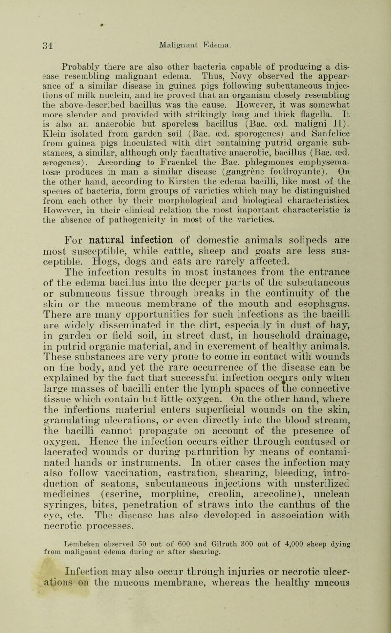 Probably there are also other bacteria capable of producing a dis- ease resembling malignant edema. Thus, Novy observed the appear- ance of a similar disease in guinea pigs following subcutaneous injec- tions of milk nuclein, and he proved that an organism closely resembling the above-descril)ed bacillus was the cause. However, it was somewhat more slender and provided with strikingly long and thick flagella. It is also an anaerobic but sporeless bacillus (Bac. ced. maligni II). Klein isolated from garden soil (Bac. md. sporogenes) and iSanfelice from guinea pigs inoculated with dirt containing putrid organic sub- stances, a similar, although only facultative anaerobic, bacillus (Bac. ced. airogenes). According to Fraenkel the Bac. phlegmones emphysema- tosas produces in man a similar disease (gangrene fouUroyante). On the other hand, according to Kirsten the edema bacilli, like most of the species of bacteria, form groups of varieties which maj be distinguished from each other by their morphological and biological characteristics. However, in their clinical relation the most important characteristic is the absence of pathogenicity in most of the varieties. For natural infection of domestic animals solipeds are most siisceptil)le, while cattle, sheep and goats are less sus- ceptible. Hogs, dogs and cats are rarely affected. The infection results in most instances from the entrance of the edema bacillus into the deeper parts of the subcutaneous or submucous tissue through breaks in the continuity of the skin or the mucous membrane of the mouth and esophagus. There are many opportunities for such infections as the bacilli are widely disseminated in the dirt, especially in dust of hay, in garden or field soil, in street dust, in household drainage, in putrid organic material, and in excrement of healthy animals. These substances are very prone to come in contact with wounds on the body, and yet the rare occurrence of the disease can he explained by the fact that successful infection occurs only when large masses of bacilli enter the lymph spaces of the connective tissue which contain hut little oxygen. On the other hand, Avhere the infectious material enters superficial wounds on the skin, granulating ulcerations, or even directly into the blood stream, the bacilli cannot propagate on account of the presence of oxygen. Hence the infection occurs either through contused or lacerated wounds or during parturition by means of contami- nated hands or instruments. In other cases the infection may also follow vaccination, castration, shearing, bleeding, intro- duction of seatons, subcutaneous injections with unsterilized medicines (eserine, morphine, creolin, arecoline), unclean syringes, bites, penetration of straws into the canthus of the eye, etc. The disease has also developed in association with necrotic processes. Lembeken observed .50 out of 600 and Gilruth 300 out of 4,000 sheep dying from malignant edema during or after shearing. Infection may also occur through injuries or necrotic ulcer- ations on the mucous membrane, whereas the healthy mucous