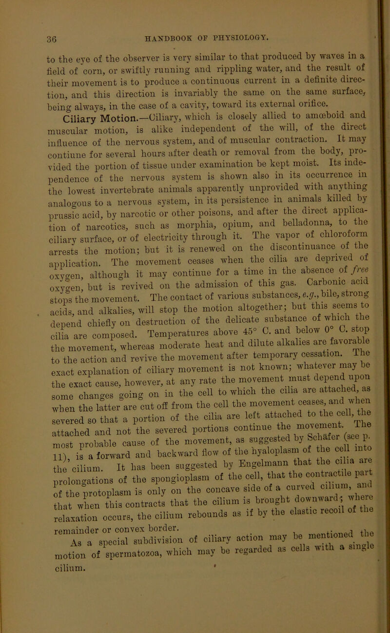 to the eye of the observer is very similar to that produced by waves in a field of corn, or swiftly running and rippling water, and the result of their movement is to produce a continuous current in a definite direc- tion, and this direction is invariably the same on the same surface, being always, in the case of a cavity, toward its external orifice. Ciliary Motion.—Ciliary, which is closely allied to amoeboid and muscular motion, is alike independent of the will, of the direct influence of the nervous system, and of muscular contraction. It may contiune for several hours after death or removal from the body, pi o- vided the portion of tissue under examination be kept moist. Its inde- pendence of the nervous system is shown also in its occurrence, in the lowest invertebrate animals apparently unprovided with anything analogous to a nervous system, in its persistence in animals killed, by prussic acid, by narcotic or other poisons,, and after the direct applica- tion of narcotics, such as morphia, opium, and belladonna, to the ciliary surface, or of electricity through it. The vapor of chloroform arrests the motion; but it is renewed on the discontinuance, of the application. The movement ceases when the cilia are deprived ot oxygen, although it may continue for a time in the absence of free oxygen, but is revived on the admission of this gas. Carbonic acid stops the movement. The contact of various substances, e.g., bile, strong acids, and alkalies, will stop the motion altogether; but this seems to depend chiefly on destruction of the delicate substance of which ie cilia are composed. Temperatures above 45° C. and below 0° C. stop the movement, whereas moderate heat and dilute alkalies are. favorable to the action and revive the movement after temporary cessation. e exact explanation of ciliary movement is not known; whatever may e the exact cause, however, at any rate the movement, must depend up some changes going on in the cell to which the cilia are “ when the latter are cut off from the cell the movement ceases and when severed so that a portion of the cilia are left attached to the cell, t e attached and not the severed portions continue the ^v^ent most probable cause of the movement, as suggested by Schafer (see p. U) is a forward and backward flow of the hyaloplasm of he cell into the cilium. It has been suggested by Engelmann that the ciha ar prolongations o£ the spongioplasm of the cell, that the contract,le part of the protoplasm is only on the concave side of a carved chan, and that when this contracts that the cilia,n is brought downward, where relaxation occurs, the cilium rebounds os if by the elast.o recorl of the of ciliary action ,nay ho mentioned the nrottn of'spermatosoa, which may he regarded as oe.ls w.th a s.ngle cilium.