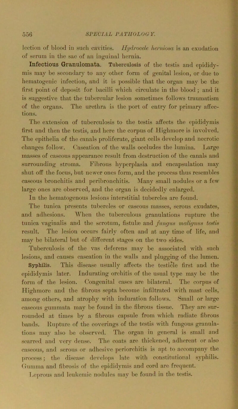 lection of blood iu such cavities. ILjdrooele hemiom is an exiidation of serum in the sac of au inguinal hernia. Infectious Granulomata. Tuberculosis of the testis and epididy- mis may be secondary to any otlier form of genital lesion, or due to hematogenic infection, and it is possible that the organ may be the first point of deposit for bacilli which circulate in the blood ; and it is suggestive that the tubcrcular lesion sometimes follows traumatism of the Organs. The urethra is the port of entry for primary affec- tions. The extcnsion of tuberculosis to the testis affects the epididymis first and theu the testis, and höre the corpus of Highmore is involved. The epithelia of the canals proliferate, giaut cells develop and necrotic chauges follow. C^aseation of the walls occludes the lumina. Large masses of caseous appearance result from destructiou of the canals and surrounding stroma. Fibrous hypcrplasia and encapsulatiou may shut off the focus, but newcr ones form, and the process thus reseml)les caseous bronchitis and peribronchitis. Many small nodules or a few large ones are observed, and the organ is decidedly enlarged. In the hematogeuous lesions interstitial tubercles are found. The tunica presents tubercles or caseous masses, serous exudates, and adhesions. AVhen the tuberculous granulatious rupture the tunica vaginalis and the scrotum, fistuhe and fungm malignm feMl't result. The lesion occurs fairly often and at any time of life, and may be bilateral but of different stages on the two sides. Tuberculosis of the vas deferens may be associated with such lesions, and causes caseation in the walls and plugging of the lumen. Syphilis. This disease usually affects the testicle first and the ej)ididymis later. Indurating orchitis of the usual type may be the form of the lesion. Congenital cascs are bilateral. The corpus of Ilighmore and the fibrous septa beconie infiltrated Avith mast cells, among others, and atrophy with Induration follows. Small or large caseous gummata may be found in the fibrous tissue. They are sur- rounded at times by a fil)rous capsule from which radiate fibrous bands. Rupture of the coverings of the testis with fungous granula- tions may also be observed. The organ in general is small and scarred and very dense. The coats are thicken<Kl, adherent or also caseous, and serous or adhesive periorchitis is apt to accompany the process; the disease develojis late with constitutional Syphilis, (riunma and fibrosis of tln; epididymis and cord are frequent. Leprous and leukcmic nodules may be found in the testis.