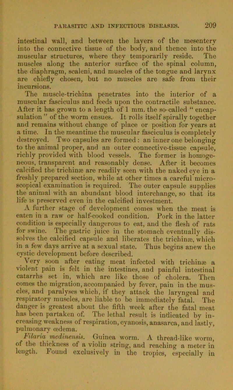 intestinal Avall, and between the layers of the raesenterv into the connective tissue of the body, and thence into the muscular structures, where they temporarily reside. The niuscles along the anterior surface of the spinal column, the diaphragm, scaleni, and muscles of the tongue and larynx are chiefly diesen, but no nmsdes are safe from their incursions. The muscle-trichina penetrates into the interior of a muscular fasciculus and feeds upon the contractile substance. After it bas grown to a length of 1 mm. the so-called “ encap- sulation ” of the worm ensues. It rolls itself spirally together and remains without change of jilace or position for years at a time. In the meantime the muscular fasciculus is corapletely destroyed. Two capsules are forraed : an inner one belonging to the animal proper, and an outer connective-tissue capsule, richly provided with blood vessels. The former is homoge- neous, transparent and reasonably dense. After it becomes calcified the trichinie are readily seen with the naked eye in a freshly prepared section, while at other times a careful micro- scopical examination is required. The outer capsule supplies the animal with an abundant blood interchange, so that its life IS preserved even in the calcified investment. A further stage of development comes when the meat is eaten in a raw or half-cooked condition. Pork in the latter condition is especially dangerous to eat, and the flesh of rats for swine. The gastric juice in the stomach eventually dis- solves the calcified capsule and liheratcs the trichinie, which in a few days arrive at a sexual state. Thus begins anew the cystic development before descrihed. Very soon^ after eating meat infected with trichinse a violent pain is feit in the intestines, and painful intestinal catarrhs set in, which are like those of cholera. Then comes the migration,accompanied by fever, pain in the mus- cles, and paralyses which, if they attack the laryngeal and respiratory muscles, are liahle to be immediately fatal. The danger is greatest about the fifth week after the fatal meat has heen partaken of. The lethal result is indicated hy in- creasing weakne.«s of respiration, cyanosis, anasarca, and lästly, pulmonary oedema. f ilaria medinensis. Guinea worm. A thread-like worm, of the thickness of a violin striug, and reaching a meter in length. lound exclusively in the tropics, especially in