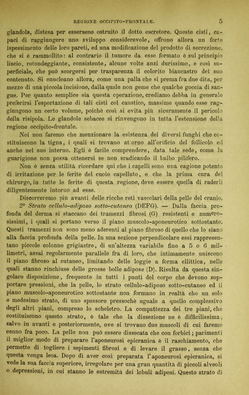 glandola, distesa per essersene ostruito il dotto escretore. Queste cisti, ca- paci di raggiungere uno sviluppo considerevole, offrono allora un forte ispessimento delle loro pareti, ed una modificazione del prodotto di secrezione, che si è rammollito : al contrario il tumore da esse formato è sul principio liscio, rotondeggiante, consistente, alcune volte anzi durissimo, e così su- perficiale, che può scorgersi per trasparenza il colorito biancastro del suo contenuto. Si enucleano allora, come una palla che si prema fra due dita, per mezzo di una piccola incisione, dalla quale non geme che qualche goccia di san- gue. Per quanto semplice sia questa operazione, crediamo debba in generale preferirsi l’esportazione di tali cisti col caustico, massime quando esse rag- giungono un certo volume, poiché così si evita più sicuramente il pericolo della risipola. Le glandole sebacee si rinvengono in tutta l’estensione della regione occipito-frontale. Noi non faremo che menzionare la esistenza dei diversi funghi che co- stituiscono la tigna, i quali si trovano attorno all’orificio del follicolo ed anche nel suo interno. Egli è facile comprendere, data tale sede, come la guarigione non possa ottenersi se non sradicando il bulbo pilifero. Non è senza utilità ricordare qui che i capelli sono una cagione potente di irritazione per le ferite del cuoio capelluto, e che la prima cura del chirurgo, in tutte le ferite di questa regione, deve essere quella di raderli diligentemente intorno ad esse. Discorreremo più avanti delle ricche reti vascolari della pelle del cranio. 2^’ Strato celluìo-adìposo sotto-cutaneo (DEFG). — Dalla faccia pro- fonda del derma si staccano dei tramezzi fibrosi (G) resistenti e numero- sissimi, i quali si portano verso il piano muscolo-aponeurotico sottostante. Questi tramezzi non sono meno aderenti al piano fibroso di quello che lo siano alla faccia profonda della pelle. In una sezione perpendicolare essi rappresen- tano piccole colonne grigiastre, di un’altezza variabile fino a 5 o 6 mil- limetri, assai regolarmente parallele fra di loro, che intimamente uniscono il piano fibroso al cutaneo, limitando delle loggie a forma ellittica, nelle quali stanno rinchiuse delle grosse bolle adipose (D). Risulta da questa sin- golare disposizione, frequente in tutti i punti del corpo che devono sop- portare pressioni, che la pelle, lo strato cellulo-adiposo sotto-cutaneo ed il piano muscolo-aponeurotico sottostante non formano in realtà che un solo e medesimo strato, di uno spessore pressoché uguale a quello complessivo degli altri piani, compreso lo scheletro. La compattezza dei tre piani, che costituiscono questo strato, é tale che la dissezione ne é difficilissima, salvo in avanti e posteriormente, ove si trovano due muscoli di cui faremo cenno fra poco. La pelle non può essere dissecata che con forbici ; parimenti il miglior modo di preparare l’aponeurosi epicranica é il raschiamento, che permette di togliere i sepimenti fibrosi e di levare il grasso, senza che questa venga lesa. Dopo di aver cosi preparata l’aponeurosi epicranica, si vede la sua faccia superiore, irregolare per una gran quantità di piccoli alveoli o depressioni, in cui stanno le estremità dei lobuli adiposi. Questo strato di