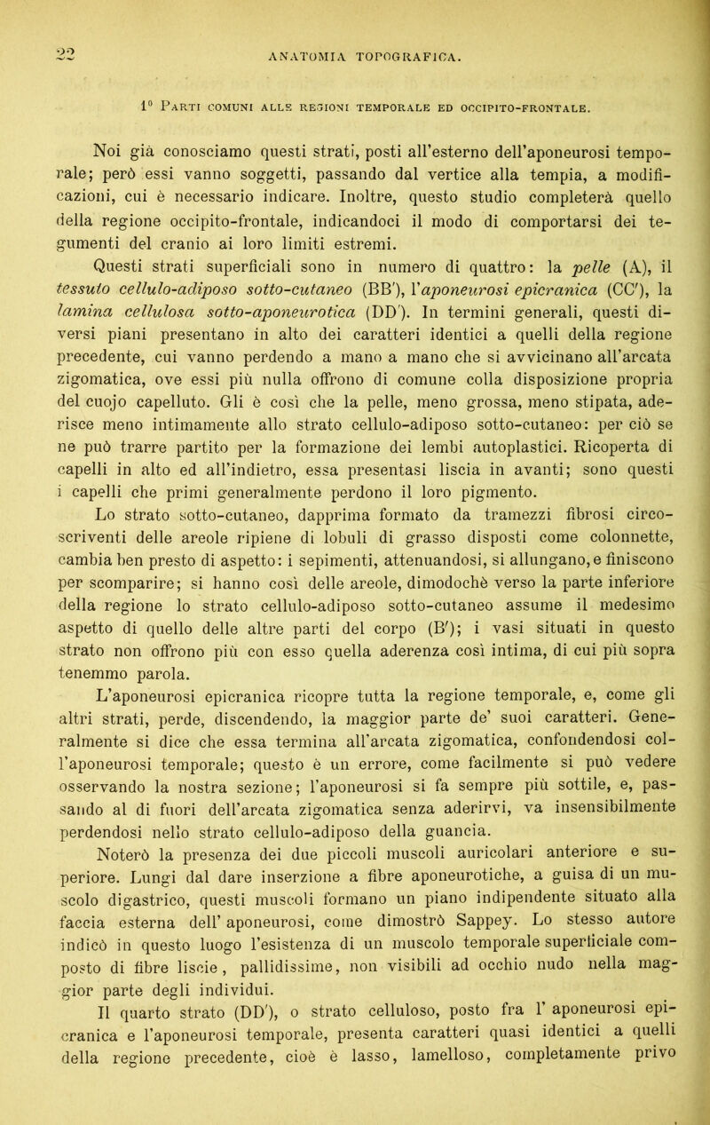 1” Parti comuni alle regioni temporale ed occipito-frontale. Noi già conosciamo questi strati, posti aH’esterno dell’aponeurosi tempo- rale; però essi vanno soggetti, passando dal vertice alla tempia, a modifi- cazioni, cui è necessario indicare. Inoltre, questo studio completerà quello della regione occipito-frontale, indicandoci il modo di comportarsi dei te- gumenti del cranio ai loro limiti estremi. Questi strati superficiali sono in numero di quattro: la pelle (A), il tessuto cellulo-adiposo sotto-cutaneo (BE'), Vaponeurosi epicranica (CC'), la lamina cellulosa sotto-aponeurotica (DD'). In termini generali, questi di- versi piani presentano in alto dei caratteri identici a quelli della regione precedente, cui vanno perdendo a mano a mano che si avvicinano all’arcata zigomatica, ove essi più nulla offrono di comune colla disposizione propria del cuojo capelluto. Gli è così che la pelle, meno grossa, meno stipata, ade- risce meno intimamente allo strato cellulo-adiposo sotto-cutaneo: per ciò se ne può trarre partito per la formazione dei lembi autoplastici. Ricoperta di capelli in alto ed all’indietro, essa presentasi liscia in avanti; sono questi i capelli che primi generalmente perdono il loro pigmento. Lo strato sotto-cutaneo, dapprima formato da tramezzi fibrosi circo- scriventi delle areole ripiene di lobuli di grasso disposti come colonnette, cambia ben presto di aspetto: i sopimenti, attenuandosi, si allungano,e finiscono per scomparire; si hanno così delle areole, dimodoché verso la parte inferiore della regione lo strato cellulo-adiposo sotto-cutaneo assume il medesimo aspetto di quello delle altre parti del corpo (B'); i vasi situati in questo strato non offrono più con esso quella aderenza così intima, di cui più sopra tenemmo parola. L’aponeurosi epicranica ricopre tutta la regione temporale, e, come gli altri strati, perde, discendendo, la maggior parte de’ suoi caratteri. Gene- ralmente si dice che essa termina all’arcata zigomatica, confondendosi col- l’aponeurosi temporale; questo è un errore, come facilmente si può vedere osservando la nostra sezione; l’aponeurosi si fa sempre più sottile, e, pas- sando al di fuori dell’arcata zigomatica senza aderirvi, va insensibilmente perdendosi nello strato cellulo-adiposo della guancia. Noterò la presenza dei due piccoli muscoli auricolari anteriore e su- periore. Lungi dal dare inserzione a fibre aponeurotiche, a guisa di un mu- scolo digastrico, questi muscoli formano un piano indipendente situato alla faccia esterna dell’ aponeurosi, come dimostrò Sappey. Lo stesso autore indicò in questo luogo l’esistenza di un muscolo temporale superficiale com- posto di fibre liscie, pallidissime, non visibili ad occhio nudo nella mag- gior parte degli individui. Il quarto strato (DD'), o strato celluloso, posto fra 1’ aponeurosi epi- cranica e l’aponeurosi temporale, presenta caratteri quasi identici a quelli della regione precedente, cioè è lasso, lamelloso, completamente privo