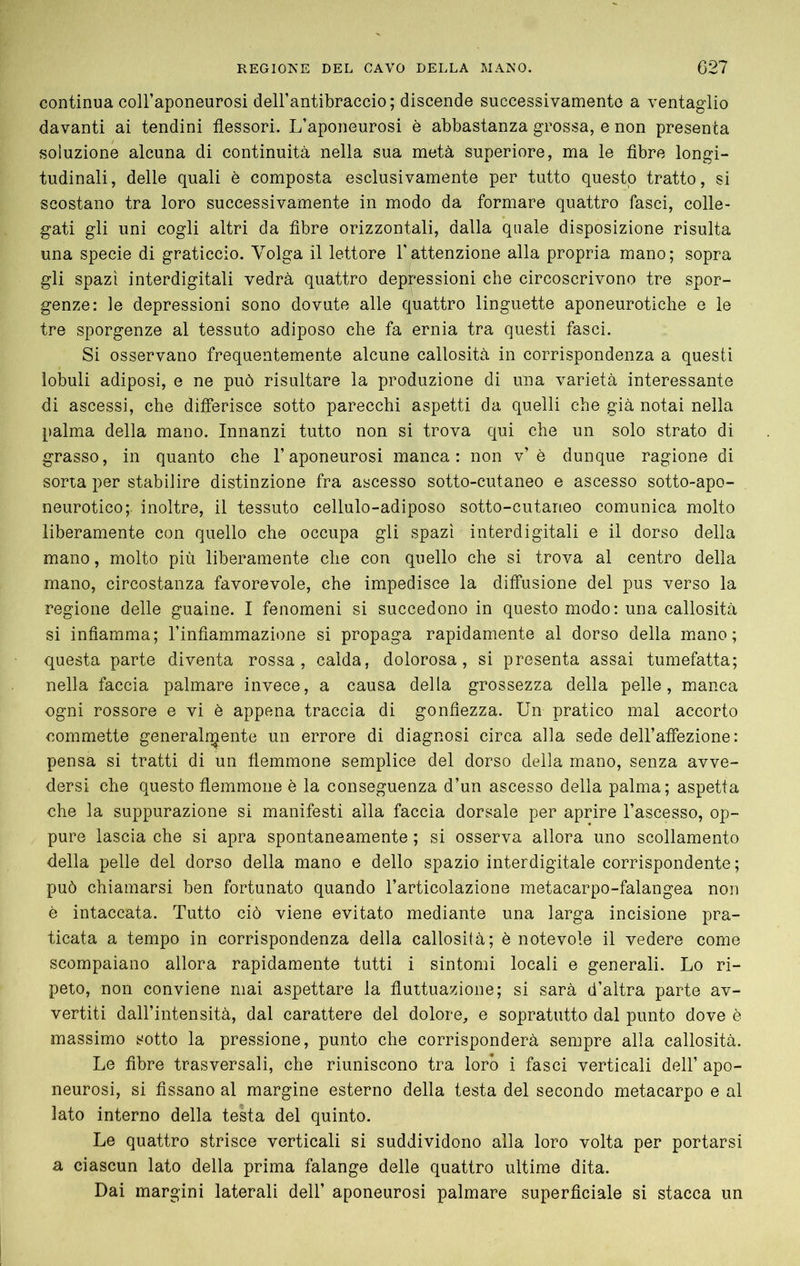 continua coll’aponeurosi dell’antibraccio; discende successivamente a ventaglio davanti ai tendini flessori. L’aponeurosi è abbastanza grossa, e non presenta soluzione alcuna di continuità nella sua metà superiore, ma le flbre longi- tudinali, delle quali è composta esclusivamente per tutto questo tratto, si scostano tra loro successivamente in modo da formare quattro fasci, colle- gati gli uni cogli altri da flbre orizzontali, dalla quale disposizione risulta una specie di graticcio. Volga il lettore Tattenzione alla propria mano; sopra gli spazi interdigitali vedrà quattro depressioni che circoscrivono tre spor- genze: le depressioni sono dovute alle quattro linguette aponeurotiche e le tre sporgenze al tessuto adiposo che fa ernia tra questi fasci. Si osservano frequentemente alcune callosità in corrispondenza a questi lobuli adiposi, e ne può risultare la produzione di una varietà interessante di ascessi, che differisce sotto parecchi aspetti da quelli che già notai nella palma della mano. Innanzi tutto non si trova qui che un solo strato di grasso, in quanto che l’aponeurosi manca: non v’è dunque ragione di sorta per stabilire distinzione fra ascesso sotto-cutaneo e ascesso sotto-apo- neurotico;. inoltre, il tessuto cellulo-adiposo sotto-cutaneo comunica molto liberamente con quello che occupa gli spazi interdigitali e il dorso della mano, molto più liberamente che con quello che si trova al centro della mano, circostanza favorevole, che impedisce la diffusione del pus verso la regione delle guaine. I fenomeni si succedono in questo modo: una callosità si infiamma; l’inflammazione si propaga rapidamente al dorso della mano; questa parte diventa rossa, calda, dolorosa, si presenta assai tumefatta; nella faccia palmare invece, a causa della grossezza della pelle, manca ogni rossore e vi è appena traccia di gonfiezza. Un pratico mal accorto commette generalmente un errore di diagnosi circa alla sede dell’affezione: pensa si tratti di un flemmone semplice del dorso della mano, senza avve- dersi che questo flemmone è la conseguenza d’un ascesso della palma; aspetta che la suppurazione si manifesti alla faccia dorsale per aprire l’ascesso, op- pure lascia che si apra spontaneamente ; si osserva allora uno scollamento della pelle del dorso della mano e dello spazio interdigitale corrispondente; può chiamarsi ben fortunato quando l’articolazione metacarpo-falangea non è intaccata. Tutto ciò viene evitato mediante una larga incisione pra- ticata a tempo in corrispondenza della callosità; è notevole il vedere come scompaiano allora rapidamente tutti i sintomi locali e generali. Lo ri- peto, non conviene mai aspettare la fluttuazione; si sarà d’altra parte av- vertiti dall’intensità, dal carattere del dolore, e sopratutto dal punto dove è massimo sotto la pressione, punto che corrisponderà sempre alla callosità. Le flbre trasversali, che riuniscono tra loro i fasci verticali dell’ apo- neurosi, si fissano al margine esterno della testa del secondo metacarpo e al lato interno della testa del quinto. Le quattro strisce verticali si suddividono alla loro volta per portarsi a ciascun lato della prima falange delle quattro ultime dita. Dai margini laterali dell’ aponeurosi palmare superficiale si stacca un