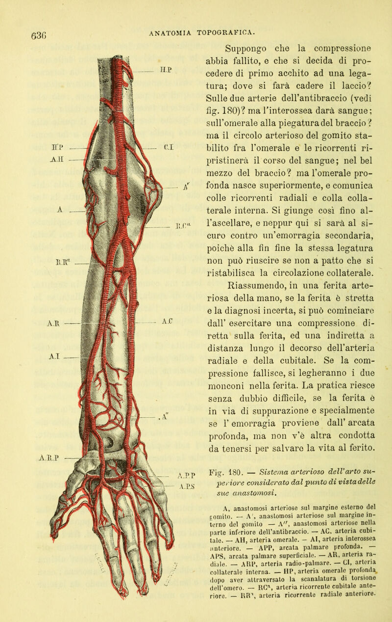 Suppongo che la compressione abbia fallito, e che si decida di pro- cedere di primo acchito ad una lega- tura; dove si farà cadere il laccio? Sulle due arterie dell’antibraccio (vedi fig. 180)? ma Tinterossea darà sangue; suH’omerale alla piegatura del braccio ? ma il circolo arterioso del gomito sta- bilito fra l’omerale e le ricorrenti ri- pristinerà il corso del sangue; nel bel mezzo del braccio? ma l’omerale pro- fonda nasce superiormente, e comunica colle ricorrenti radiali e colla colla- terale interna. Sì giunge così fino al- l’ascellare, e neppur qui si sarà al si- curo contro un’emorragia secondaria, poiché alla fin fine la stessa legatura non può riuscire se non a patto che si ristabilisca la circolazione collaterale. Riassumendo, in una ferita arte- riosa della mano, se la ferita è stretta e la diagnosi incerta, si può cominciare dall’ esercitare una compressione di- retta sulla ferita, ed una indiretta a distanza lungo il decorso dell’arteria radiale e della cubitale. Se la com- pressione fallisce, si legheranno i due monconi nella ferita. La pratica riesce senza dubbio difficile, se la ferita è in via di suppurazione e specialmente se r emorragia proviene dall’ arcata profonda, ma non v’è altra condotta da tenersi per salvare la vita al ferito. Fig. 180. — Sistema arterioso dell'arto su~ periore considerato dal punto di vista delle sue anastomosi. A, anastomosi arteriose sul margine esterno del gomito. — A', anastomosi arteriose sul margine in- terno del gomito — k, anastomosi arteriose nella parte inferiore delTantibraccio. — AG, arteria cubi- tale. — AH, arteria omerale. — AI, arteria interossea anteriore. — APP, arcata palmare profonda. — APS, arcata palmare superficiale. —AR, arteria ra- diale. — ARP, arteria radio-palmare. — CI, arteria collaterale interna. — HP, arteria omerale profonda, dopo aver attraversato la scanalatura di torsione dell’omero. — RC'^, arteria ricorrente cubitale ante- riore. — RR', arteria ricorrente radiale anteriore.