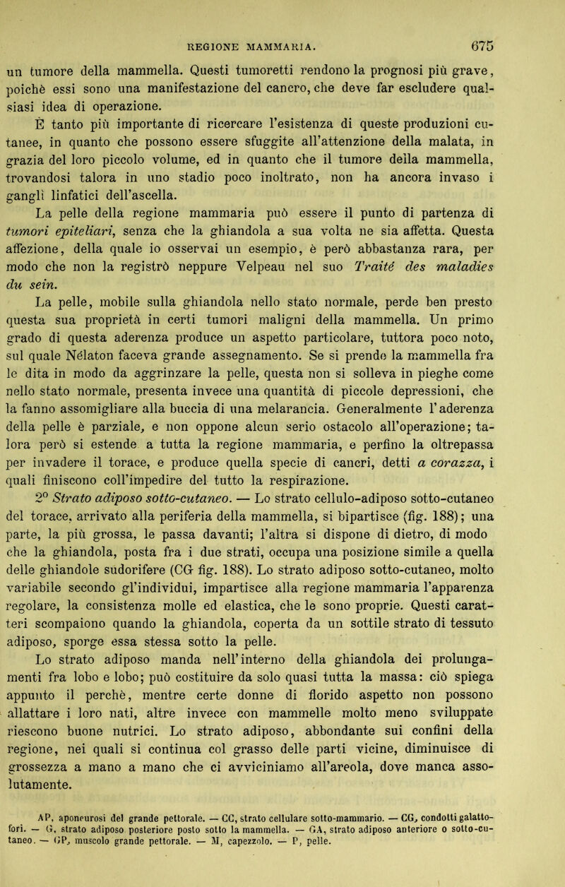 un tumore della mammella. Questi tumoretti rendono la prognosi più grave, poiché essi sono una manifestazione del cancro, che deve far escludere qual- siasi idea di operazione. È tanto più importante di ricercare l’esistenza di queste produzioni cu- tanee, in quanto che possono essere sfuggite all’attenzione della malata, in grazia del loro piccolo volume, ed in quanto che il tumore della mammella, trovandosi talora in uno stadio poco inoltrato, non ha ancora invaso i gangli linfatici dell’ascella. La pelle della regione mammaria può essere il punto di partenza di tumori epiteliari, senza che la ghiandola a sua volta ne sia affetta. Questa affezione, della quale io osservai un esempio, è però abbastanza rara, per modo che non la registrò neppure Velpeau nel suo Traité des maladies du sein. La pelle, mobile sulla ghiandola nello stato normale, perde ben presto questa sua proprietà in certi tumori maligni della mammella. Un primo grado di questa aderenza produce un aspetto particolare, tuttora poco noto, sul quale Nélaton faceva grande assegnamento. Se si prendo la mammella fra le dita in modo da aggrinzare la pelle, questa non si solleva in pieghe come nello stato normale, presenta invece una quantità di piccole depressioni, che la fanno assomigliare alla buccia di una melarancia. Generalmente l’aderenza della pelle è parziale, e non oppone alcun serio ostacolo all’operazione; ta- lora però si estende a tutta la regione mammaria, e perfino la oltrepassa per invadere il torace, e produce quella specie di cancri, detti a corazza^ i quali finiscono coll’impedire del tutto la respirazione. 2^ Strato adiposo sotto-cutaneo. — Lo strato cellulo-adiposo sotto-cutaneo del torace, arrivato alla periferia della mammella, si bipartisce (fig. 188); una parte, la più grossa, le passa davanti; l’altra si dispone di dietro, di modo che la ghiandola, posta fra i due strati, occupa una posizione simile a quella delle ghiandole sudorifere (CG flg. 188). Lo strato adiposo sotto-cutaneo, molto variabile secondo gl’individui, impartisce alla regione mammaria l’apparenza regolare, la consistenza molle ed elastica, che le sono proprie. Questi carat- teri scompaiono quando la ghiandola, coperta da un sottile strato di tessuto adiposo, sporge essa stessa sotto la pelle. Lo strato adiposo manda nell’interno della ghiandola dei prolunga- menti fra lobo e lobo; può costituire da solo quasi tutta la massa: ciò spiega appunto il perchè, mentre certe donne di florido aspetto non possono allattare i loro nati, altre invece con mammelle molto meno sviluppate riescono buone nutrici. Lo strato adiposo, abbondante sui conflni della regione, nei quali si continua col grasso delle parti vicine, diminuisce di grossezza a mano a mano che ci avviciniamo all’areola, dove manca asso- lutamente. AP, aponeurosi del grande pettorale. — CG, strato cellulare sotto-mammario. —CG, condotti galatto- fori. — G, strato adiposo posteriore posto sotto la mammella. — GA, strato adiposo anteriore o sotto-cu- taneo. •— (iP, muscolo grande pettorale. — M, capezzolo. — P, pelle.