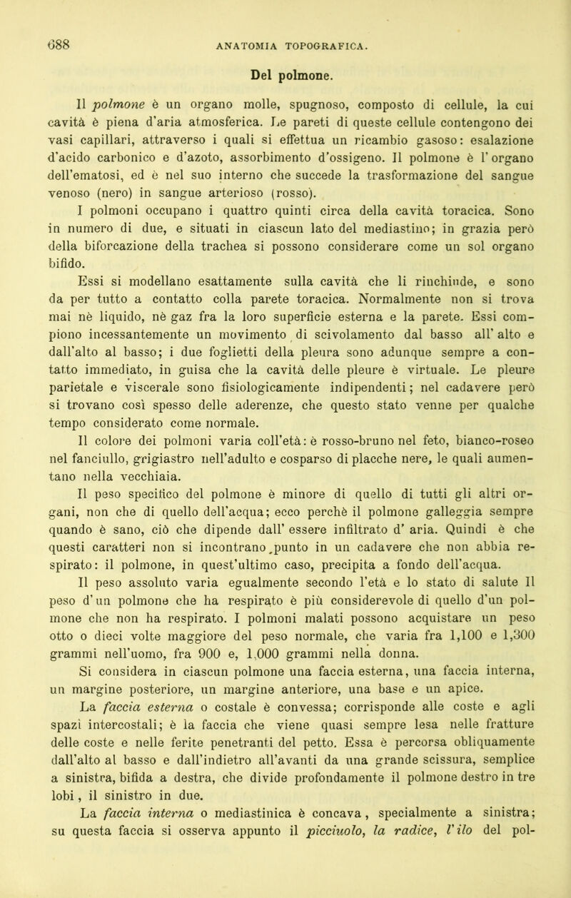 Del polmone. 11 polmone è un organo molle, spugnoso, composto di cellule, la cui cavità è piena d’aria atmosferica. Le pareti di queste cellule contengono dei vasi capillari, attraverso i quali si effettua un ricambio gasoso: esalazione d’acido carbonico e d’azoto, assorbimento d'ossigeno. Il polmone è 1’ organo dell’ematosi, ed è nel suo interno che succede la trasformazione del sangue venoso (nero) in sangue arterioso (rosso). I polmoni occupano i quattro quinti circa della cavità toracica. Sono in numero di due, e situati in ciascun lato del mediastino; in grazia però della biforcazione della trachea si possono considerare come un sol organo bifido. Essi si modellano esattamente sulla cavità che li rinchiude, e sono da per tutto a contatto colla parete toracica. Normalmente non si trova mai nè liquido, nè gaz fra la loro superficie esterna e la parete. Essi com- piono incessantemente un movimento ^ di scivolamento dal basso all’ alto e dall’alto al basso; i due foglietti della pleura sono adunque sempre a con- tatto immediato, in guisa che la cavità delle pleure è virtuale. Le pleure parietale e viscerale sono fisiologicamente indipendenti ; nel cadavere però si trovano cosi spesso delle aderenze, che questo stato venne per qualche tempo considerato come normale. II colore dei polmoni varia coll’età: è rosso-bruno nel feto, bianco-roseo nel fanciullo, grigiastro neU’adulto e cosparso di placche nere, le quali aumen- tano nella vecchiaia. Il peso specifico del polmone è minore di quello di tutti gli altri or- gani, non che di quello dell’acqua; ecco perchè il polmone galleggia sempre quando è sano, ciò che dipende dall’ essere infiltrato d’ aria. Quindi è che questi caratteri non si incontrano,punto in un cadavere che non abbia re- spirato: il polmone, in quest’ultimo caso, precipita a fondo dell’acqua. Il peso assoluto varia egualmente secondo l’età e lo stato di salute II peso d’un polmone che ha respirato è più considerevole di quello d’un pol- mone che non ha respirato. I polmoni malati possono acquistare un peso otto 0 dieci volte maggiore del peso normale, che varia fra 1,100 e 1,300 grammi nell’uomo, fra 900 e, 1,000 grammi nella donna. Si considera in ciascun polmone una faccia esterna, una faccia interna, un margine posteriore, un margine anteriore, una base e un apice. La faccia esterna o costale è convessa; corrisponde alle coste e agli spazi intercostali; è la faccia che viene quasi sempre lesa nelle fratture delle coste e nelle ferite penetranti del petto. Essa è percorsa obliquamente dall’alto al basso e dall’indietro all’avanti da una grande scissura, semplice a sinistra, bifida a destra, che divide profondamente il polmone destro in tre lobi, il sinistro in due. La faccia interna o mediastinica è concava, specialmente a sinistra; su questa faccia si osserva appunto il picciuolo^ la radice, l'ilo del poi-