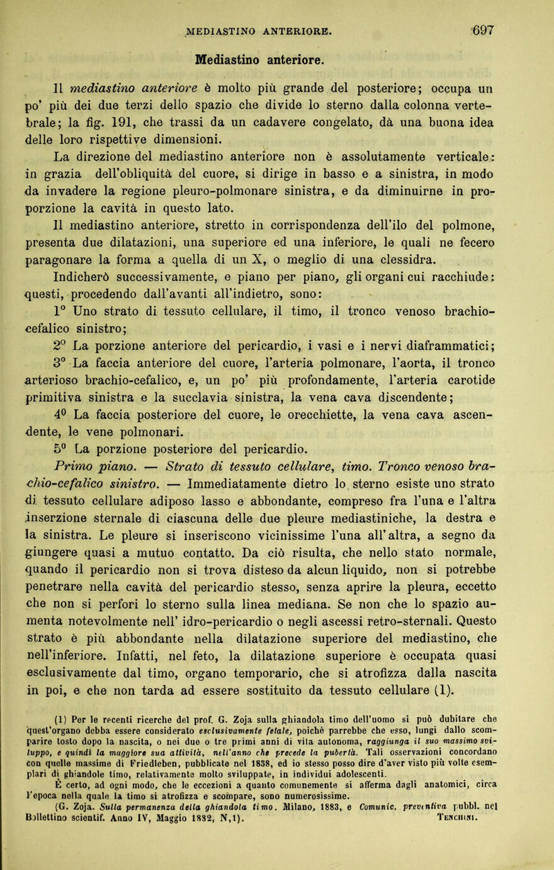 Mediastino anteriore. Il mediastino anteriore è molto più grande del posteriore; occupa un po’ più dei due terzi dello spazio che divide lo sterno dalla colonna verte- brale; la fig. 191, che trassi da un cadavere congelato, dà una buona idea delle loro rispettive dimensioni. La direzione del mediastino anteriore non è assolutamente verticale : in grazia dell’obliquità del cuore, si dirige in basso e a sinistra, in modo da invadere la regione pleuro-polmonare sinistra, e da diminuirne in pro- porzione la cavità in questo lato. 11 mediastino anteriore, stretto in corrispondenza dell’ilo del polmone, presenta due dilatazioni, una superiore ed una inferiore, le quali ne fecero paragonare la forma a quella di un X, o meglio di una clessidra. Indicherò successivamente, e piano per piano, gli organi cui racchiude ; questi, procedendo dall’avanti aU’indietro, sono: 1° Uno strato di tessuto cellulare, il timo, il tronco venoso brachio- cefalico sinistro; 2° La porzione anteriore del pericardio, i vasi e i nervi diaframmatici ; 3® La faccia anteriore del cuore, l’arteria polmonare, l’aorta, il tronco arterioso brachio-cefalico, e, un po’ più profondamente, l’arteria carotide primitiva sinistra e la succlavia sinistra, la vena cava discendente; 4® La faccia posteriore del cuore, le orecchiette, la vena cava ascen- dente, le vene polmonari. 5® La porzione posteriore del pericardio. Primo 'piano. — Strato di tessuto cellulare., timo. Tronco venoso hra- chio-cefalico sinistro. — Immediatamente dietro lo sterno esiste uno strato di tessuto cellulare adiposo lasso e abbondante, compreso fra l’una e l’altra inserzione sternale di ciascuna delle due pleure mediastiniche, la destra e ia sinistra. Le pleure si inseriscono vicinissime l’una all’altra, a segno da giungere quasi a mutuo contatto. Da ciò risulta, che nello stato normale, quando il pericardio non si trova disteso da alcun liquido, non si potrebbe penetrare nella cavità del pericardio stesso, senza aprire la pleura, eccetto che non si perfori lo sterno sulla linea mediana. Se non che lo spazio au- menta notevolmente nell’ idro-pericardio o negli ascessi retro-sternali. Questo strato è più abbondante nella dilatazione superiore del mediastino, che nell’inferiore. Infatti, nel feto, la dilatazione superiore è occupata quasi esclusivamente dal timo, organo temporario, che si atrofizza dalla nascita in poi, e che non tarda ad essere sostituito da tessuto cellulare (1). (1) Per le recenti ricerche del prof. G. Zoja sulla ghiandola timo dell’uomo si può dubitare che quest’organo debba essere considerato esclusivamente fetale, poiché parrebbe che esso, lungi dallo scom- parire tosto dopo la nascita, o nei due o tre primi anni di vita autonoma, raggiunga il suo massimo svi- luppo, e quindi la maggiore sua attività, nell’anno che precede la pubertà. Tali osservazioni concordano con quelle massime di Friedieben, pubblicate nel 18S8, ed io stesso posso dire d’aver visto più volle esem- plari di ghiandole timo, relativamente molto sviluppate, in individui adolescenti. È certo, ad ogni modo, che le eccezioni a quanto comunemente si afferma dagli anatomici, circa l’epoca nella quale la timo si atroflzza e scompare, sono numerosissime. (G. Zoja. Sulla permanenza della ghiandola timo. Milano, 1883, e Comunic. preventiva pubhl. nel Bellettino scientif. Anno IV, Maggio 1882, N,l). Tenciuni.