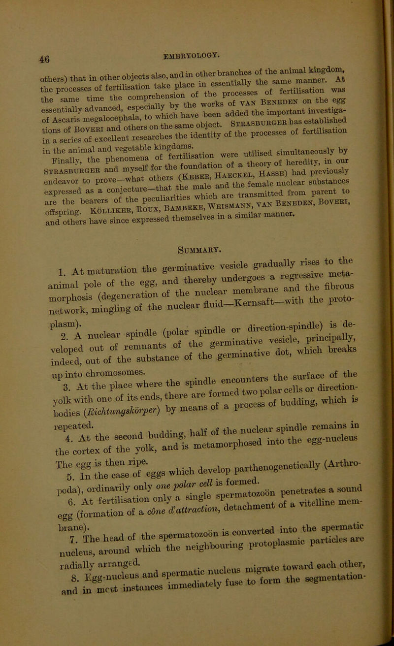 otber») .hat in etter objects als »■“?“' the processes of fertilisation ta 1 nrocesses of fertilisation was the same time the £ ^JTvZ BL™ on tbe “SÄ tch 'räs isiSärrÄ: in the animal and vegetable ^n^°“Jsation were utilised simultaneously by «? ™ HB»» BO'-nm, ancfothers have since ’expressed themselves in a similar manner. SUMMARY. PT1 nuclear spindle (polar spindle or 2“p!« Sei»« o^Wexminative dot, which — l'P3. yolkrnth one of f end^ J f cess 0f budding, which is bodies (.Richtungskorper) by means oi a p repeated. . nuclear spindle remains in 4. At the second budding, egcr-nucleus the cortex of the yolk, and is metamorphosed mto the e„ tllllTeggs which develop parthenogeneticaSy (Arthro- poda), ordinarily only one polar cell is penetrates a sound ‘ 6. At fertilisation only a single mntozoon I» egg (formation of a o6m d’attracteon, detacliment of braue). .. . into the spermatic 7. The head of the spermatosoon is con ettedLutfo nucleus, around which the ne.ghbour.ng p.otoplaan. P radially arranged. i us migrate toward each other, J KSiÄ* - to form the Segmentation-