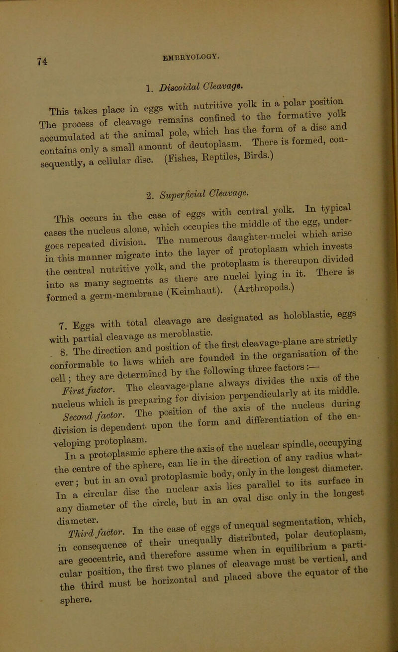 1. Discoidal Cleavage. takes place in eggs with nutritive yolk in a polar position -mamB confined to the formale yolk T i +Ari the animal pole, which has the form of a disc and <* deutoplasm. There iS formed, com sequently, a cellular disc. (Mes, Reptiles, Bnds.) 2. Superficial Cleavage. This occurs in the case of eggs with central yolk. In typical This occuib m ies the middle of the egg, under- cases the nucleus alone, daughter-nuclei which arise goes repeated division protoplasm which invests “ tMB rT^X yoS Jd the protoplasm is thereupon divided the central nutritive yoi , 1 in it There is into as mauy segments formed a germ-membrane (Keimhau ). ( 7. Eggs with total cleavage ave desigaated as holoblaatic, eggs with partial cleavage as merobkrtm laM are strictly 8{ ’the^aaisatioa of the confoimah ‘ , following three factors:— cell; they are dato™™ ’ ^ always divides the axis of the First factor. _ The §I I» ^ ndicularly at its middle. nucleus which is prepai g ax? of the nucleus durmg Second factor. The P0b1^ differentiation of the en- divisionisdependent upon the toim ana veloping protoplasm. spindle, occupying In a protoplasmic sphere the os d ^ ^ radius what- --— diameter. nnenual Segmentation, which, Tldrdfactor. In «*««distributed, polar deutoplasm, the cnator of the sphere.