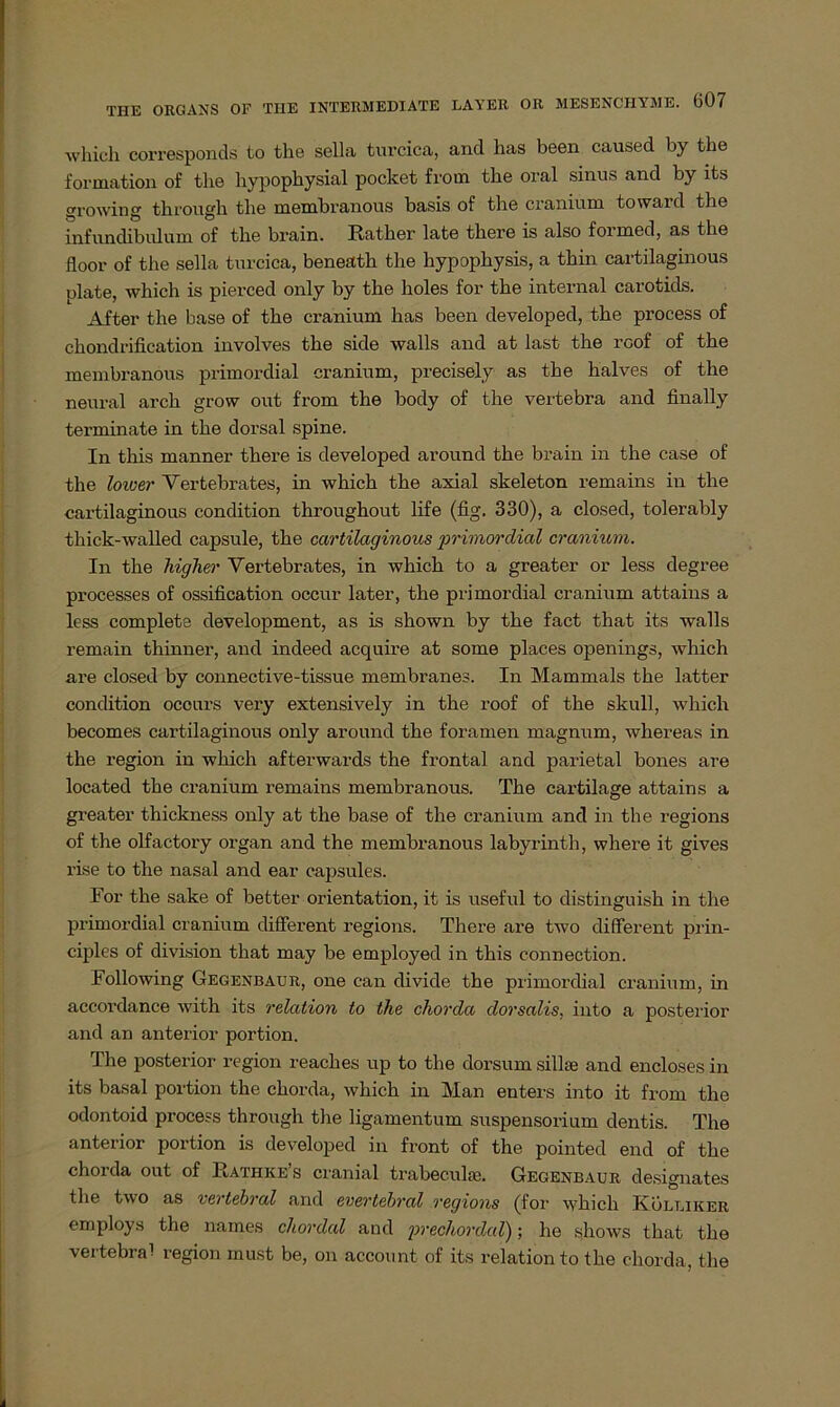 which corresponds to the sella turcica, and has been caused by the formation of tlie hypophysial pocket from the oral sinus and by lts growing tlirough the membranous basis of the cranium toward the infundibulum of the brain. Rather late there is also formed, as the floor of the sella turcica, beneath the hypophysis, a thin cartilaginous plate, which is pierced only by the holes for the internal carotids. After the base of the cranium has been developed, the process of chondrification involves the side walls and at last the rcof of the membranous primordial cranium, precisely as the halves of the neural arch grow out from the body of the vertebra and finally terminate in the dorsal spine. In this manner there is developed around the brain in the case of the lower Vertebrates, in which the axial skeleton remains in the cartilaginous condition throughout life (fig. 330), a closed, tolerably thick-walled capsule, the cartilaginous primordial cranium. In the higher Vertebrates, in which to a greater or less degree processes of ossification occur later, the primordial cranium attains a less complete development, as is shown by the fact tliat its walls remain thinner, and indeed acquire at some places openings, which are closed by connective-tissue membranes. In Mammals the latter condition occurs very extensively in the roof of the skull, which becomes cartilaginous only around the foramen magnum, whereas in the region in which afterwards the frontal and parietal bones are located the cranium remains membranous. The cartilage attains a greater thickness only at the base of the cranium and in the regions of the olfactory organ and the membranous labyrinth, where it gives rise to the nasal and ear capsules. For the sake of better Orientation, it is useful to clistinguish in the primordial cranium different regions. There are two different prin- ciples of division that may be employed in this connection. Following Gegenbaur, one can divide the primordial cranium, in accordance with its relation to the chorda dorsalis, into a posterior and an anterior portion. The posterior region reaches up to the dorsum sillse and encloses in its basal portion the chorda, which in Man enters into it from the odontoid process through the ligamentum Suspensorium dentis. The anterior portion is developed in front of the pointed end of the chorda out of Rathke’s cranial trabeculse. Gegenbaur designates the two as vertebral and evertebral regions (for which Kol liker employs the names chordal and precliordaV); he shows that the vertebral region must be, on account of its relation to the chorda, the